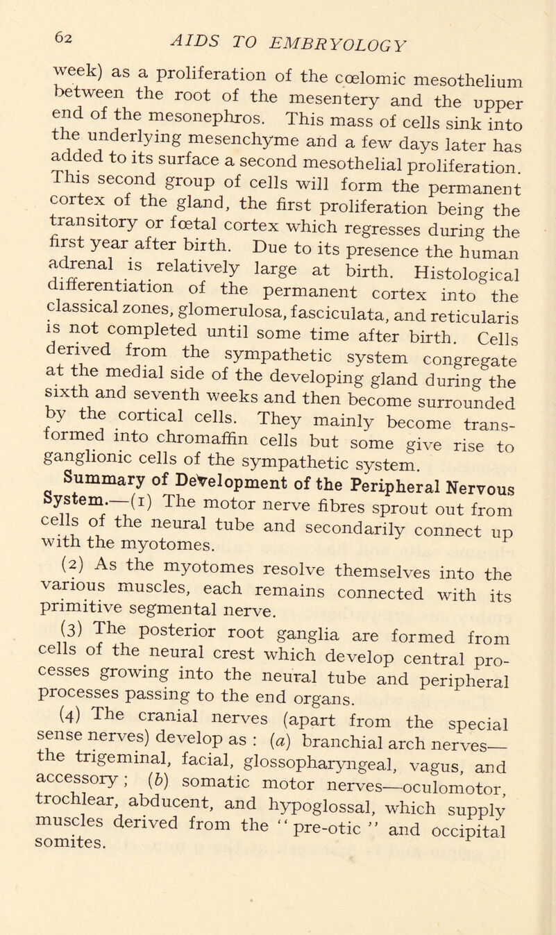 week) as a proliferation of the coslomic mesothelium :>etween the root of the mesentery and the upper end of the mesonephros. This mass of cells sink into the underlying mesenchyme and a few days later has added to its surface a second mesothelial proliferation. This second group of cells will form the permanent cortex of the gland, the first proliferation being the transitory or foetal cortex which regresses during the rst year after birth. Due to its presence the human adrenal is relatively large at birth. Histological differentiation of the permanent cortex into the classical zones, glomerulosa, f asciculata, and reticularis is not completed until some time after birth. Cells derived from the sympathetic system congregate at the medial side of the developing gland during the sixth and seventh weeks and then become surrounded by the cortical cells. They mainly become trans- formed into chromaffin cells but some give rise to ganglionic cells of the sympathetic system. Summary of Development of the Peripheral Nervous bystem.—-(i) The motor nerve fibres sprout out from Ce °/ the neural tube and secondarily connect up with the myotomes. (2) As the myotomes resolve themselves into the various muscles, each remains connected with its primitive segmental nerve. (3) The posterior root ganglia are formed from cells of the neural crest which develop central pro- cesses growing into the neural tube and peripheral processes passing to the end organs. (4) The cranial nerves (apart from the special sense nerves) develop as : (a) branchial arch nerves— e trigeminal, facial, glossopharyngeal, vagus, and accessory; (6) somatic motor nerves—oculomotor trochlear, abducent, and hypoglossal, which supply muscles derived from the “pre-otic and occipital somites.