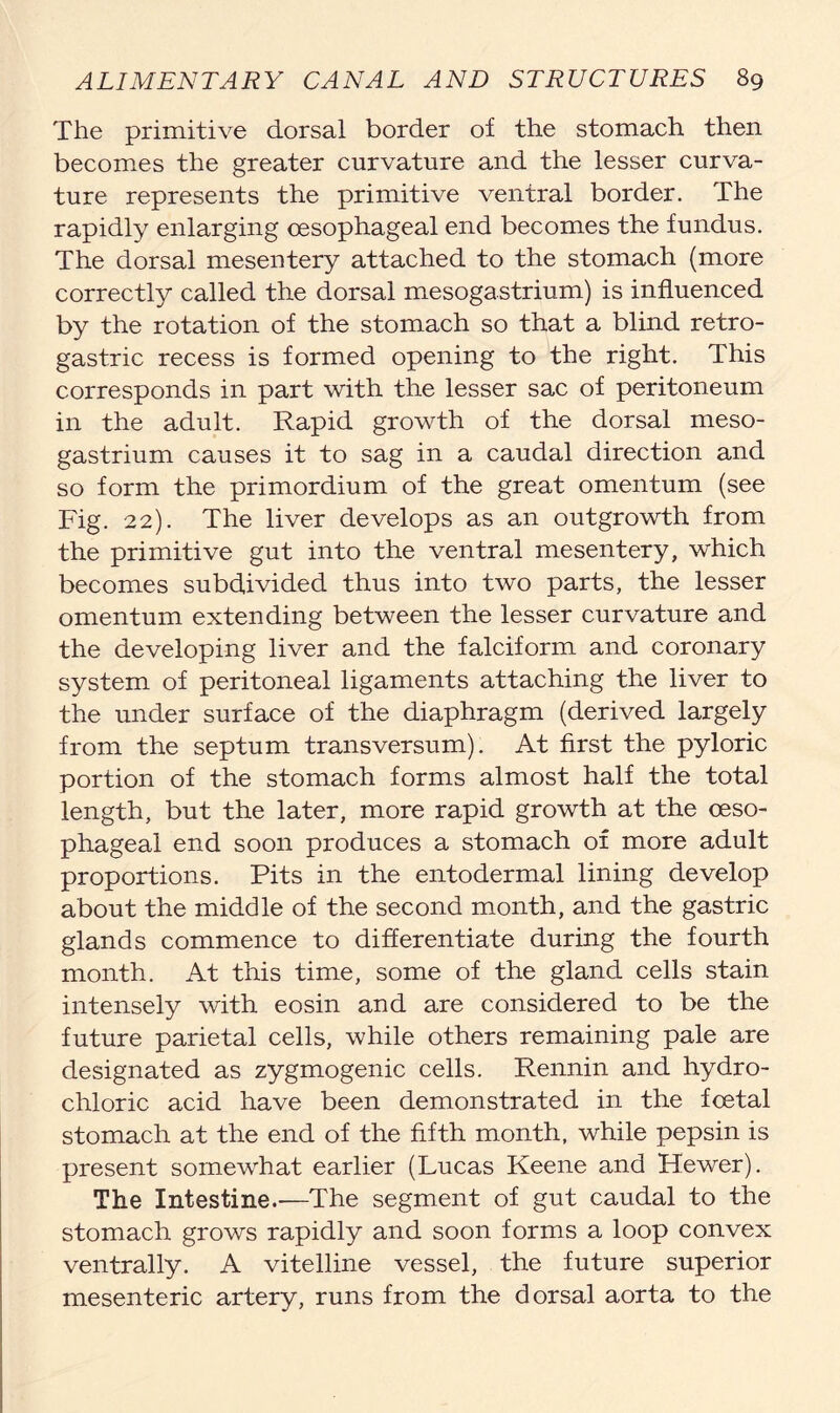 The primitive dorsal border of the stomach then becomes the greater curvature and the lesser curva- ture represents the primitive ventral border. The rapidly enlarging oesophageal end becomes the fundus. The dorsal mesentery attached to the stomach (more correctly called the dorsal mesogastrium) is influenced by the rotation of the stomach so that a blind retro- gastric recess is formed opening to the right. This corresponds in part with the lesser sac of peritoneum in the adult. Rapid growth of the dorsal meso- gastrium causes it to sag in a caudal direction and so form the primordium of the great omentum (see Fig. 22). The liver develops as an outgrowth from the primitive gut into the ventral mesentery, which becomes subdivided thus into two parts, the lesser omentum extending between the lesser curvature and the developing liver and the falciform and coronary system of peritoneal ligaments attaching the liver to the under surface of the diaphragm (derived largely from the septum transversum). At first the pyloric portion of the stomach forms almost half the total length, but the later, more rapid growth at the oeso- phageal end soon produces a stomach of more adult proportions. Pits in the entodermal lining develop about the middle of the second month, and the gastric glands commence to differentiate during the fourth month. At this time, some of the gland cells stain intensely with eosin and are considered to be the future parietal cells, while others remaining pale are designated as zygmogenic cells. Rennin and hydro- chloric acid have been demonstrated in the foetal stomach at the end of the fifth month, while pepsin is present somewhat earlier (Lucas Keene and Hewer). The Intestine.—The segment of gut caudal to the stomach grows rapidly and soon forms a loop convex ventrally. A vitelline vessel, the future superior mesenteric artery, runs from the dorsal aorta to the