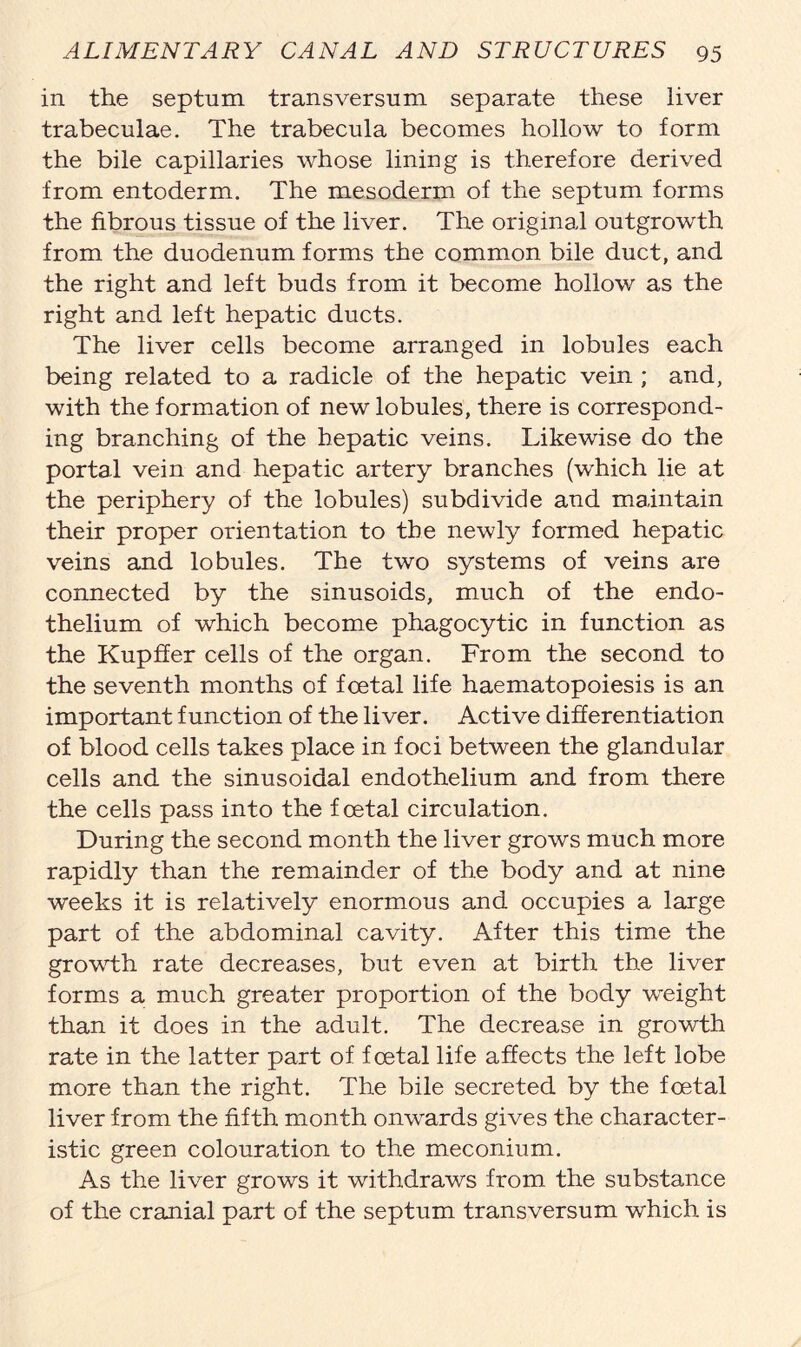 in the septum transversum separate these liver trabeculae. The trabecula becomes hollow to form the bile capillaries whose lining is therefore derived from entoderm. The mesoderm of the septum forms the fibrous tissue of the liver. The original outgrowth from the duodenum forms the common bile duct, and the right and left buds from it become hollow as the right and left hepatic ducts. The liver cells become arranged in lobules each being related to a radicle of the hepatic vein ; and, with the formation of new lobules, there is correspond- ing branching of the hepatic veins. Likewise do the portal vein and hepatic artery branches (which lie at the periphery of the lobules) subdivide and maintain their proper orientation to the newly formed hepatic veins and lobules. The two systems of veins are connected by the sinusoids, much of the endo- thelium of which become phagocytic in function as the Kupffer cells of the organ. From the second to the seventh months of foetal life haematopoiesis is an important function of the liver. Active differentiation of blood cells takes place in foci between the glandular cells and the sinusoidal endothelium and from there the cells pass into the foetal circulation. During the second month the liver grows much more rapidly than the remainder of the body and at nine weeks it is relatively enormous and occupies a large part of the abdominal cavity. After this time the growth rate decreases, but even at birth the liver forms a much greater proportion of the body weight than it does in the adult. The decrease in growth rate in the latter part of foetal life affects the left lobe more than the right. The bile secreted by the foetal liver from the fifth month onwards gives the character- istic green colouration to the meconium. As the liver grows it withdraws from the substance of the cranial part of the septum transversum which is