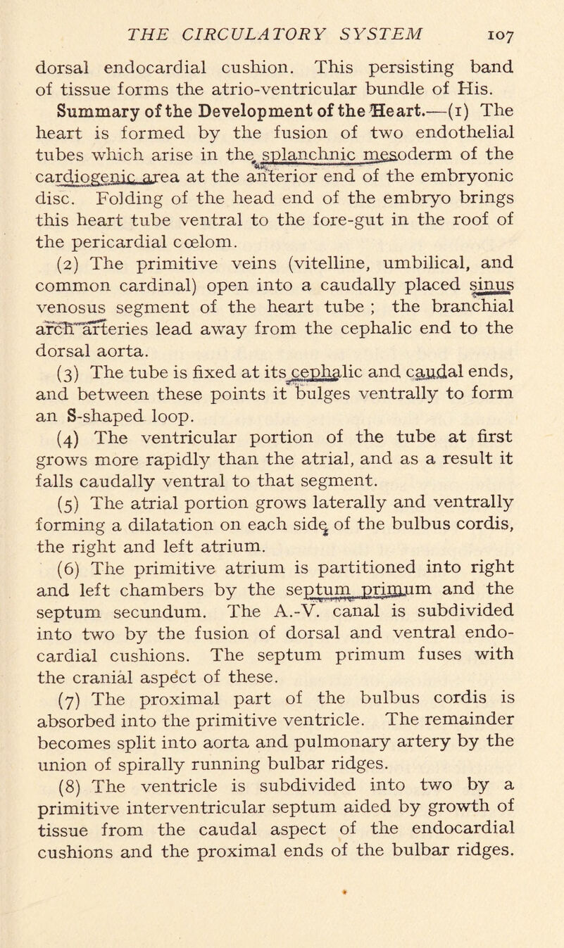 dorsal endocardial cushion. This persisting band of tissue forms the atrio-ventricular bundle of His. Summary of the Development of the Heart.—(1) The heart is formed by the fusion of two endothelial tubes which arise in the ^splanchnic mesoderm of the cardpogenic area at the anterior end of the embryonic disc. Folding of the head end of the embryo brings this heart tube ventral to the fore-gut in the roof of the pericardial coelom. (2) The primitive veins (vitelline, umbilical, and common cardinal) open into a caudally placed sinus venosus segment of the heart tube ; the branchial arcETarteries lead away from the cephalic end to the dorsal aorta. (3) The tube is fixed at its cephalic and cajidal ends, and between these points it bulges ventrally to form an S-shaped loop. (4) The ventricular portion of the tube at first grows more rapidly than the atrial, and as a result it falls caudally ventral to that segment. (5) The atrial portion grows laterally and ventrally forming a dilatation on each sid^ of the bulbus cordis, the right and left atrium. (6) The primitive atrium is partitioned into right and left chambers by the septum primum and the septum secundum. The A.-V. canal is subdivided into two by the fusion of dorsal and ventral endo- cardial cushions. The septum primum fuses with the cranial aspect of these. (7) The proximal part of the bulbus cordis is absorbed into the primitive ventricle. The remainder becomes split into aorta and pulmonary artery by the union of spirally running bulbar ridges. (8) The ventricle is subdivided into two by a primitive interventricular septum aided by growth of tissue from the caudal aspect of the endocardial cushions and the proximal ends of the bulbar ridges.