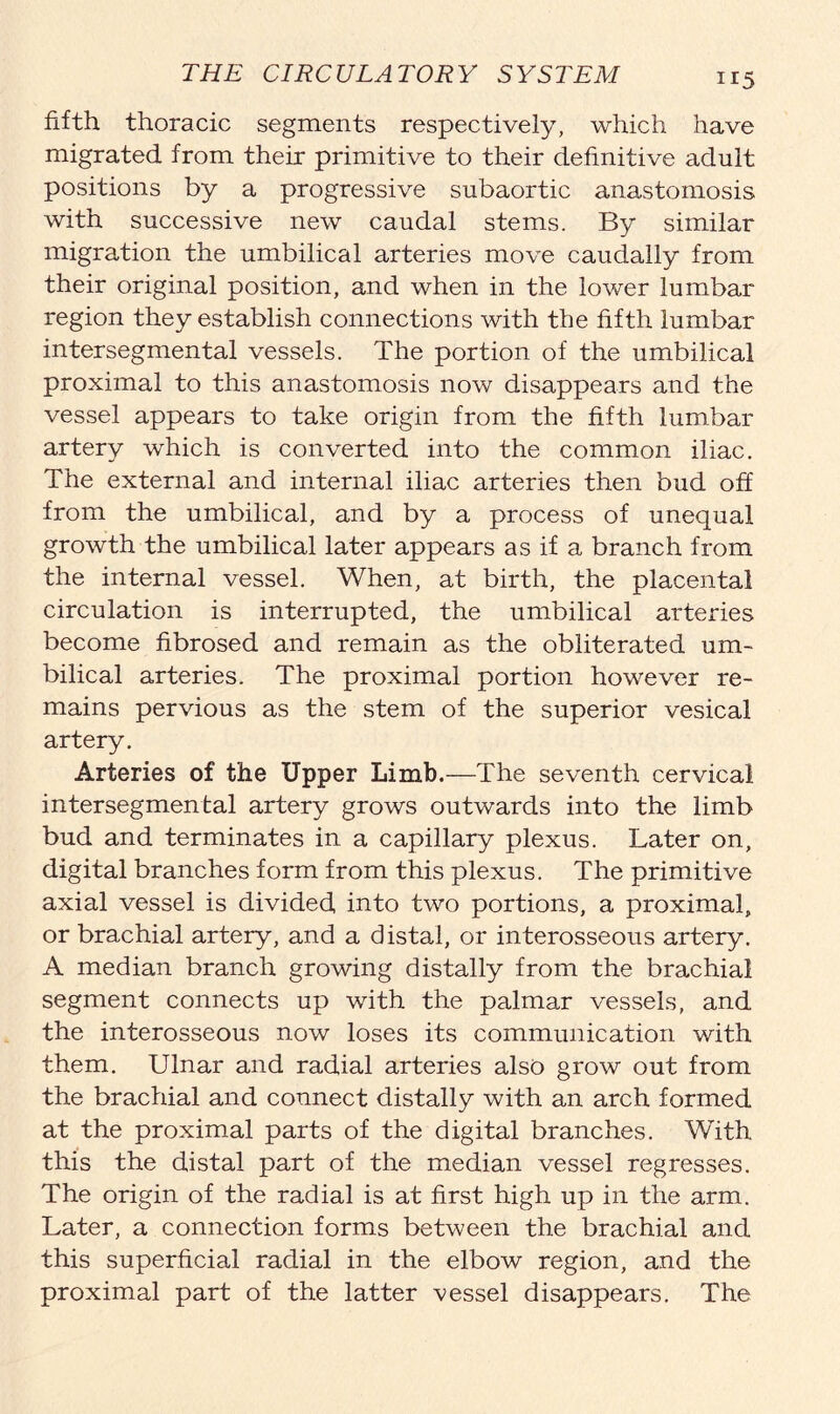 fifth thoracic segments respectively, which have migrated from their primitive to their definitive adult positions by a progressive subaortic anastomosis with successive new caudal stems. By similar migration the umbilical arteries move caudally from their original position, and when in the lower lumbar region they establish connections with the fifth lumbar intersegmental vessels. The portion of the umbilical proximal to this anastomosis now disappears and the vessel appears to take origin from the fifth lumbar artery which is converted into the common iliac. The external and internal iliac arteries then bud off from the umbilical, and by a process of unequal growth the umbilical later appears as if a branch from the internal vessel. When, at birth, the placental circulation is interrupted, the umbilical arteries become fibrosed and remain as the obliterated um- bilical arteries. The proximal portion however re- mains pervious as the stem of the superior vesical artery. Arteries of the Upper Limb.—The seventh cervical intersegmental artery grows outwards into the limb bud and terminates in a capillary plexus. Later on, digital branches form from this plexus. The primitive axial vessel is divided, into two portions, a proximal, or brachial artery, and a distal, or interosseous artery. A median branch growing distally from the brachial segment connects up with the palmar vessels, and the interosseous now loses its communication with them. Ulnar and radial arteries also grow out from the brachial and connect distally with an arch formed at the proximal parts of the digital branches. With this the distal part of the median vessel regresses. The origin of the radial is at first high up in the arm. Later, a connection forms between the brachial and this superficial radial in the elbow region, and the proximal part of the latter vessel disappears. The