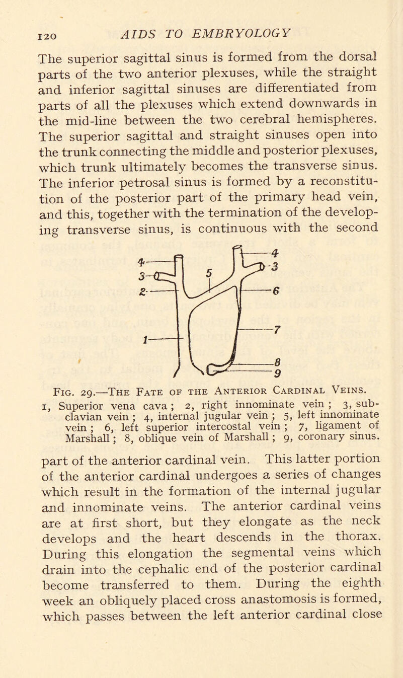 The superior sagittal sinus is formed from the dorsal parts of the two anterior plexuses, while the straight and inferior sagittal sinuses are differentiated from parts of all the plexuses which extend downwards in the mid-line between the two cerebral hemispheres. The superior sagittal and straight sinuses open into the trunk connecting the middle and posterior plexuses, which trunk ultimately becomes the transverse sinus. The inferior petrosal sinus is formed by a reconstitu- tion of the posterior part of the primary head vein, and this, together with the termination of the develop- ing transverse sinus, is continuous with the second Fig. 29.—The Fate of the Anterior Cardinal Veins. 1, Superior vena cava; 2, right innominate vein; 3, sub- clavian vein ; 4, internal jugular vein ; 5, left innominate vein; 6, left superior intercostal vein ; 7> ligament of Marshall; 8, oblique vein of Marshall; 9, coronary sinus. part of the anterior cardinal vein. This latter portion of the anterior cardinal undergoes a series of changes which result in the formation of the internal jugular and innominate veins. The anterior cardinal veins are at first short, but they elongate as the neck develops and the heart descends in the thorax. During this elongation the segmental veins which drain into the cephalic end of the posterior cardinal become transferred to them. During the eighth week an obliquely placed cross anastomosis is formed, which passes between the left anterior cardinal close