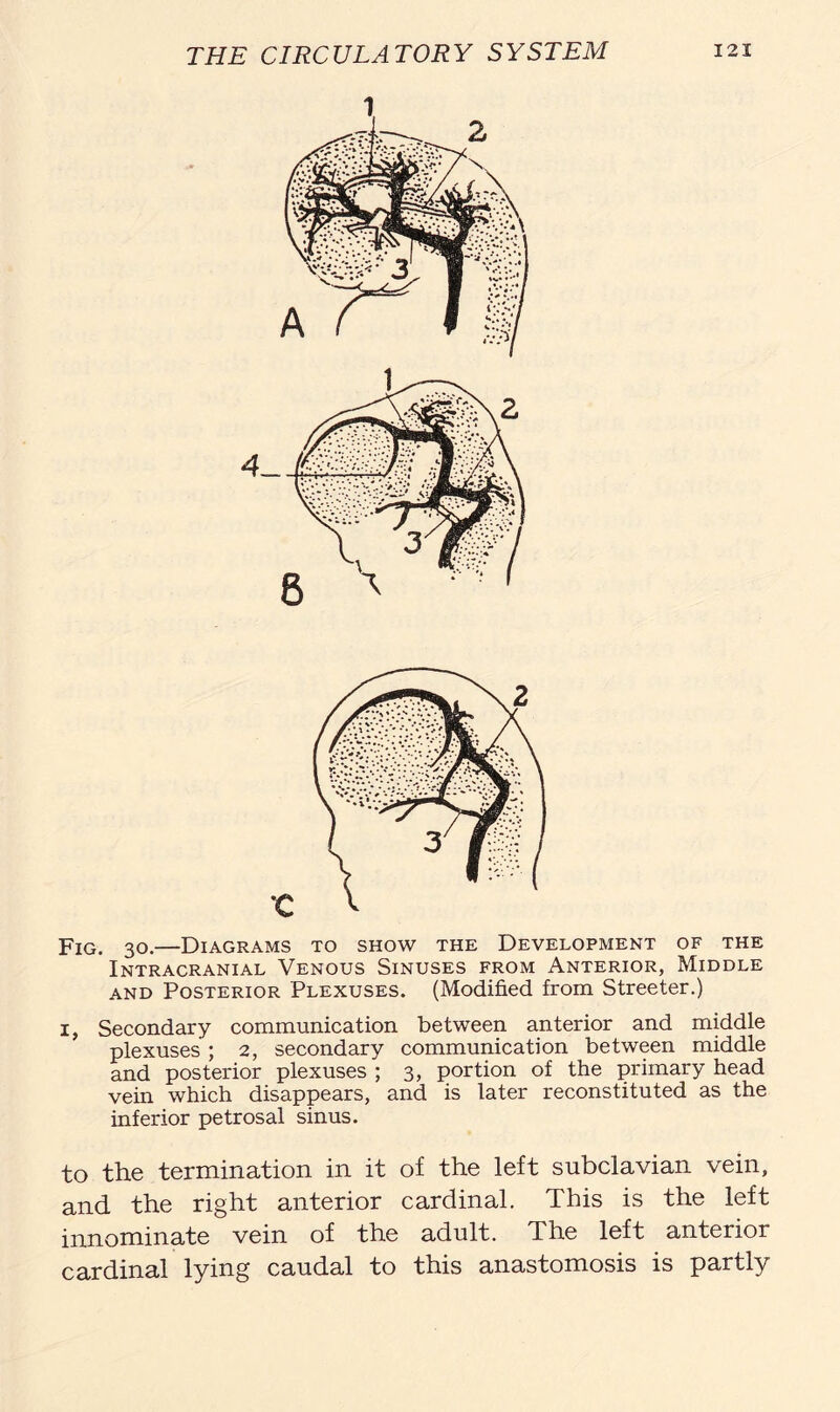Fig. 3o.—Diagrams to show the Development of the Intracranial Venous Sinuses from Anterior, Middle and Posterior Plexuses. (Modified from Streeter.) i, Secondary communication between anterior and middle plexuses ; 2, secondary communication between middle and posterior plexuses ; 3, portion of the primary head vein which disappears, and is later reconstituted as the inferior petrosal sinus. to the termination in it of the left subclavian vein, and the right anterior cardinal. This is the left innominate vein of the adult. The left anterior cardinal lying caudal to this anastomosis is partly