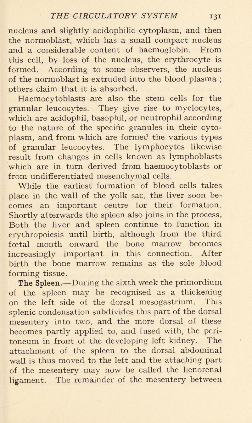 nucleus and slightly acidophilic cytoplasm, and then the normoblast, which has a small compact nucleus and a considerable content of haemoglobin. From this cell, by loss of the nucleus, the erythrocyte is formed. According to some observers, the nucleus of the normoblast is extruded into the blood plasma ; others claim that it is absorbed. Haemocytoblasts are also the stem cells for the granular leucocytes. They give rise to myelocytes, which are acidophil, basophil, or neutrophil according to the nature of the specific granules in their cyto- plasm, and from which are formed the various types of granular leucocytes. The lymphocytes likewise result from changes in cells known as lymphoblasts which are in turn derived from haemocytoblasts or from undifferentiated mesenchymal cells. While the earliest formation of blood cells takes place in the wall of the yolk sac, the liver soon be- comes an important centre for their formation. Shortly afterwards the spleen also joins in the process. Both the liver and spleen continue to function in erythropoiesis until birth, although from the third foetal month onward the bone marrow becomes increasingly important in this connection. After birth the bone marrow remains as the sole blood forming tissue. The Spleen.—During the sixth week the primordium of the spleen may be recognised as a thickening on the left side of the dorsal mesogastrium. This splenic condensation subdivides this part of the dorsal mesentery into two, and the more dorsal of these becomes partly applied to, and fused with, the peri- toneum in front of the developing left kidney. The attachment of the spleen to the dorsal abdominal wall is thus moved to the left and the attaching part of the mesentery may now be called the lienorenal ligament. The remainder of the mesentery between