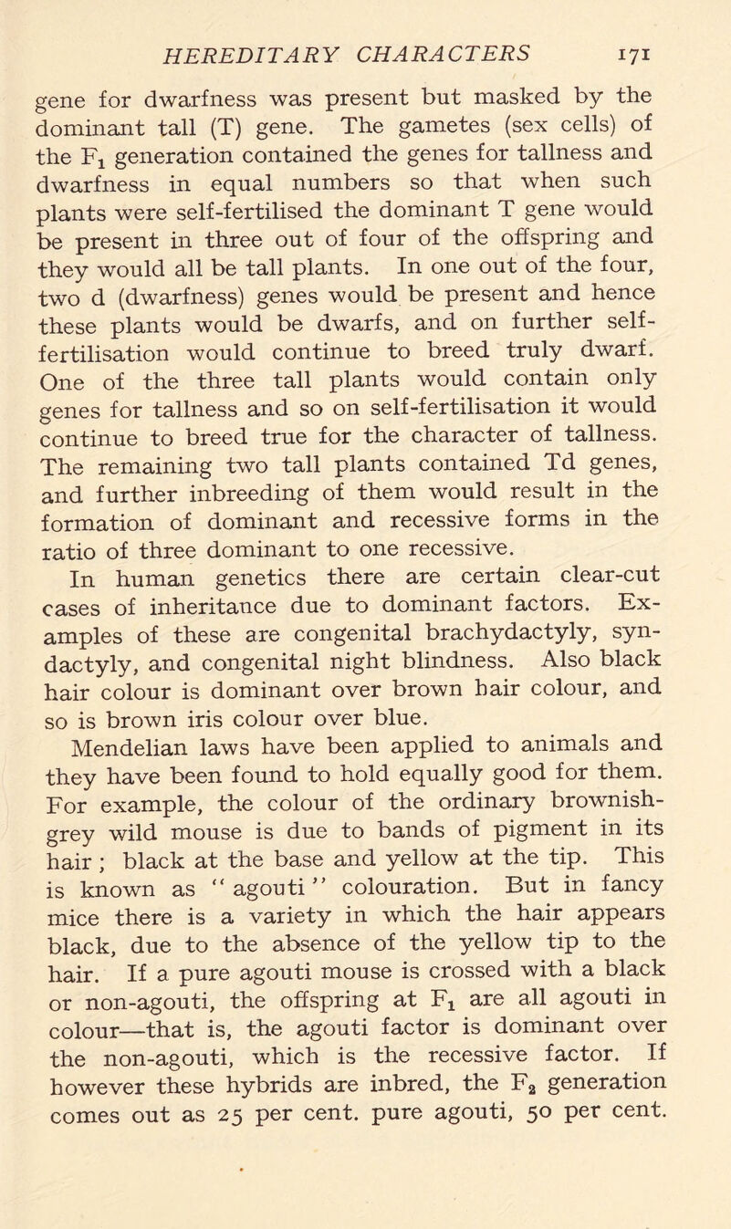 gene for dwarfness was present but masked by the dominant tall (T) gene. The gametes (sex cells) of the Fj generation contained the genes for tallness and dwarfness in equal numbers so that when such plants were self-fertilised the dominant T gene would be present in three out of four of the offspring and they would all be tall plants. In one out of the four, two d (dwarfness) genes would be present and hence these plants would be dwarfs, and on further self- fertilisation would continue to breed truly dwarf. One of the three tall plants would contain only genes for tallness and so on self-fertilisation it would continue to breed true for the character of tallness. The remaining two tall plants contained Td genes, and further inbreeding of them would result in the formation of dominant and recessive forms in the ratio of three dominant to one recessive. In human genetics there are certain clear-cut cases of inheritance due to dominant factors. Ex- amples of these are congenital brachydactyly, syn- dactyly, and congenital night blindness. Also black hair colour is dominant over brown hair colour, and so is brown iris colour over blue. Mendelian laws have been applied to animals and they have been found to hold equally good for them. For example, the colour of the ordinary brownish- grey wild mouse is due to bands of pigment in its hair ; black at the base and yellow at the tip. This is known as “ agouti ” colouration. But in fancy mice there is a variety in which the hair appears black, due to the absence of the yellow tip to the hair. If a pure agouti mouse is crossed with a black or non-agouti, the offspring at Fj are all agouti in colour—that is, the agouti factor is dominant over the non-agouti, which is the recessive factor. If however these hybrids are inbred, the F2 generation comes out as 25 per cent, pure agouti, 50 per cent.