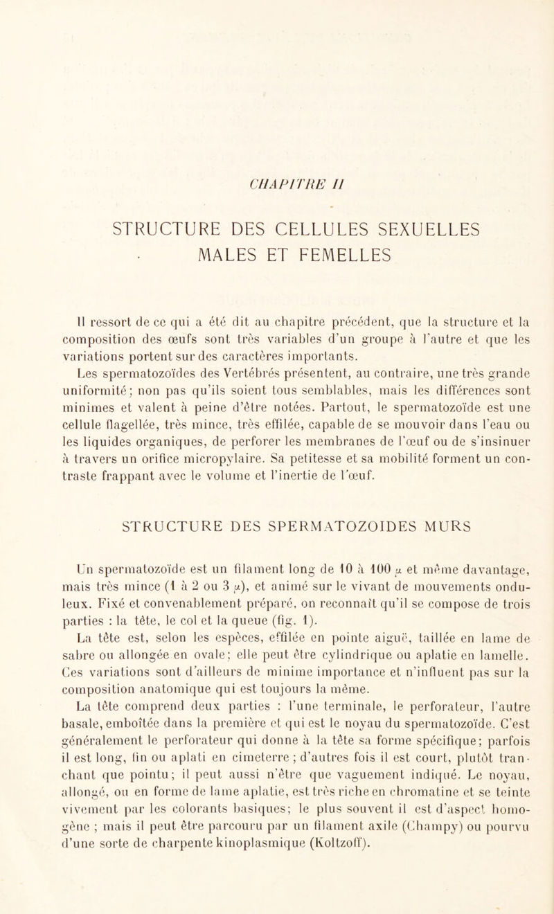 STRUCTURE DES CELLULES SEXUELLES MALES ET FEMELLES Il ressort de ce qui a été dit au chapitre précédent, que la structure et la composition des œufs sont très variables d’un groupe à l'autre et que les variations portent sur des caractères importants. Les spermatozoïdes des Vertébrés présentent, au contraire, une très grande uniformité; non pas qu’ils soient tous semblables, mais les différences sont minimes et valent à peine d’être notées. Partout, le spermatozoïde est une cellule flagellée, très mince, très effilée, capable de se mouvoir dans l'eau ou les liquides organiques, de perforer les membranes de l’œuf ou de s’insinuer à travers un orifice micropylaire. Sa petitesse et sa mobilité forment un con- traste frappant avec le volume et l’inertie de bœuf. STRUCTURE DES SPERMATOZOÏDES MURS Un spermatozoïde est un filament long de 10 à 100 g et même davantage, mais très mince (1 à 2 ou 3 g), et animé sur le vivant de mouvements ondu- leux. Fixé et convenablement préparé, on reconnaît qu'il se compose de trois parties : la tête, le col et la queue (fig. 1). La tête est, selon les espèces, effilée en pointe aiguë, taillée en lame de sabre ou allongée en ovale; elle peut être cylindrique ou aplatie en lamelle. Ces variations sont d’ailleurs de minime importance et n’influent pas sur la composition anatomique qui est toujours la même. La tête comprend deux parties : l’une terminale, le perforateur, l’autre basale, emboîtée dans la première et qui est le noyau du spermatozoïde. C’est généralement le perforateur qui donne à la tête sa forme spécifique; parfois il est long, fin ou aplati en cimeterre ; d’autres fois il est court, plutôt tran- chant que pointu; il peut aussi n’être que vaguement indiqué. Le noyau, allongé, ou en forme de lame aplatie, est très riche en chromatine et se teinte vivement par les colorants basiques; le plus souvent il est d’aspect homo- gène ; mais il peut être parcouru par un filament axile (Ghampy) ou pourvu d’une sorte de charpente kinoplasmique (Koltzoff).
