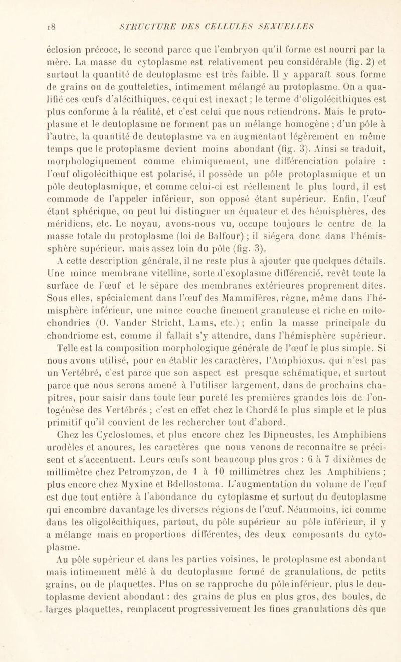 éclosion précoce, le second parce que l’embryon qu’il forme est nourri par la mère. La masse du cytoplasme est relativement peu considérable (fig. 2) et surtout la quantité de deutoplasme est très faible. Il y apparaît sous forme de grains ou de gouttelettes, intimement mélangé au protoplasme. On a qua- lifié ces œufs d’alécithiques, cequi est inexact; le terme d’oligolécithiques est plus conforme à la réalité, et c’est celui que nous retiendrons. Mais le proto- plasme et le deutoplasme ne forment pas un mélange homogène ; d’un pôle à l’autre, la quantité de deutoplasme va en augmentant légèrement en même temps que le protoplasme devient moins abondant (fig. 3). Ainsi se traduit, morphologiquement comme chimiquement, une différenciation polaire : l’œuf oligolécithique est polarisé, il possède un pôle protoplasmique et un pôle deutoplasmique, et comme celui-ci est réellement le plus lourd, il est commode de l’appeler inférieur, son opposé étant supérieur. Enfin, l’œuf étant sphérique, on peut lui distinguer un équateur et des hémisphères, des méridiens, etc. Le noyau, avons-nous vu, occupe toujours le centre de la masse totale du protoplasme (loi de Balfour) ; il siégera donc dans Phémis- sphère supérieur, mais assez loin du pôle (fig. 3). A cette description générale, il ne reste plus à ajouter que quelques détails. Une mince membrane vitelline, sorte d’exoplasme différencié, revêt toute la surface de l’œuf et le sépare des membranes extérieures proprement dites. Sous elles, spécialement dans l’œuf des Mammifères, règne, même dans l'hé- misphère inférieur, une mince couche finement granuleuse et riche en mito- chondries (O. Vander Stricht, Lams, etc.) ; enfin la masse principale du chondriome est, comme il fallait s’y attendre, dans l’hémisphère supérieur. Telle est la composition morphologique générale de l’œuf le plus simple. Si nous avons utilisé, pour en établir les caractères, PAmphioxus, qui n’est pas un Vertébré, c’est parce que son aspect est presque schématique, et surtout parce que nous serons amené à l’utiliser largement, dans de prochains cha- pitres, pour saisir dans toute leur pureté les premières grandes lois de l’on- togénèse des Vertébrés ; c’est en effet chez le Chordé le plus simple et le plus primitif qu’il convient de les rechercher tout d’abord. Chez les Cycloslomes, et plus encore chez les Dipneustes, les Amphibiens urodèles et anoures, les caractères que nous venons de reconnaître se préci- sent et s’accentuent. Leurs œufs sont beaucoup plus gros : 6 à 7 dixièmes de millimètre chez Petromyzon, de I à 10 millimètres chez les Amphibiens; plus encore chez Myxine et Bdellostoma. L'augmentation du volume de l’œuf est due tout entière à l’abondance du cytoplasme et surtout du deutoplasme qui encombre davantage les diverses régions de l'œuf. Néanmoins, ici comme dans les oligolécithiques, partout, du pôle supérieur au pôle inférieur, il y a mélange mais en proportions différentes, des deux composants du cyto- plasme. Au pôle supérieur et dans les parties voisines, le protoplasme est abondant mais intimement mêlé à du deutoplasme formé de granulations, de petits grains, ou de plaquettes. Plus on se rapproche du pôle inférieur, plus le deu- toplasme devient abondant : des grains de plus en plus gros, des boules, de larges plaquettes, remplacent progressivement les fines granulations dès que