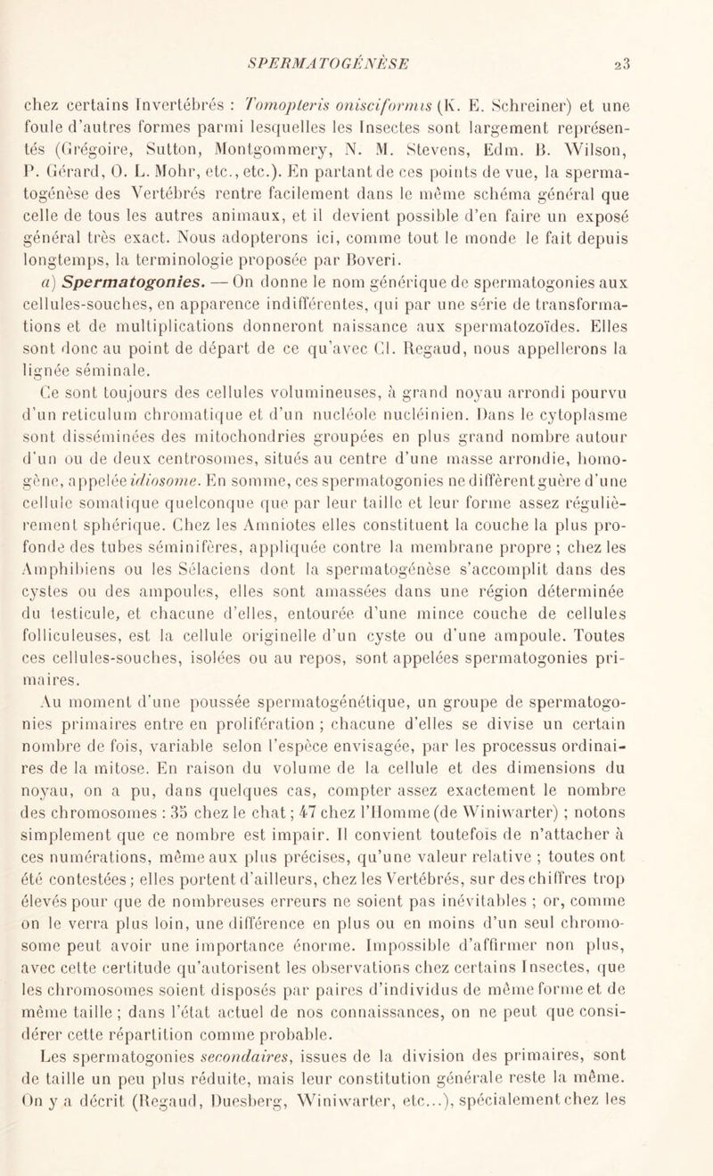 chez certains invertébrés : Tomopleris onisciformis (K. E. Schreiner) et une foule d’autres formes parmi lesquelles les Insectes sont largement représen- tés (Grégoire, Sutton, Montgommery, N. M. Stevens, Edm. B. Wilson, P. Gérard, O. L. Mohr, etc., etc.). En partant de ces points de vue, la sperma- togénèse des Vertébrés rentre facilement dans le même schéma général que celle de tous les autres animaux, et il devient possible d’en faire un exposé général très exact. Nous adopterons ici, comme tout le monde le fait depuis longtemps, la terminologie proposée par Boveri. a) Spermatogonies. — On donne le nom générique de spermatogonies aux cellules-souches, en apparence indifférentes, qui par une série de transforma- tions et de multiplications donneront naissance aux spermatozoïdes. Elles sont donc au point de départ de ce qu’avec CI. Regaud, nous appellerons la lignée séminale. Ce sont toujours des cellules volumineuses, à grand noyau arrondi pourvu d’un réticulum chromatique et d’un nucléole nucléinien. Dans le cytoplasme sont disséminées des mitochondries groupées en plus grand nombre autour d'un ou de deux centrosomes, situés au centre d’une masse arrondie, homo- gène, appelée idiosome. En somme, ces spermatogonies ne diffèrent guère d’une cellule somatique quelconque que par leur taille et leur forme assez réguliè- rement sphérique. Chez les Amniotes elles constituent la couche la plus pro- fonde des tubes séminitères, appliquée contre la membrane propre ; chez les Amphibiens ou les Sélaciens dont la spermatogénèse s’accomplit dans des cystes ou des ampoules, elles sont amassées dans une région déterminée du testicule, et chacune d’elles, entourée d’une mince couche de cellules folliculeuses, est la cellule originelle d’un cyste ou d’une ampoule. Toutes ces cellules-souches, isolées ou au repos, sont appelées spermatogonies pri- maires. Au moment d’une poussée spermatogénétique, un groupe de spermatogo- nies primaires entre en prolifération ; chacune d’elles se divise un certain nombre de fois, variable selon l’espèce envisagée, par les processus ordinai- res de la mitose. En raison du volume de la cellule et des dimensions du noyau, on a pu, dans quelques cas, compter assez exactement le nombre des chromosomes : 35 chez le chat ; 47 chez l’Homme (de Winiwarter) ; notons simplement que ce nombre est impair. Il convient toutefois de n’attacher à ces numérations, même aux plus précises, qu’une valeur relative ; toutes ont été contestées; elles portent d’ailleurs, chez les Vertébrés, sur des chiffres trop élevés pour que de nombreuses erreurs ne soient pas inévitables ; or, comme on le verra plus loin, une différence en plus ou en moins d’un seul chromo- some peut avoir une importance énorme. Impossible d’affirmer non plus, avec celte certitude qu’autorisent les observations chez certains Insectes, que les chromosomes soient disposés par paires d’individus de même forme et de même taille ; dans l’état actuel de nos connaissances, on ne peut que consi- dérer cette répartition comme probable. Les spermatogonies secondaires, issues de la division des primaires, sont de taille un peu plus réduite, mais leur constitution générale reste la même. On y a décrit (Regaud, Duesherg, Winiwarter, etc...), spécialement chez les