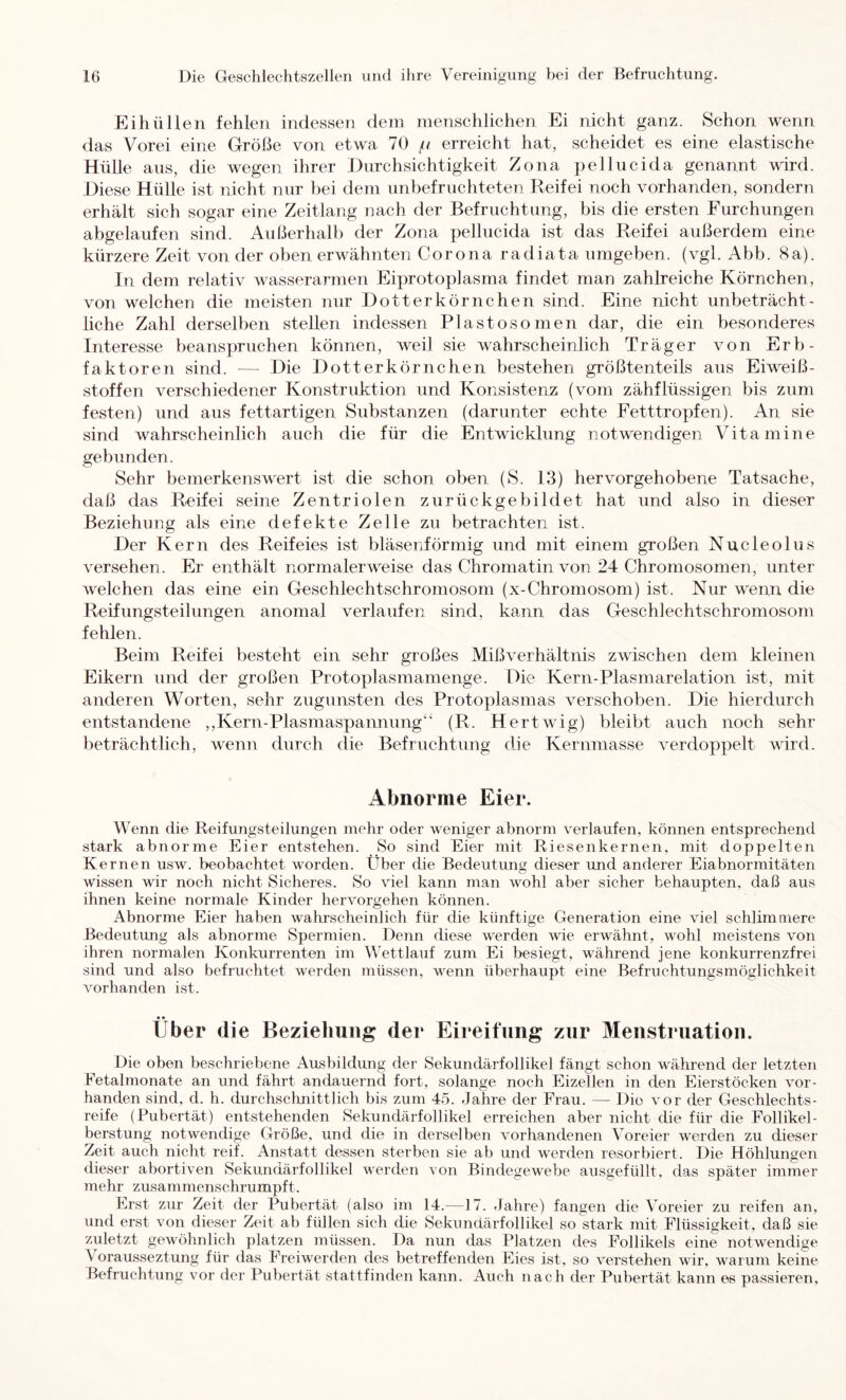 EihüUen fehlen indessen dem menschlichen Ei nicht ganz. Schon wenn das Vorei eine Größe von etwa 70 // erreicht hat, scheidet es eine elastische Hülle aus, die wegen ihrer Durchsichtigkeit Zona pellucida genannt wird. Diese Hülle ist nicht mir bei dem unbefruchteten Reifei noch vorhanden, sondern erhält sich sogar eine Zeitlang nach der Befruchtung, bis die ersten Furchungen abgelaufen sind. Außerhalb der Zona pellucida ist das Reif ei außerdem eine kürzere Zeit von der oben erwähnten Corona radiata umgeben, (vgl. Abb. 8a). In dem relativ wasserarmen Eiprotoplasma findet man zahlreiche Körnchen, von welchen die meisten nur Dotterkörnchen sind. Eine nicht unbeträcht- liche Zahl derselben stellen indessen Plastosomen dar, die ein besonderes Interesse beanspruchen können, weil sie wahrscheinlich Träger von Erb- faktoren sind. — Die Dotterkörnchen bestehen größtenteils aus Eiweiß- stoffen verschiedener Konstruktion und Konsistenz (vom zähflüssigen bis zum festen) und aus fettartigen Substanzen (darunter echte Fetttropfen). An sie sind wahrscheinlich auch die für die Entwicklung notwendigen Vitamine gebunden. Sehr bemerkenswert ist die schon oben (S. 13) hervorgehobene Tatsache, daß das Reif ei seine Zentriolen zurückgebildet hat und also in dieser Beziehung als eine defekte Zelle zu betrachten ist. Der Kern des Reifeies ist bläsenförmig und mit einem großen Nucleolus versehen. Er enthält normalerweise das Chromatin von 24 Chromosomen, unter welchen das eine ein Geschlechtschromosom (x-Chromosom) ist. Nur wenn die Reifungsteilungen anomal verlaufen sind, kann das Geschlechtschromosom fehlen. Beim Reifei besteht ein sehr großes Mißverhältnis zwischen dem kleinen Eikern und der großen Protoplasmamenge. Die Kern-Plasmarelation ist, mit anderen Worten, sehr zugunsten des Protoplasmas verschoben. Die hierdurch entstandene ,,Kern-Plasmaspannung‘‘ (R. Hertwig) bleibt auch noch sehr beträchtlich, wenn durch die Befruchtung d.ie Kernmasse verdoppelt wird. Abnorme Eier. Wenn die Reifungsteilungen mehr oder weniger abnorm verlaufen, können entsprechend stark abnorme Eier entstehen. So sind Eier mit Riesenkernen, mit doppelten Kernen usw. beobachtet worden. Über die Bedeutung dieser und anderer Eiabnormitäten wissen wir noch nicht Sicheres. So viel kann man wohl aber sicher behaupten, daß aus ihnen keine normale Kinder hervorgehen können. Abnorme Eier haben wahrscheinlich für die künftige Generation eine viel schlimoiere Bedeutung als abnorme Spermien. Denn diese werden wie erwähnt, wohl meistens von ihren normalen Konkurrenten im Wettlauf zum Ei besiegt, während jene konkurrenzfrei sind und also befruchtet werden müssen, wenn überhaupt eine Befruchtungsmöglichkeit vorhanden ist. • * Uber die Beziehung der Eireilung zur Menstruation. Die oben beschriebene Ausbildung der Sekundärfollikel fängt schon während der letzten Eetaimonate an und fährt andauernd fort, solange noch Eizellen in den Eierstöcken vor- handen sind, d. h. durchschnittlich bis zum 45. Jahre der Frau. — Die vor der Geschlechts- reife (Pubertät) entstehenden Sekundärfollikel erreichen aber nicht die für die Follikel- berstung notwendige Größe, und die in derselben vorhandenen Voreier werden zu dieser Zeit auch nicht reif. Anstatt dessen sterben sie ab und werden resorbiert. Die Höhlungen dieser abortiven Sekundärfollikel werden von Bindegewebe ausgefüllt, das später immer mehr zusammenschrumpft. Erst zur Zeit der Pubertät (also im 14.—17. Jahre) fangen die Voreier zu reifen an, und erst von dieser Zeit ab füllen sich die Sekundärfollikel so stark mit Flüssigkeit, daß sie zuletzt gewöhnlich platzen müssen. Da nun das Platzen des Follikels eine notwendige Vorausseztung für tlas Freiwerden des betreffenden Eies ist, so verstehen wir, warum keine Befruchtung vor der Pubertät stattfinden kann. Auch nach der Pubertät kann es passieren.