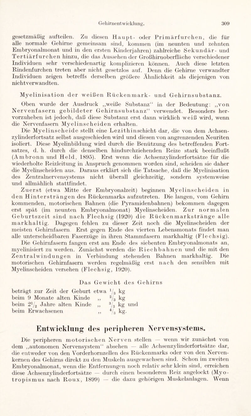 gesetzmäßig auf teilen. Zu diesen Haupt- oder Primärfurchen, die für alle normale Gehirne gemeinsam sind, kommen (im neunten und zehnten Embryonalmonat und in den ersten Kinder]ahren) zahlreiche Sekundär- und Tertiärfurchen hinzu, die das Aussehen der Großhirnoberfläche verschiedener Individuen sehr verschiedenartig komplizieren können. Auch diese letzten Pmdenfurchen treten aber nicht gesetzlos auf. Denn die Gehirne verwandter Individuen zeigen betreffs derselben größere Ähnlichkeit als diejenigen von nicht verwandten. Myelinisation der weißen Pückenmark- und Gehirnsubstanz. Oben vmrde der Ausdruck ,,weiße Substanz^' in der Bedeutung: ,,von Nervenfasern gebildeter Gehirnsubstanz^' verwendet. Besonders her- vorzuheben ist jedoch, daß diese Substanz erst dann wirklich weiß wird, wenn die Nervenfasern Myelinscheiden erhalten. Hie Myelinscheide stellt eine Lezithinschicht dar, die von dem Achsen- zyhnderfortsatz selbst ausgeschieden wird und diesen von angrenzenden Neuriten isoliert. Diese Myelinbildung wird durch die Benützung des betreffenden Fort- satzes, d. h. durch die denselben hindurchziehenden Beize stark beeinflußt (Am bronn und Held, 1895). Erst wenn die Achsenzylinderfortsätze für die wiederholte Beizleitung in Anspruch genommen worden sind, scheiden sie daher die Myehnscheiden aus. Daraus erklärt sich die Tatsache, daß die Myelinisation des Zentralnervensystems nicht überall gleichzeitig, sondern systemweise und allmählich stattfindet. Zuerst (etwa Mitte der Embryonalzeit) beginnen Myelinscheiden in den Hintersträngen des Bückenmarks aufzutreten. Die langen, vom Gehirn kommenden, motorischen Bahnen (die Pyramidenbahnen) bekommen dagegen erst spät (im neunten Embryonalmonat) Myelinscheiden. Zur normalen Geburtszeit sind nach Flechsig (1920) die Bückenmarkstränge alle markhaltig. Dagegen fehlen zu dieser Zeit noch die Myelinscheiden der meisten Gehirnfasern, Erst gegen Ende des vierten Lebensmonats findet man alle unterscheidbaren Faserzüge in ihren Stammfasern markhaltig (Flechsig). Die Gehirnfasern fangen erst am Ende des siebenten Embryonalmonats an, myelinisiert zu werden. Zunächst werden die Biechbahnen und die mit den Zentral Windungen in Verbindung stehenden Bahnen markhaltig. Die motorischen Gehirnfasern werden regelmäßig erst nach den sensiblen mit Myelinscheiden versehen (Flechsig, 1920). Das Gewicht des Gehirns beträgt zur Zeit der Geburt etwa kg beim 9 Monate alten Kinde ,, kg beim 2^/2 Jahre alten Kinde ,, ^/g kg und beim Erwachsenen ,, ^/g kg. Entwicklung des ])eri])heren Nervensystems, Die peripheren motorischen Nerven stellen — wenn wir zunächst von dem ,,autonomen Nervensystem“ absehen — alle Achsenzylinderfortsätze dar, die entweder von den Vorderhornzellen des Bückenmarks oder von den Nerven- kernen des Gehirns direkt zu den Muskeln ausgewachsen sind. Schon im zweiten Embryonalmonat, wenn die Entfernungen noch relativ sehr klein sind, erreichen diese Achsenzylinderfortsätze — durch einen besonderen Beiz angelockt (Myo- tropismus nach Boux, 1899) — die dazu gehörigen Muskelanlagen. Wenn