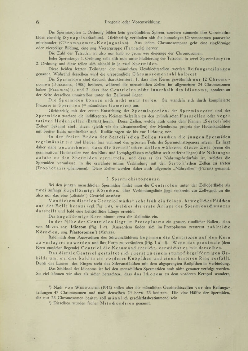 Die Spermiocyten 1. Ordnung bilden kein gewöhnliches Spirem, sondern sammeln ihre Chromatin» fäden einseitig (Sy n a p s is »Stadium). Gleichzeitig verbinden sich die homologen Chromosomen paarweise miteinander (Chromosomen»Konjugation). Aus jedem Chromosompaar geht eine ringförmige oder viereckige Bildung, eine sog. Vierergruppe (Te trade) hervor. Die Zahl der Tetraden ist also nur halb so gross wie diejenige der Chromosomen, Jeder Spermiocyt 1. Ordnung teilt sich nun unter Halbierung der Tetraden in zwei Spermiocyten 2. Ordnung und diese teilen sich alsbald in je zwei Spermiden. Diese beiden letzten Teilungen der männlichen Geschlechtszellen werden Reifungsteilungen genannt. Während derselben wird die ursprüngliche Chromosomenzahl halbiert. Die Spermiden sind dadurch charakterisiert, 1. dass ihre Kerne gewöhnlich nur 12 Chromo» so men (Duesberg, 1906) besitzen, während die menschlichen Zellen im allgemeinen 24 Chromosomen haben (Flemming) '); und 2. dass ihre Centriolen nicht innerhalb des Idiozoms, sondern an der Seite desselben unmittelbar unter der Zellwand liegen. Die Spermiden können sich nicht mehr teilen. Sie wandeln sich durch komplizierte Prozesse in Spermien (= männlichen Gameten) um. Gleichzeitig mit der ersten Entstehung der Spermiogonien, der Spermiocy-ten und der Spermiden wachsen die indifferenten Keimepithelzellen zu den zylindrischen F u s s z e 11 e n oder vege» tativen Hodenzellen (Benda) heran. Diese Zellen, welche auch unter dem Namen „S e rto 1 i'sdie Zellen bekannt sind, sitzen (gleich wie die Ursamenzellen) der Membrana propria der Hodenkanälchen mit breiter Basis unmittelbar auf. Radiär ragen sie bis zur Lichtung vor. ln den freien Enden der Sertoli'schen Zellen tauchen die jungen Spermiden regelmässig ein und bleiben hier während des grössten Teils der Spermiohistogenese sitzen. Es liegt daher nahe anzunehmen, dass die Sertoli'schen Zellen während dieser Zeit (wenn die germinativen Hodenzellen von den Blut» und Lymphgefässen möglichst weit entfernt liegen) die Nahrungs» zufuhr zu den Spermiden vermitteln, und dass es das Nahrungsbedürfnis ist, welches die Spermiden veranlasst, in die erwähnte intime Verbindung mit den Sertoli'schen Zellen zu treten (Tr o p h o t a x i s »phenomen). Diese Zellen werden daher auch allgemein „Nährzellen (Peter) genannt. 2. Spermiohistogenese. Bei den jungen menschlichen Spermiden findet man die Centriolen unter der Zelloberfläche als zwei anfangs kugelförmige Körnchen. Ihre Verbindungslinie liegt senkrecht zur Zellwand, an die also nur das eine („distale) Centriol anstösst. Von diesem distalen Centriol wächst sehr früh ein feines, beweglichesFädchen aus der Zelle heraus (vgl. Fig. Id), welches die erste Anlage des Spermienschwanzes darstellt und bald eine beträchtliche Länge erreicht. Der kugelförmige Kern nimmt etwa die Zellmitte ein. In der Nähe der Centriolen liegt im Protoplasma ein grauer, rundlicher Ballen, das von Meves sog. Idiozom (Fig. 1 d). Ausserdem finden sich im Protoplasma zerstreut zahlreiche Körnchen, sog. Plastosomen’) (Meves). Bald nach dem Auswachsen des Schwanzfädchens beginnen die CentrioJen auf den Kern zu verlagert zu werden und ihre Form zu verändern (Fig. 1 d — l). Wenn das proximale (dem Kern zunächst liegende) Centriol die Kernwand erreicht, verwächst es mit derselben. Das distale Centriol gestaltet sich zuerst zu einem stumpf kegelförmigen Ge» bilde um, welches bald in ein vorderes Knöpf dien und einen hinteren Ring zerfällt. Durch das Lumen des Ringes steht das Schwanzfädchen mit dem abgsprengten Knöpfchen in Verbindung. Das Schicksal des Idiozoms ist bei den menschlichen Spermatiden noch nicht genauer verfolgt worden. So viel können wir aber als sicher betrachten, dass das Idiozom zu dem vorderen Kernpol wandert. ’) Nach von Winiwarter (1912) sollen aber die männlichen Geschlechtszellen vor den Reifungs» teilungen 47 Chromosomen und nach denselben 24 bezw. 23 besitzen. Die eine Hälfte der Spermiden, die nur 23 Chromosomen besitzt, soll männlich geschlechtsbestimmend sein. 2) Dieselben wurden früher Mitochondrien genannt.