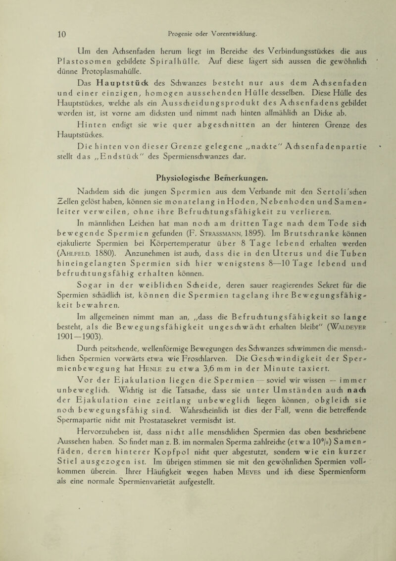 Um den Achsenfaden herum liegt im Bereiche des Verbindungsstückes die aus Plastosomen gebildete Spiral hülle. Auf diese lagert sich aussen die gewöhnlich dünne Protoplasmahülle. Das Hauptstück des Schwanzes besteht nur aus dem Achsen faden und einer einzigen, homogen aussehenden Hülle desselben. Diese Hülle des Hauptstückes, welche als ein Ausscheidungsprodukt des A ch se n fa de ns gebildet worden ist, ist vorne am dicksten und nimmt nach hinten allmählich an Dicke ab. Hinten endigt sie wie quer abgeschnitten an der hinteren Grenze des Hauptstüdces. Die hinten von dieser Grenze gelegene „nackte Achsenfadenpartie stellt das „Endstück des Spermienschwanzes dar. Physiologische Bemerkungen. Nachdem sich die jungen Spermien aus dem Verbände mit den SertoIi'sehen Zellen gelöst haben, können sie monatelang in Hoden, Nebenhoden undSamen- leiter verweilen, ohne ihre Befruchtungsfähigkeit zu verlieren. In männlichen Leichen hat man noch am dritten Tage nach dem Tode sich bewegende Spermien gefunden (F. Strassmann, 1895). Im Brutschränke können ejakulierte Spermien bei Körpertemperatur über 8 Tage lebend erhalten werden (Ahlfeld, 1880). Anzunehmen ist auch, dass die in den Uterus und dieTuben hineingelangten Spermien sich hier wenigstens 8—10 Tage lebend und befruchtungsfähig erhalten können. Sogar in der weiblichen Scheide, deren sauer reagierendes Sekret für die Spermien schädlich ist, können die Spermien tagelang ihre Bewegungsfähig* keit bewahren. Im allgemeinen nimmt man an, „dass die Befruchtungsfähigkeit so lange besteht, als die Bewegungsfähigkeit ungeschwächt erhalten bleibt (Waldeyer 1901-1903). Durch peitschende, wellenförmige Bewegungen des Schwanzes schwimmen die mensch= liehen Spermien vorwärts etwa wie Froschlarven. Die Gesdi win digkeit der Sper = mienbewegung hat Henle zu etwa 3,6 mm in der Minute taxiert. Vor der Ejakulation liegen die Spermien — soviel wir wissen — immer unbeweglich. Wichtig ist die Tatsache, dass sie unter Umständen auch nadi der Ejakulation eine zeitlang unbeweglich liegen können, o b g I e i ch sie noch bewegungsfähig sind. Wahrscheinlich ist dies der Fall, wenn diebetreffende Spermapartie nicht mit Prostatasekret vermischt ist. Hervorzuheben ist, dass nicht alle menschlichen Spermien das oben beschriebene Aussehen haben. So findet man z. B. im normalen Sperma zahlreiche (etwa 10°/o) Samen¬ fäden, deren hinterer Kopfpol nicht quer abgestutzt, sondern wie ein kurzer Stiel ausgezogen ist. Im übrigen stimmen sie mit den gewöhnlichen Spermien volE kommen überein. Ihrer Häufigkeit wegen haben Meves und ich diese Spermienform als eine normale Spermienvarietät aufgestellt.