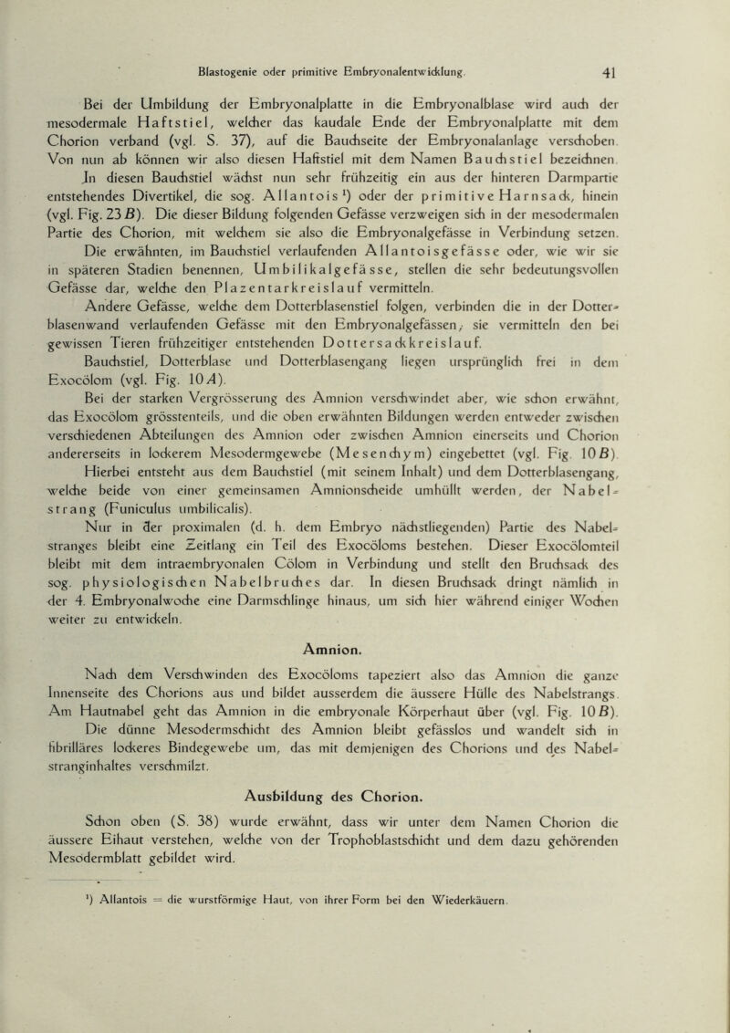 Bei der Umbildung der Embryonalplatte in die Embryonalblase wird auch der mesodermale Haftstiel, welcher das kaudale Ende der Embryonalplatte mit dem Chorion verband (vgl. S. 37), auf die Bauchseite der Embryonalanlage verschoben. Von nun ab können wir also diesen Haftstiel mit dem Namen Bauchstiel bezeichnen. In diesen Bauchstiel wächst nun sehr frühzeitig ein aus der hinteren Darmpartie entstehendes Divertikel, die sog. Allantois1) oder der primitive Harnsack, hinein (vgl. Fig. 23 B). Die dieser Bildung folgenden Gefässe verzweigen sich in der mesodermalen Partie des Chorion, mit welchem sie also die Embryonalgefässe in Verbindung setzen. Die erwähnten, im Bauchstiel verlaufenden Allantoisgefässe oder, wie wir sie in späteren Stadien benennen, Umbilikalgefässe, stellen die sehr bedeutungsvollen Gefässe dar, welche den Plazentarkreislauf vermitteln. Andere Gefässe, welche dem Dotterblasenstiel folgen, verbinden die in der Dotter¬ blasenwand verlaufenden Gefässe mit den Embryonalgefässen ,• sie vermitteln den bei gewissen Tieren frühzeitiger entstehenden Dotter sackkreislau f. Bauchstiel, Dotterblase und Dotterblasengang liegen ursprünglich frei in dem Exocölom (vgl. Fig. 1CM). Bei der starken Vergrösserung des Amnion verschwindet aber, wie schon erwähnt, das Exocölom grösstenteils, und die oben erwähnten Bildungen werden entweder zwischen verschiedenen Abteilungen des Amnion oder zwischen Amnion einerseits und Chorion andererseits in lockerem Mesodermgewebe (Mesenchym) eingebettet (vgl. Fig. 10 B) Hierbei entsteht aus dem Bauchstiel (mit seinem Inhalt) und dem Dotterblasengang, welche beide von einer gemeinsamen Amnionscheide umhüllt werden, der Nabel¬ st rang (Funiculus umbilicalis). Nur in der proximalen (d. h. dem Embryo nächstliegenden) Partie des Nabel- Stranges bleibt eine Zeitlang ein Teil des Exocöloms bestehen. Dieser Exocölomteil bleibt mit dem intraembryonalen Cölom in Verbindung und stellt den Bruchsadc des sog. physiologischen Nabelbruches dar. In diesen Bruchsack dringt nämlich in der 4. Embryonalwoche eine Darmschlinge hinaus, um sich hier während einiger Wochen weiter zu entwickeln. Amnion. Nach dem Verschwinden des Exocöloms tapeziert also das Amnion die ganze Innenseite des Chorions aus und bildet ausserdem die äussere Hülle des Nabelstrangs. Am Hautnabel geht das Amnion in die embryonale Körperhaut über (vgl. Fig. 10 B). Die dünne Mesodermschicht des Amnion bleibt gefässlos und wandelt sich in fibrilläres lockeres Bindegewebe um, das mit demjenigen des Chorions und des Nabel¬ stranginhaltes verschmilzt. Ausbildung des Chorion. Schon oben (S. 38) wurde erwähnt, dass wir unter dem Namen Chorion die äussere Eihaut verstehen, welche von der Trophoblastschicht und dem dazu gehörenden Mesodermblatt gebildet wird. ') Allantois = die wurstförmige Haut, von ihrer Form bei den Wiederkäuern.