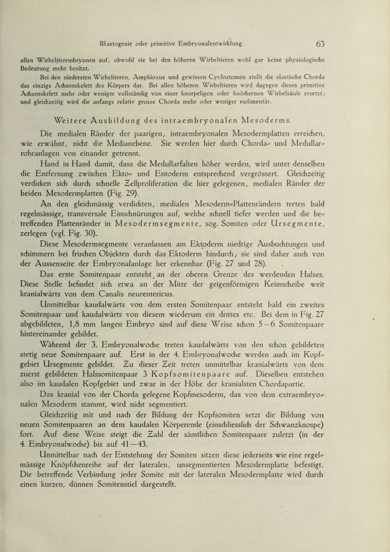 allen Wirbeltierembryonen auf, obwohl sie bei den höheren Wirbeltieren wohl gar keine physiologische Bedeutung mehr besitzt. Bei den niedersten Wirbeltieren, Amphioxus und gewissen Cyclostomen stellt die elastische Chorda das einzige Achsenskelett des Körpers dar. Bei allen höheren Wirbeltieren wird dagegen dieses primitive Achsenskelett mehr oder weniger vollständig von einer knorpeligen oder knöchernen Wirbelsäule ersetzt,- und gleichzeitig wird die anfangs relativ grosse Chorda mehr oder weniger rudimentär. Weitere Ausbildung des intraembryonalen Mesoderms. Die medialen Ränder der paarigen, intraembryonalen Mesodermplatten erreichen, wie erwähnt, nicht die Medianebene. Sie werden hier durch Chorda= und Medullar- rohranlagen von einander getrennt. Hand in Hand damit, dass die Medullarfalten höher werden, wird unter denselben die Entfernung zwischen Ekto= und Entoderm entsprechend vergrössert. Gleichzeitig verdicken sich durch schnelle Zellproliferation die hier gelegenen, medialen Ränder der beiden Mesodermplatten (Fig. 29). An den gleichmässig verdickten, medialen Mesoderm=Plattenrändern treten bald regelmässige, transversale Einschnürungen auf, welche schnell tiefer werden und die be¬ treffenden Plattenränder in Mesodermsegmente, sog. Somiten oder Ursegmente, zerlegen (vgl. Fig. 30). Diese Mesodermsegmente veranlassen am Ektoderm niedrige Ausbuchtungen und schimmern bei frischen Objekten durch das Ektoderm hindurch,- sie sind daher auch von der Aussenseite der Embryonalanlage her erkennbar (Fig. 27 und 28). Das erste Somitenpaar entsteht, an der oberen Grenze des werdenden Halses. Diese Stelle befindet sich etwa an der Mitte der geigenförmigen Keimscheibe weit kranialwärts von dem Canalis neurentericus. Unmittelbar kaudalwärts von dem ersten Somitenpaar entsteht bald ein zweites Somitenpaar und kaudalwärts von diesem wiederum ein drittes etc. Bei dem in Fig. 27 abgebildeten, 1,8 mm langen Embryo sind auf diese Weise schon 5—6 Somitenpaare hintereinander gebildet. Während der 3. Embryonalwoche treten kaudalwärts von den schon gebildeten stetig neue Somitenpaare auf. Erst in der 4. Embryonalwoche werden auch im Kopf¬ gebiet Ursegmente gebildet. Zu dieser Zeit treten unmittelbar kranialwärts von dem zuerst gebildeten Halssomitenpaar 3 Kopfsomitenpaare auf. Dieselben entstehen also im kaudalen Kopfgebiet und zwar in der Höhe der kranialsten Chordapartie. Das kranial von der Chorda gelegene Kopfmesoderm, das von dem extraembryo¬ nalen Mesoderm stammt, wird nicht segmentiert. Gleichzeitig mit und nach der Bildung der Kopfsomiten setzt die Bildung von neuen Somitenpaaren an dem kaudalen Körperende (einschliesslich der Schwanzknospe) fort. Auf diese Weise steigt die Zahl der sämtlichen Somitenpaare zuletzt (in der 4. Embryonalwoche) bis auf 41—43. Unmittelbar nach der Entstehung der Somiten sitzen diese jederseits wie eine regel¬ mässige Knöpfchenreihe auf der lateralen, unsegmentierten Mesodermplatte befestigt. Die betreffende Verbindung jeder Somite mit der lateralen Mesodermplatte wird durch einen kurzen, dünnen Somitenstiel dargestellt.