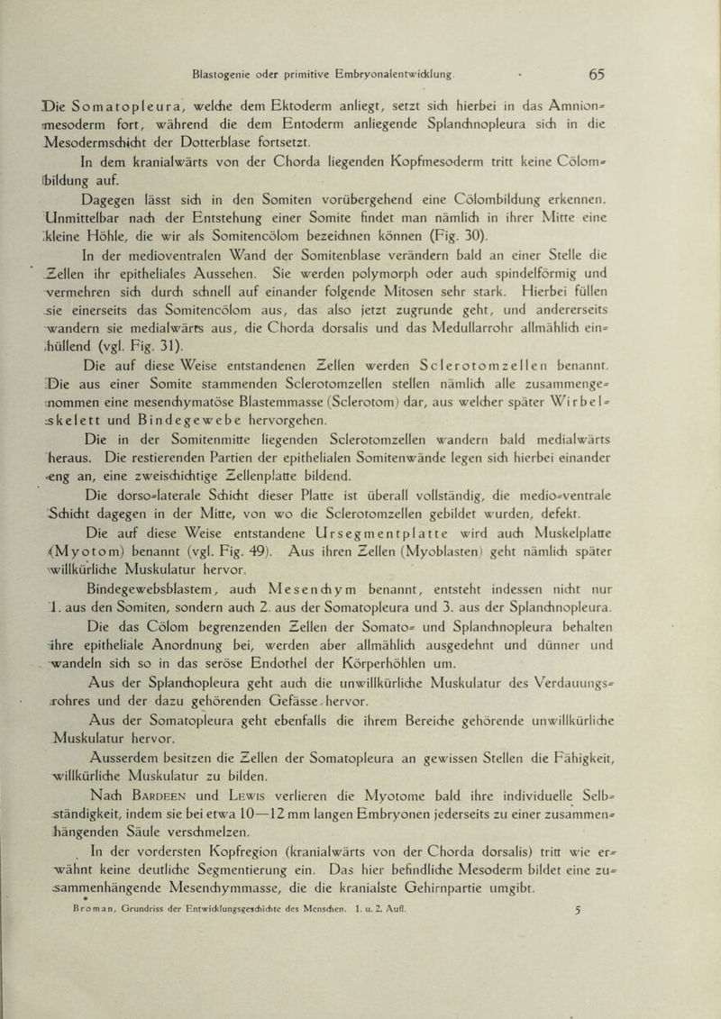 Die Somatopleura, welche dem Ektoderm anliegt, setzt sich hierbei in das Amnion^ mesoderm fort, während die dem Entoderm anliegende Splanchnopleura sich in die Mesodermschicht der Dotterblase fortsetzt. In dem kranialwärts von der Chorda liegenden Kopfmesoderm tritt keine Cölom- ibildung auf. Dagegen lässt sich in den Somiten vorübergehend eine Cölombildung erkennen. Unmittelbar nach der Entstehung einer Somite findet man nämlich in ihrer Mitte eine .kleine Höhle, die wir als Somitencölom bezeichnen können (Fig. 30). In der medioventralen Wand der Somitenblase verändern bald an einer Stelle die Zellen ihr epitheliales Aussehen. Sie werden polymorph oder auch spindelförmig und vermehren sich durch schnell auf einander folgende Mitosen sehr stark. Hierbei füllen sie einerseits das Somitencölom aus, das also jetzt zugrunde geht, und andererseits wandern sie medialwärrs aus, die Chorda dorsalis und das Medullarrohr allmählich ein= .hüllend (vgl. Fig. 31). Die auf diese Weise entstandenen Zellen werden Sclerotomzellen benannt. Die aus einer Somite stammenden Sclerotomzellen stellen nämlich alle zusammenge» inommen eine mesenchymatöse Blastemmasse (Sclerotom) dar, aus welcher später WirbeD skelett und Bindegewebe hervorgehen. Die in der Somitenmitte liegenden Sclerotomzellen wandern bald medialwärts heraus. Die Testierenden Partien der epithelialen Somitenwände legen sich hierbei einander ■eng an, eine zweischichtige Zellenplatte bildend. Die dorso=latera!e Schicht dieser Platte ist überall vollständig, die medio^ventrale Schicht dagegen in der Mitte, von wo die Sclerotomzellen gebildet wurden, defekt. Die auf diese Weise entstandene Ursegmentplatte wird auch Muskelplatte (Myotom) benannt (vgl. Fig. 49). Aus ihren Zellen (Myoblasten) geht nämlich später vwillkürliche Muskulatur hervor. Bindegewebsblastem, auch Mesenchym benannt, entsteht indessen nicht nur 1. aus den Somiten, sondern auch 2. aus der Somatopleura und 3. aus der Splanchnopleura. Die das Cölom begrenzenden Zellen der Somato= und Splanchnopleura behalten ihre epitheliale Anordnung bei, werden aber allmählich ausgedehnt und dünner und wandeln sich so in das seröse Endothel der Körperhöhlen um. Aus der Splanchopleura geht auch die unwillkürliche Muskulatur des Verdauungs- rohres und der dazu gehörenden Gefässe hervor. Aus der Somatopleura geht ebenfalls die ihrem Bereiche gehörende unwillkürliche Muskulatur hervor. Ausserdem besitzen die Zellen der Somatopleura an gewissen Stellen die Fähigkeit, willkürliche Muskulatur zu bilden. Nach Bardeen und Lewis verlieren die Myotonie bald ihre individuelle Selb¬ ständigkeit, indem sie bei etwa 10—12 mm langen Embryonen jederseits zu einer zusammen^ hängenden Säule verschmelzen. In der vordersten Kopfregion (kranialwärts von der Chorda dorsalis) tritt wie er^ wähnt keine deutliche Segmentierung ein. Das hier befindliche Mesoderm bildet eine zu= csammenhängende Mesenchymmasse, die die kranialste Gehirnpartie umgibt. Broman, Grundriss der Entwicklungsgeschichte des Menschen. 1. u. 2. Aufl. 5