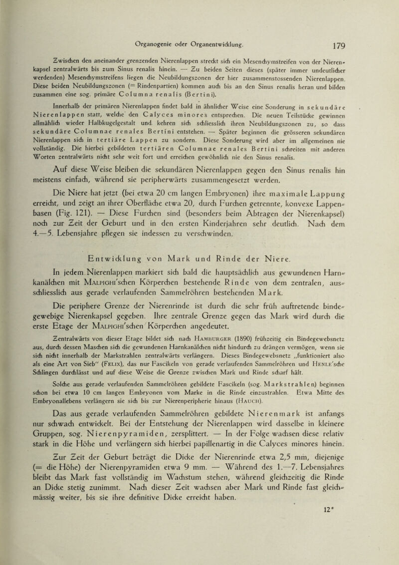 Zwischen den aneinander grenzenden Nierenlappen streckt sich ein Mesenchymstreifen von der Nieren- kapsel zentralwärts bis zum Sinus renalis hinein. — Zu beiden Seiten dieses (später immer undeutlicher werdenden) Mesendiymstreifens liegen die Neubildungszonen der hier zusammenstossenden Nierenlappen. Diese beiden Neubildungszonen (= Rindenpartien) kommen auch bis an den Sinus renalis heran und bilden zusammen eine sog. primäre Columna renalis (Bertini). Innerhalb der primären Nierenlappen findet bald in ähnlicher Weise eine Sonderung in sekundäre Nierenlappen statt, welche den Calyces minores entsprechen. Die neuen Teilstücke gewinnen allmählich wieder Halbkugelgestalt und. kehren sich schliesslich ihren Neubildungszonen zu, so dass sekundäre Columnae renales Bertini entstehen. — Später beginnen die grösseren sekundären Nierenlappen sich in tertiäre Lappen zu sondern. Diese Sonderung wird aber im allgemeinen nie vollständig. Die hierbei gebildeten tertiären Columnae renales Bertini schreiten mit anderen Worten zentralwärts nicht sehr weit fort und erreichen gewöhnlich nie den Sinus renalis. Auf diese Weise bleiben die sekundären Nierenlappen gegen den Sinus renalis hin meistens einfach, während sie peripherwärts zusammengesetzt werden. Die Niere hat jetzt (bei etwa 20 cm langen Embryonen) ihre maximale Lappung erreicht, und zeigt an ihrer Oberfläche etwa 20, durch Furchen getrennte, konvexe Lappen¬ basen (Fig. 121). — Diese Furchen sind (besonders beim Abtragen der Nierenkapsel) noch zur Zeit der Geburt und in den ersten Kinderjahren sehr deutlich. Nach dem 4.—5. Lebensjahre pflegen sie indessen zu verschwinden. Entwicklung von Mark und Rinde der Niere. In jedem Nierenlappen markiert sich bald die hauptsächlich aus gewundenen Harn¬ kanälchen mit MALPiGHi'schen Körperchen bestehende Rinde von dem zentralen, aus¬ schliesslich aus gerade verlaufenden Sammelröhren bestehenden Mark. Die periphere Grenze der Nierenrinde ist durch die sehr früh auftretende binde¬ gewebige Nierenkapsel gegeben. Ihre zentrale Grenze gegen das Mark wird durch die erste Etage der MALPiGHi'schen Körperchen angedeutet. Zentralwärts von dieser Etage bildet sieb nach Hamburger (1890) frühzeitig ein Bindegewebsnetz aus, durch dessen Maschen sich die gewundenen Harnkanälchen nicht hindurch zu drängen vermögen, wenn sie sich nicht innerhalb der Markstrahlen zentralwärts verlängern. Dieses Bindegewebsnetz „funktioniert also als eine Art von Sieb (Felix), das nur Fascikeln von gerade verlaufenden Sammelröhren und IlENLE'sche Schlingen durchlässt und auf diese Weise die Grenze zwischen Mark und Rinde scharf hält. Solche aus gerade verlaufenden Sammelröhren gebildete Fascikeln (sog. Markstrahlen) beginnen schon bei etwa 10 cm langen Embryonen vom Marke in die Rinde einzustrahlen. Etwa Mitte des Embryonallebens verlängern sie sich bis zur Nierenperipherie hinaus (Hauch). Das aus gerade verlaufenden Sammelröhren gebildete Nierenmark ist anfangs nur schwach entwickelt. Bei der Entstehung der Nierenlappen wird dasselbe in kleinere Gruppen, sog. Nierenpyramiden, zersplittert. — In der Folge wadisen diese relativ stark in die Höhe und verlängern sich hierbei papillenartig in die Calyces minores hinein. Zur Zeit der Geburt beträgt die Dicke der Nierenrinde etwa 2,5 mm, diejenige (= die Höhe) der Nierenpyramiden etwa 9 mm. — Während des 1.—7. Lebensjahres bleibt das Mark fast vollständig im Wachstum stehen, während gleichzeitig die Rinde an Dicke stetig zunimmt. Nach dieser Zeit wachsen aber Mark und Rinde fast gleich- mässig weiter, bis sie ihre definitive Dicke erreicht haben. 12