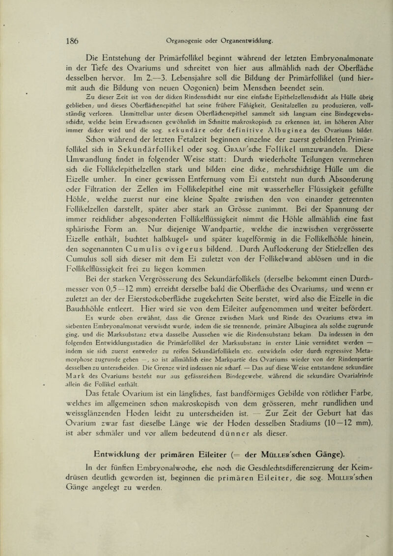 Die Entstehung der Primärfollikel beginnt während der letzten Embryonalmonate in der Tiefe des Ovariums und schreitet von hier aus allmählich nach der Oberfläche desselben hervor. Im 2.—3. Lebensjahre soll die Bildung der Primärfollikel (und hier- mit auch die Bildung von neuen Oogonien) beim Menschen beendet sein. Zu dieser Zeit ist von der dicken Rindenschicht nur eine einfache Epithelzellenschicht als Hülle übrig geblieben,- und dieses Oberflächenepithel hat seine frühere Fähigkeit, Genitalzellen zu produzieren, voll- ständig verloren. Unmittelbar unter diesem Oberflächenepithel sammelt sich langsam eine Bindegewebs^ schiebt, welche beim Erwachsenen gewöhnlich im Schnitte makroskopisch zu erkennen ist, im höheren Alter immer dicker wird und die sog. sekundäre oder definitive Albuginea des Ovariums bildet Schon während der letzten Fetalzeit beginnen einzelne der zuerst gebildeten Primär¬ follikel sich in Sekundärfollikel oder sog. GRAAF'sche Follikel umzuwandeln. Diese Umwandlung findet in folgender Weise statt: Durch wiederholte Teilungen vermehren sich die Follikelepithelzellen stark und bilden eine didce, mehrschichtige Hülle um die Eizelle umher. In einer gewissen Entfernung vom Ei entsteht nun durch Absonderung oder Filtration der Zellen im Follikelepithel eine mit wasserheller Flüssigkeit gefüllte Höhle, welche zuerst nur eine kleine Spalte zwischen den von einander getrennten Follikelzellen darstellt, später aber stark an Grösse zunimmt. Bei der Spannung der immer reichlicher abgesonderten Follikelflüssigkeit nimmt die Höhle allmählich eine fast sphärische Form an. Nur diejenige Wandpartie, welche die inzwischen vergrösserte Eizelle enthält, buchtet halbkugel- und später kugelförmig in die Follikelhöhle hinein, den sogenannten Cumulis ovigerus bildend. .Durch Auflockerung der Stielzellen des Cumulus soll sich dieser mit dem Ei zuletzt von der Follikelwand ablösen und in die Follikelflüssigkeit frei zu liegen kommen Bei der starken Vergrösserung des Sekundärfollikels (derselbe bekommt einen Durch¬ messer von 0,5 — 12 mm) erreicht derselbe bald die Oberfläche des Ovariums,- und wenn er zuletzt an der der Eierstockoberfläche zugekehrten Seite berstet, wird also die Eizelle in die Bauchhöhle entleert. Hier wird sie von dem Eileiter aufgenommen und weiter befördert. Es wurde oben erwähnt, dass die Grenze zwischen Mark und Rinde des Ovariums etwa im siebenten Embryonalmonat verwischt wurde, indem die sie trennende, primäre Albuginea als solche zugrunde ging, und die Marksubstanz etwa dasselbe Aussehen wie die Rindensubstanz bekam Da indessen in den folgenden Entwicklungsstadien die Primärfollikel der Marksubstanz in erster Linie vernichtet werden — indem sie sich zuerst entweder zu reifen Sekundärfollikeln etc. entwickeln oder durch regressive Meta¬ morphose zugrunde gehen —, so ist allmählich eine Markpartie des Ovariums wieder von der Rindenpartie desselben zu unterscheiden. Die Grenze wird indessen nie scharf. — Das auf diese Weise entstandene sekundäre Mark des Ovariums besteht nur aus gefässreichem Bindegewebe, während die sekundäre Ovarialrinde allein die Follikel enthält. Das fetale Ovarium ist ein längliches, fast bandförmiges Gebilde von rötlicher Farbe, welches im allgemeinen schon makroskopisch von dem grösseren, mehr rundlichen und weissglänzenden Hoden leicht zu unterscheiden ist. —- Zur Zeit der Geburt hat das Ovarium zwar fast dieselbe Länge wie der Hoden desselben Stadiums (10 — 12 mm), ist aber schmäler und vor allem bedeutend dünner als dieser. Entwicklung der primären Eileiter (= der Müller sehen Gänge). In der fünften Embryonalwoche, ehe noch die Geschlechtsdifferenzierung der Keim¬ drüsen deutlich geworden ist, beginnen die primären Eileiter, die sog. MüLLER'schen Gänge angelegt zu werden.