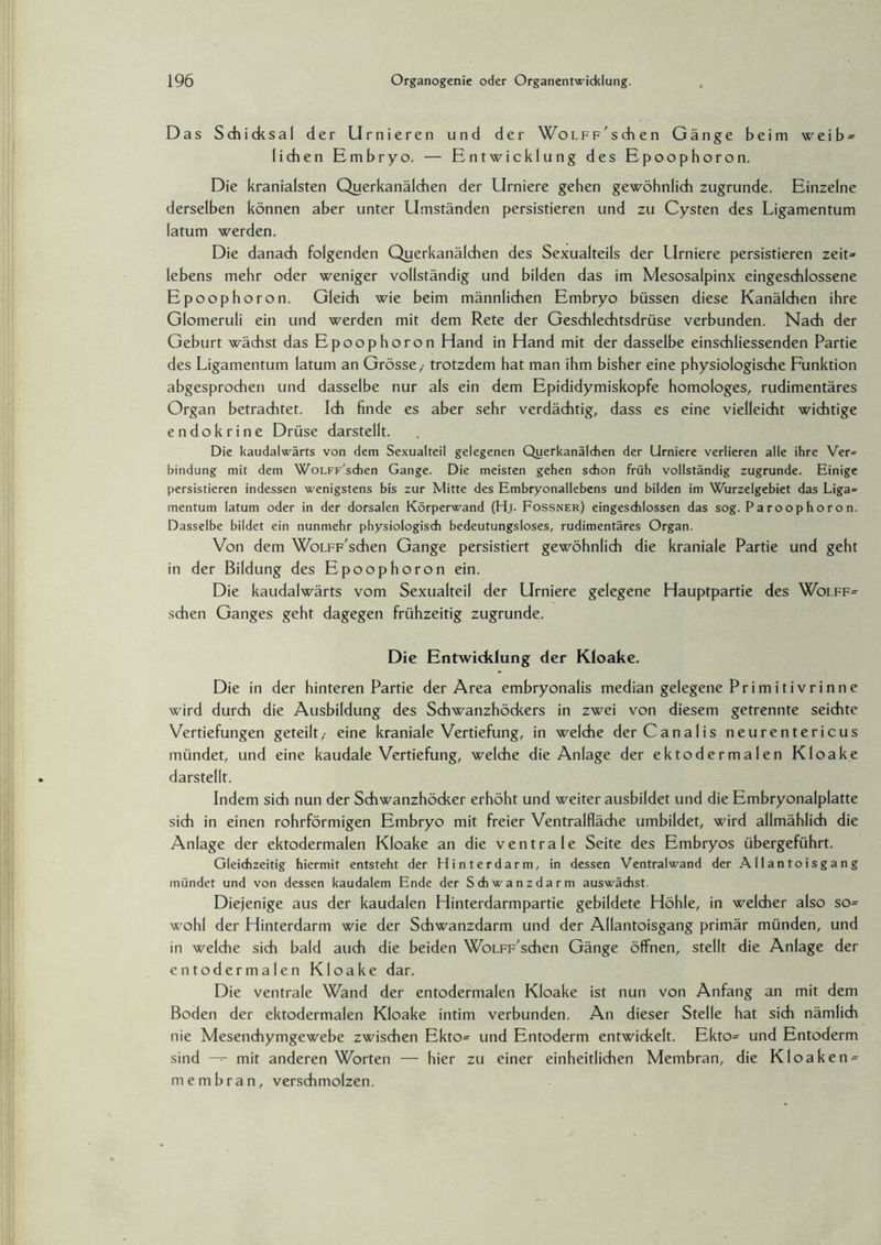 Das Schicksal der Urnieren und der Wolff'sehen Gänge beim weib» liehen Embryo. — Entwicklung des Epoophoron. Die kranialsten Querkanälchen der LIrniere gehen gewöhnlich zugrunde. Einzelne derselben können aber unter Umständen persistieren und zu Cysten des Ligamentum latum werden. Die danach folgenden Querkanälchen des Sexualteils der Urniere persistieren zeit» lebens mehr oder weniger vollständig und bilden das im Mesosalpinx eingeschlossene Epoophoron. Gleich wie beim männlichen Embryo büssen diese Kanälchen ihre Glomeruli ein und werden mit dem Rete der Geschlechtsdrüse verbunden. Nach der Geburt wächst das Epoophoron Hand in Hand mit der dasselbe einschliessenden Partie des Ligamentum latum an Grösse,- trotzdem hat man ihm bisher eine physiologische Funktion abgesprochen und dasselbe nur als ein dem Epididymiskopfe homologes, rudimentäres Organ betrachtet. Ich finde es aber sehr verdächtig, dass es eine vielleicht wichtige endokrine Drüse darstellt. Die kaudalwärts von dem Sexualteil gelegenen Querkanälchen der Urniere verlieren alle ihre Ver» bindung mit dem WoLFF'schen Gange. Die meisten gehen schon früh vollständig zugrunde. Einige persistieren indessen wenigstens bis zur Mitte des Embryonallebens und bilden im Wurzelgebiet das Liga» mentum latum oder in der dorsalen Körperwand (Hj. Fossner) eingeschlossen das sog. Paroophoron. Dasselbe bildet ein nunmehr physiologisch bedeutungsloses, rudimentäres Organ. Von dem WoLFF'schen Gange persistiert gewöhnlich die kraniale Partie und geht in der Bildung des Epoophoron ein. Die kaudalwärts vom Sexualteil der Urniere gelegene Hauptpartie des Wolff» sehen Ganges geht dagegen frühzeitig zugrunde. Die Entwicklung der Kloake. Die in der hinteren Partie der Area embryonalis median gelegene Primitivrinne wird durch die Ausbildung des Schwanzhöckers in zwei von diesem getrennte seichte Vertiefungen geteilt,- eine kraniale Vertiefung, in welche derCanalis neurentericus mündet, und eine kaudale Vertiefung, welche die Anlage der ektodermalen Kloake darstellt. Indem sich nun der Schwanzhöcker erhöht und weiter ausbildet und die Embryonalplatte sich in einen rohrförmigen Embryo mit freier Ventralfläche umbildet, wird allmählich die Anlage der ektodermalen Kloake an die ventrale Seite des Embryos übergeführt. Gleichzeitig hiermit entsteht der Hinterdarm, in dessen Ventralwand der Allantoisgang mündet und von dessen kaudalem Ende der Schwanzdarm auswächst. Diejenige aus der kaudalen Hinterdarmpartie gebildete Höhle, in welcher also so» wohl der Hinterdarm wie der Schwanzdarm und der Allantoisgang primär münden, und in welche sich bald auch die beiden WoLFF'schen Gänge öffnen, stellt die Anlage der entodermalen Kloake dar. Die ventrale Wand der entodermalen Kloake ist nun von Anfang an mit dem Boden der ektodermalen Kloake intim verbunden. An dieser Stelle hat sich nämlich nie Mesenchymgewebe zwischen Ekto» und Entoderm entwickelt. Ekto» und Entoderm sind — mit anderen Worten — hier zu einer einheitlichen Membran, die Kloaken» membran, verschmolzen.