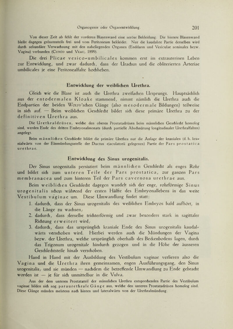 Von dieser Zeit ab fehlt der vorderen Blasenwand eine seröse Bekleidung. Die hintere Blasenwand bleibt dagegen grösstenteils frei und vom Peritoneum bekleidet. Nur die kaudalste Partie derselben wird durch sekundäre Verwachsung mit den naheliegenden Organen (Enddarm und Vesiculae seminales bezw. Vagina) verbunden (Cuneo und Veau, 1899). Die drei Plicae vesico-umbilicales kommen erst im extrauterinen Leben zur Entwicklung, und zwar dadurch, dass der Urachus und die obliterierten Arteriae umbilicales je eine Peritonealfalte hochheben. Entwicklung der weiblichen Urethra. Gleich wie die Blase ist auch die Urethra zweifachen Ursprungs. Hauptsächlich aus der entodermalen Kloake stammend, nimmt nämlich die Urethra auch die Endpartien der beiden WoLFF’schen Gänge (also mesodermale Bildungen) teilweise in sich auf. — Beim weiblichen Geschlecht bildet sich diese primäre Urethra zu der definitiven Urethra aus. Die Urethraldrüsen, welche den oberen Prostatadrüsen beim männlichen Geschlecht homolog sind, werden Ende des dritten Embryonalmonats (durch partielle Abschnürung longitudinaler Urethralfalten) angelegt. Beim männlichen Geschlecht bildet die primäre Urethra nur die Anlage der kranialen (d. h. kra- nialwärts von der Einmündungsstelle der Ductus ejaculatorii gelegenen) Partie der Pars prostatica urethra e. Entwicklung des Sinus urogenitalis. Der Sinus urogenitalis persistiert beim männlichen Geschlecht als enges Rohr und bildet sich zum unteren Teile der Pars prostatica, zur ganzen Pars membranacea und zum hinteren Teil der Pars cavernosa urethrae aus. Beim weiblichen Geschlecht dagegen wandelt sich der enge, rohrförmige Sinus urogenitalis schoji während der ersten Hälfte des Embryonallebens in das weite Vestibül um vaginae um. Diese Umwandlung findet statt: 1. dadurch, dass der Sinus urogenitalis des weiblichen Embryos bald auf hört, in die Länge zu wachsen,- 2. dadurch, dass .derselbe trichterförmig und zwar besonders stark in sagittaler Richtung erweitert wird,- 3. dadurch, dass das ursprünglich kraniale Ende des Sinus urogenitalis kaudaL wärts verschoben wird. Hierbei werden auch die Mündungen der Vagina bezw. der Urethra, welche ursprünglich oberhalb des Bedcenbodens lagen, durch das Trigonum urogenitale hindurch gezogen und in die Höhe der äusseren Geschlechtsteile hinab verschoben. Hand in Hand mit der Ausbildung des Vestibulum vaginae verlieren also die Vagina und die LIrethra ihren gemeinsamen, engen Ausführungsgang, den Sinus urogenitalis,- und sie münden — nachdem die betreffende Umwandlung zu Ende gebracht worden ist — je für sich unmittelbar in die Vulva. Aus der dem unteren Prostatateil der männlichen Urethra entsprechenden Partie des Vestibulum vaginae bilden sich sog. pa r au r e t h ra I e G ä n g e aus, welche den unteren Prostatadrüsen homolog sind. Diese Gänge münden meistens nach hinten und lateralwärts von der Urethralmündung.