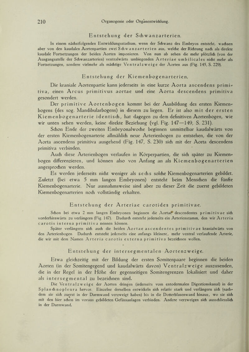 Entstehung der Schwanzarterien. In einem nächstfolgenden Entwiddungsstadium, wenn der Schwanz des Embryos entsteht, wachsen aber von den kaudalen Aortenpartien zwei S ch w a n z a r t e r i e n aus, welche der Richtung nach als direkte kaudale Fortsetzungen der beiden Aorten imponieren. Von nun ab sehen die mehr plötzlich (von der Ausgangsstelle der Schwanzarterien) ventralwärts umbiegenden Arteriae umbilicales nicht mehr als Fortsetzungen, sondern vielmehr als mächtige Ve n t r a I z w e i g e der Aorten aus (Fig. 145, S. 229). Entstehung der Kiemenbogenarterien. Die kraniale Aortenpartie kann jederseits in eine kurze Aorta ascendens primD tiva, einen Arcus primitivus aortae und eine Aorta descendens primitiva gesondert werden. Der primitive Aortenbogen kommt bei der Ausbildung des ersten Kiemen= bogens (des sog. Mandibularbogens) in diesem zu liegen. Er ist also mit der ersten Kiemenbogenarterie identisch, hat dagegen zu dem definitiven Aortenbogen, wie wir unten sehen werden, keine direkte Beziehung (vgl. Fig. 147—149, S. 231). Schon Ende der zweiten Embryonalwoche beginnen unmittelbar kaudalwärts von der ersten Kiemenbogenarterie allmählich neue Arterienbogen zu entstehen, die von der Aorta ascendens primitiva ausgehend (Fig. 147, S. 230) sich mit der Aorta descendens primitiva verbinden. Auch diese Arterienbogen verlaufen in Körperpartien, die sich später zu Kiemen» bogen differenzieren, und können also von Anfang an als Kiemenbogenarterien angesprochen werden. Es werden jederseits nicht weniger als sechs solche Kiemenbogenarterien gebildet. Zuletzt (bei etwa 5 mm langen Embryonen) entsteht beim Menschen die fünfte Kiemenbogenarterie. Nur ausnahmsweise sind aber zu dieser Zeit die zuerst gebildeten Kiemenbogenarterien noch vollständig erhalten. Entstehung der Arteriae carotides primitivae. Schon bei etwa 2 mm langen Embryonen beginnen die Aortal descendentes primi tivae sich vorderhirnwärts zu verlängern (Fig. 147). Dadurch entsteht jederseits ein Arterienstamm, den wir Arteria carotis interna primitiva nennen können. Später verlängern sich auch die beiden Aortae ascendentes primitivae kranialwärts von den Arterienbogen Dadurch entsteht jederseits eine anfangs kleinere, mehr ventral verlaufende Arterie, die wir mit dem Namen Arteria carotis externa primitiva bezeichnen wollen. Entstehung der intersegmentalen Aortenzweige. Etwa gleichzeitig mit der Bildung der ersten Somitenpaare beginnen die beiden Aorten (in der Somitengegend und kaudalwärts davon) Ventralzweige auszusenden, die in der Regel in der Höhe der gegenseitigen Somitengrenzen lokalisiert und daher als i n tersegmen ta 1 zu bezeichnen sind. Die Ventralzweige der Aorten dringen (jederseits vom entodermalen Digestionskanal) in der Splanchnopleura hervor. Einzelne derselben entwickeln sich relativ stark und verlängern sich (nach» dem sie sich zuerst in der Darmwand verzweigt haben) bis in die Dotterblasenwand hinaus, wo sie sich mit den hier schon im voraus gebildeten Gefässanlagen verbinden. Andere verzweigen sich ausschliesslich in der Darmwand.
