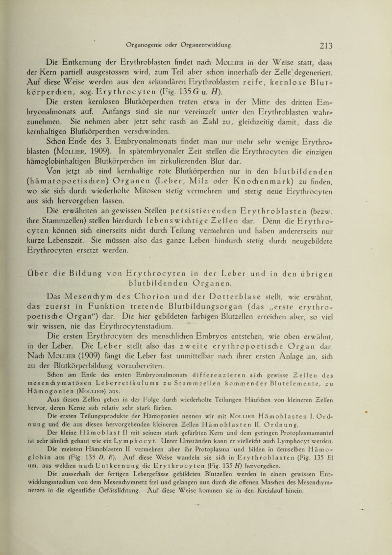 Die Entkernung der Erythroblasten findet nach Mollier in der Weise statt, dass der Kern partiell ausgestossen wird, zum Teil aber schon innerhalb der Zelle degeneriert. Auf diese Weise werden aus den sekundären Erythroblasten reife, kernlose Blut^ körperchen, sog. Erythrocyten (Fig. 135 G u. H). Die ersten kernlosen Blutkörperchen treten etwa in der Mitte des dritten Em= bryonalmonats auf. Anfangs sind sie nur vereinzelt unter den Erythroblasten wahr= zunehmen. Sie nehmen aber jetzt sehr rasch an Zahl zu, gleichzeitig damit, dass die kernhaltigen Blutkörperchen verschwinden. Schon Ende des 3. Embryonalmonats findet man nur mehr sehr wenige Erythro= blasten (Mollier, 1909). In spätembryonaler Zeit stellen die Erythrocyten die einzigen hämoglobinhaltigen Blutkörperchen im zirkulierenden Blut dar. Von jetgt ab sind kernhaltige rote Blutkörperchen nur in den blutbildenden (hämatopoetischen) Organen (Leber, Milz oder Knochenmark) zu finden, wo sie sich durch wiederholte Mitosen stetig vermehren und stetig neue Erythrocyten aus sich hervorgehen lassen. Die erwähnten an gewissen Stellen persistierenden Erythroblasten (bezw. ihre Stammzellen) stellen hierdurch Ie be n s wich tige Ze 11 e n dar. Denn die Erythro^ cyten können sich einerseits nicht durch Teilung vermehren und haben andererseits nur kurze Lebenszeit. Sie müssen also das ganze Leben hindurch stetig durch neugebildete Erythrocyten ersetzt werden. Über die Bildung von Erythrocyten in der Leber und in den übrigen blutbildenden Organen. Das Mesendhym des Chorion und der Dotterblase stellt, wie erwähnt, das zuerst in Funktion tretende Blutbildungsorgan (das „erste erythro^ poetische Organ) dar. Die hier gebildeten farbigen Blutzellen erreichen aber, so viel wir wissen, nie das Erythrocytenstadium. Die ersten Erythrocyten des menschlichen Embryos entstehen, wie oben erwähnt, in der Leber. Die Leber stellt also das zweite erythropoetische Organ dar. Nach Mollier (1909) fängt die Leber fast unmittelbar nach ihrer ersten Anlage an, sich zu der Blutkörperbildung vorzubereiten. Schon am Ende des ersten Embryonalmonats differenzieren sich gewisse Zellen des mesenchymatösen Leberretikulums zu Stamm zellen kommender Blutelemente, zu Hämogonien (Mollier-) aus. Aus diesen Zellen gehen in der Folge durch wiederholte Teilungen Häufchen von kleineren Zellen hervor, deren Kerne sich relativ sehr stark färben. Die ersten Teilungsprodukte der Hämogonien nennen wir mit Mollier Hä moblasten 1. Ord» nung und die aus diesen hervorgehenden kleineren Zellen Hämoblasten 11. Ordnung. Der kleine Hämoblast II mit seinem stark gefärbten Kern und dem geringen Protoplasmamantel ist sehr ähnlich gebaut wie ein Lymphocyt. Unter LImständen kann er vielleicht auch Lymphocyt werden. Die meisten Hämoblasten II vermehren aber ihr Protoplasma und bilden in demselben Hämo» globin aus (Fig. 135 D, E). Auf diese Weise wandeln sie sich in Erythroblasten (Fig. 135 E) um, aus welchen n a ch E n t k e r n u n g die Erythrocyten (Fig. 135 H) hervorgehen. Die ausserhalb der fertigen Lebergefässe gebildeten Blutzellen werden in einem gewissen Ent» Wicklungsstadium von dem Mesenchymnetz frei und gelangen nun durch die offenen Maschen des Mesenchym» netzes in die eigentliche Gefässlichtung. Auf diese Weise kommen sie in den Kreislauf hinein.