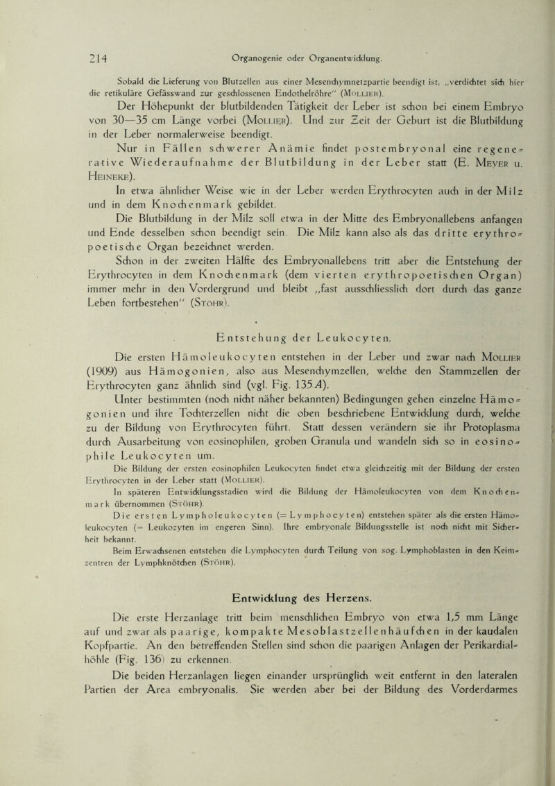 Sobald die Lieferung von Blutzellen aus einer Mesendiymnetzpartie beendigt ist, „verdichtet sich hier die retikuläre Gefässwand zur geschlossenen Endothelröhre“ (Mollier). Der Höhepunkt der blutbildenden Tätigkeit der Leber ist schon bei einem Embryo von 30—35 cm Länge vorbei (Mollier). Und zur Zeit der Geburt ist die Blutbildung in der Leber normalerweise beendigt. Nur in Fällen schwerer Anämie findet postembryonal eine regene = rative Wiederaufnahme der Blutbildung in der Leber statt (E. MEyER u. Heineke). In etwa ähnlicher Weise wie in der Leber werden Erythrocyten auch in der Milz und in dem Knochenmark gebildet. Die Blutbildung in der Milz soll etwa in der Mitte des Embryonallebens anfangen und Ende desselben sdton beendigt sein. Die Milz kann also als das dritte erythro^ poetische Organ bezeichnet werden. Schon in der zweiten Hälfte des Embryonallebens tritt aber die Entstehung der Erythrocyten in dem Knochenmark (dem vierten erythropoetischen Organ) immer mehr in den Vordergrund und bleibt „fast ausschliesslich dort durch das ganze Leben fortbestehen (Stöhr). Entstehung der Leukocyten. Die ersten Hämo leukocyten entstehen in der Leber und zwar nach Mollier (1909) aus Hämogonien, also aus Mesenchymzellen, welche den Stammzellen der Erythrocyten ganz ähnlich sind (vgl. I'ig. 135/1). Unter bestimmten (noch nicht näher bekannten) Bedingungen gehen einzelne Hämo-- gonien und ihre Tochterzellen nicht die oben beschriebene Entwicklung durch, welche zu der Bildung von Erythrocyten führt. Statt dessen verändern sie ihr Protoplasma durch Ausarbeitung von eosinophilen, groben Granula und wandeln sich so in eosino- phile Leukocyten um. Die Bildung der ersten eosinophilen Leukocyten findet etwa gleichzeitig mit der Bildung der ersten Erythrocyten in der Leber statt (.Mollier). In späteren Entwicklungsstadien wird die Bildung der Hämoleukocyten von dem Knochen¬ mark übernommen (Stöhr). Die ersten Lympholeukocyten (= Lymphocyten) entstehen später als die ersten Hämo¬ leukocyten (= Leukozyten im engeren Sinn). Ihre embryonale Bildungsstelle ist noch nicht mit Sicher¬ heit bekannt. Beim Erwachsenen entstehen die Lymphocyten durch Teilung von sog. Lymphoblasten in den Keim¬ zentren der Lymphknötchen (Stöhr). Entwicklung des Herzens. Die erste Herzanlage tritt beim menschlichen Embryo von etwa 1,5 mm Länge auf und zwar als paarige, kompakte Mesoblastzellenhäufchen in der kaudalen Kopfpartie. An den betreffenden Stellen sind schon die paarigen Anlagen der PerikardiaL höhle (Fig. 136) zu erkennen. Die beiden Herzanlagen liegen einander ursprünglich weit entfernt in den lateralen Partien der Area embryonalis. Sie werden aber bei der Bildung des Vorderdarmes