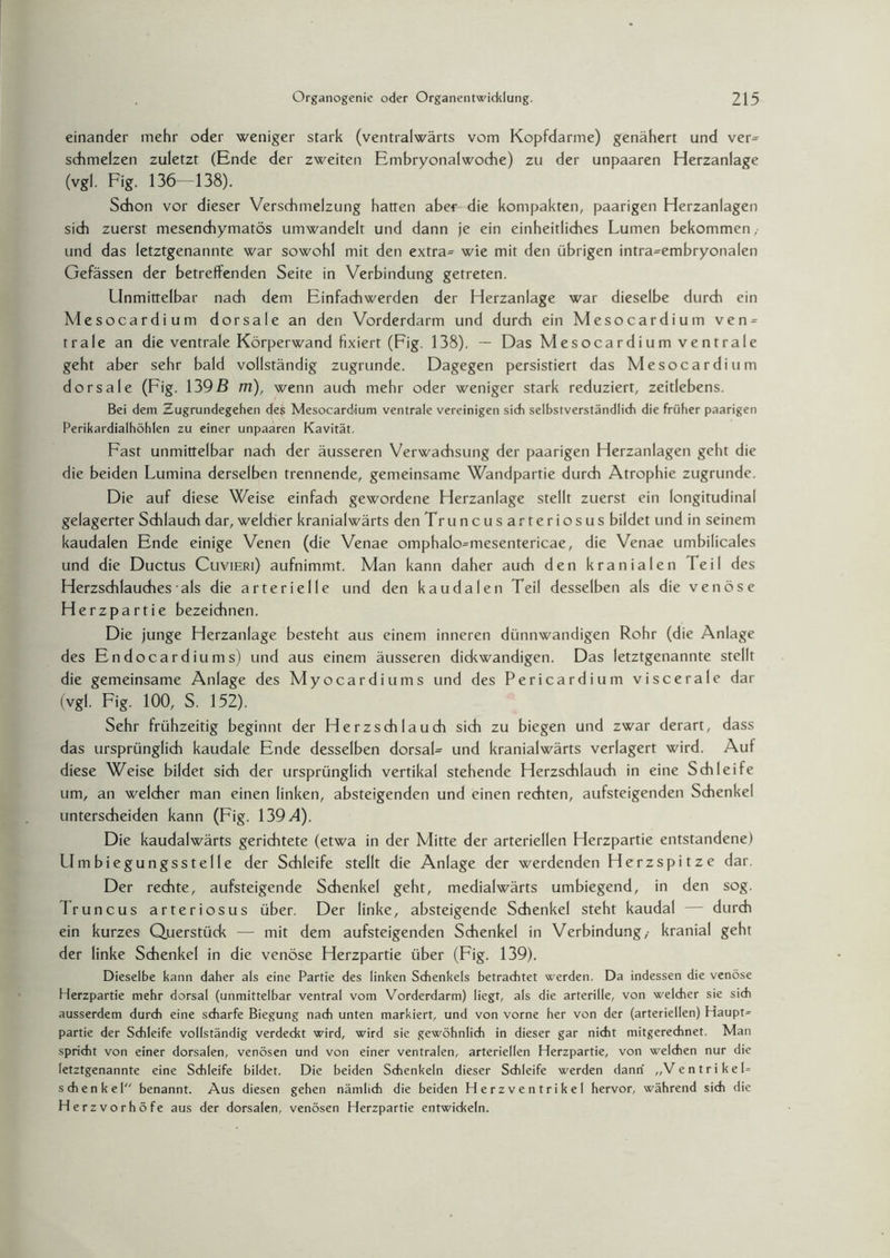 einander mehr oder weniger stark (ventralwärts vom Kopfdarme) genähert und ver= schmelzen zuletzt (Ende der zweiten Embryonalwoche) zu der unpaaren Herzanlage (vgl. Fig. 136—138). Schon vor dieser Verschmelzung hatten abef die kompakten, paarigen Herzanlagen sich zuerst mesenchymatös umwandelt und dann je ein einheitliches Lumen bekommen, und das letztgenannte war sowohl mit den extra= wie mit den übrigen intra=embryonalen Gefässen der betreffenden Seife in Verbindung getreten. Unmittelbar nach dem Einfachwerden der Herzanlage war dieselbe durch ein Mesocardium dorsale an den Vorderdarm und durch ein Mesocardium ven¬ trale an die ventrale Körperwand fixiert (Fig. 138). — Das Mesocardium ventrale geht aber sehr bald vollständig zugrunde. Dagegen persistiert das Mesocardium dorsale (Fig. 139ß m), wenn auch mehr oder weniger stark reduziert, zeitlebens. Bei dem Zugrundegehen des Mesocardium ventrale vereinigen sich selbstverständlich die früher paarigen Perikardialhöhlen zu einer unpaaren Kavität. Fast unmittelbar nach der äusseren Verwachsung der paarigen Herzanlagen geht die die beiden Lumina derselben trennende, gemeinsame Wandpartie durch Atrophie zugrunde. Die auf diese Weise einfach gewordene Herzanlage stellt zuerst ein longitudinal gelagerter Schlauch dar, welcher kranialwärts den Truncusarteriosus bildet und in seinem kaudalen Ende einige Venen (die Venae omphalo=mesentericae, die Venae umbilicales und die Ductus Cuvieri) aufnimmt. Man kann daher auch den kranialen Teil des Herzschlauches als die arterielle und den kaudalen Teil desselben als die venöse Herzpartie bezeichnen. Die junge Herzanlage besteht aus einem inneren dünnwandigen Rohr (die Anlage des Endocar d in ms) und aus einem äusseren dickwandigen. Das letztgenannte stellt die gemeinsame Anlage des Myocardiums und des Pericardium viscerale dar (vgl. Fig. 100, S. 152). Sehr frühzeitig beginnt der Herzschlauch sich zu biegen und zwar derart, dass das ursprünglich kaudale Ende desselben dorsaL und kranialwärts verlagert wird. Auf diese Weise bildet sich der ursprünglich vertikal stehende Herzschlauch in eine Schleife um, an welcher man einen linken, absteigenden und einen rechten, aufsteigenden Schenkel unterscheiden kann (Fig. 139/4). Die kaudalwärts gerichtete (etwa in der Mitte der arteriellen Herzpartie entstandene) Umbiegungsstelle der Schleife stellt die Anlage der werdenden Herzspitze dar. Der rechte, aufsteigende Schenkel geht, medialwärts umbiegend, in den sog. Truncus arteriosus über. Der linke, absteigende Schenkel steht kaudal — durch ein kurzes Querstück — mit dem aufsteigenden Schenkel in Verbindung,- kranial geht der linke Schenkel in die venöse Herzpartie über (Fig. 139). Dieselbe kann daher als eine Partie des linken Schenkels betrachtet werden. Da indessen die venöse Herzpartie mehr dorsal (unmittelbar ventral vom Vorderdarm) liegt, als die arterille, von welcher sie sich ausserdem durch eine scharfe Biegung nach unten markiert, und von vorne her von der (arteriellen) Haupte partie der Schleife vollständig verdeckt wird, wird sie gewöhnlich in dieser gar nicht mitgerechnet. Man spricht von einer dorsalen, venösen und von einer ventralen, arteriellen Herzpartie, von welchen nur die letztgenannte eine Schleife bildet. Die beiden Schenkeln dieser Schleife werden dann „VentrikeU schenke! benannt. Aus diesen gehen nämlich die beiden Herzventrikel hervor, während sich die Herzvorhöfe aus der dorsalen, venösen Herzpartie entwickeln.