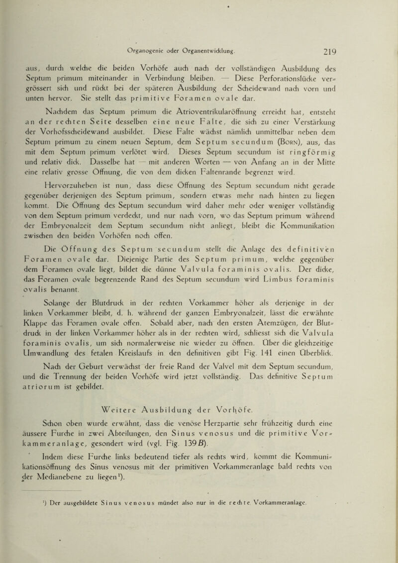 aus, durch welche die beiden Vorhöfe auch nach der vollständigen Ausbildung des Septum primum miteinander in Verbindung bleiben. — Diese Perforationslücke ver® grössert sich und rückt bei der späteren Ausbildung der Scheidewand nach vorn und unten hervor. Sie stellt das primitive Fora men ovale dar. Nachdem das Septum primum die Atrioventrikularöffnung erreicht hat, entsteht an der rechten Seite desselben eine neue Falte, die sich zu einer Verstärkung der Vorhofsscheidewand ausbildet. Diese Falte wächst nämlich unmittelbar neben dem Septum primum zu einem neuen Septum, dem Septum secundum (Born), aus, das mit dem Septum primum verlötet wird. Dieses Septum secundum ist ringförmig und relativ dick. Dasselbe hat — mit anderen Worten — von Anfang an in der Mitte eine relativ grosse Öffnung, die von dem dicken Falrenrande begrenzt wird. Hervorzuheben ist nun, dass diese Öffnung des Septum secundum nicht gerade gegenüber derjenigen des Septum primum, sondern etwas mehr nach hinten zu liegen kommt. Die Öffnung des Septum secundum wird daher mehr oder weniger vollständig von dem Septum primum verdeckt, und nur nach vorn, wo das Septum primum während der Embryonalzeit dem Septum secundum nicht anliegt, bleibt die Kommunikation zwischen den beiden Vorhöfen noch offen. Die Öffnung des Septum secundum stellt die Anlage des definitiven Foramen ovale dar. Diejenige Partie des Septum primum, welche gegenüber dem Foramen ovale liegt, bildet die dünne Valvula foraminis ovalis. Der dicke, das Foramen ovale begrenzende Rand des Septum secundum wird Limbus foraminis ovalis benannt. Solange der Blutdrude in der rechten Vorkammer höher als derjenige in der linken Vorkammer bleibt, d. h. während der ganzen Embryonalzeit, lässt die erwähnte Klappe das Foramen ovale offen. Sobald aber, nach den ersten Atemzügen, der Blut® druck in der linken Vorkammer höher als in der rechten wird, schliesst sich die Valvula foraminis ovalis, um sich normalerweise nie wieder zu öffnen. Über die gleichzeitige Umwandlung des fetalen Kreislaufs in den definitiven gibt Fig. 141 einen Überblick. Nach der Geburt verwächst der freie Rand der Valvel mit dem Septum secundum, und die Trennung der beiden Vorhöfe wird jetzt vollständig. Das definitive Septum atriorum ist gebildet. Weitere Ausbildung der Vorhöfe. Schon oben wurde erwähnt, dass die venöse Herzpartie sehr frühzeitig durch eine äussere Furche in zwei Abteilungen, den Sinus venosus und die primitive Vor® kammeranlage, gesondert wird (vgl. Fig. 139B). Indem diese Furche links bedeutend tiefer als rechts wird, kommt die Kommuni® kationsöffnung des Sinus venosus mit der primitiven Vorkammeranlage bald rechts von der Medianebene zu liegen1). *) Der ausgebildete Sinus venosus mündet also nur in die rechte Vorkammeranlage.