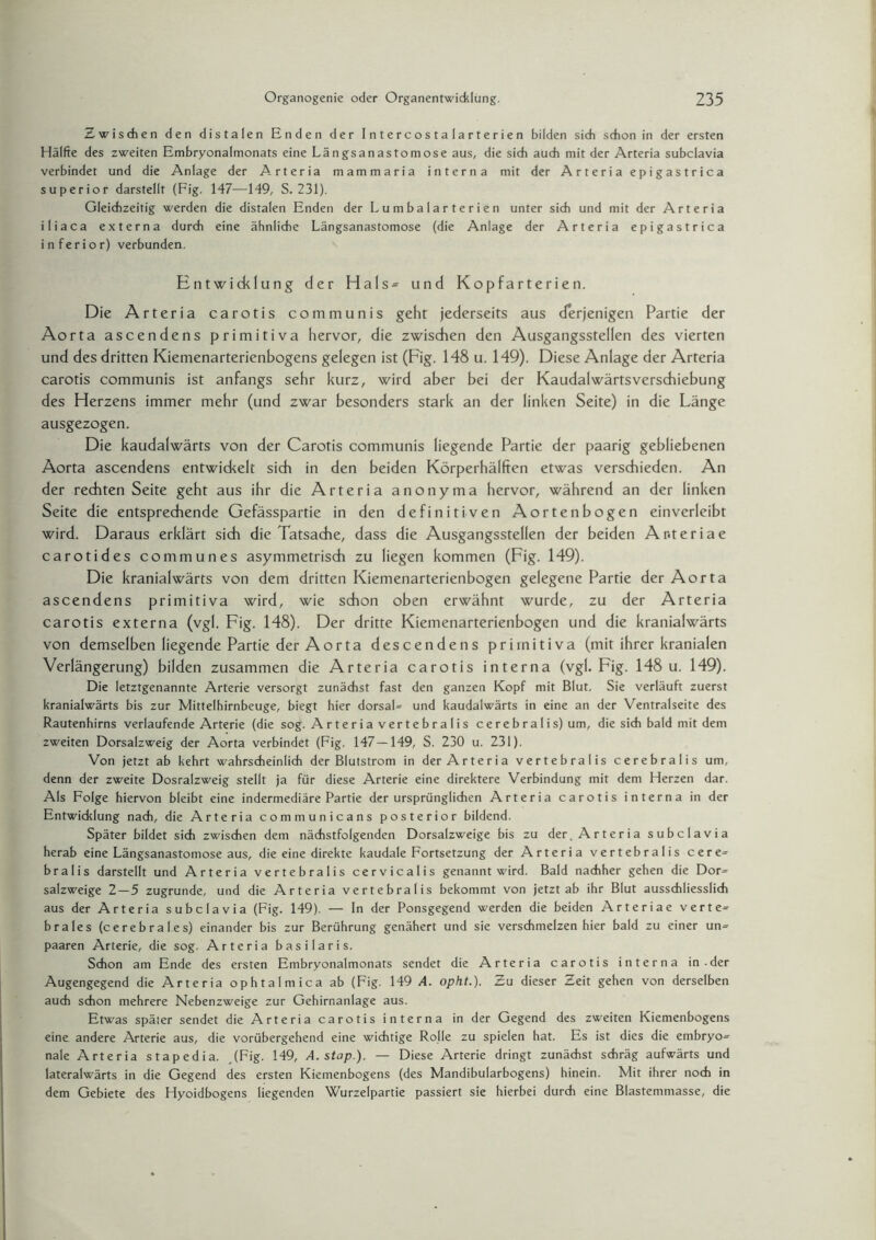 Zwischen den distalen Enden der Intercostalarterien bilden sich schon in der ersten Hälfte des zweiten Embryonalmonats eine Längsanastomose aus, die sich auch mit der Arteria subclavia verbindet und die Anlage der Arteria mammaria interna mit der Arteria epigastrica superior darstellt (Fig. 147—149, S. 231). Gleichzeitig werden die distalen Enden der Lumbalarterien unter sich und mit der Arteria iliaca externa durch eine ähnliche Längsanastomose (die Anlage der Arteria epigastrica inferior) verbunden. Entwicklung der Hals- und Kopfarterien. Die Arteria carotis communis geht jederseits aus derjenigen Partie der Aorta ascendens primitiva hervor, die zwischen den Ausgangsstellen des vierten und des dritten Kiemenarterienbogens gelegen ist (Fig. 148 u. 149). Diese Anlage der Arteria carotis communis ist anfangs sehr kurz, wird aber bei der Kaudalwärtsverschiebung des Herzens immer mehr (und zwar besonders stark an der linken Seite) in die Länge ausgezogen. Die kaudalwärts von der Carotis communis liegende Partie der paarig gebliebenen Aorta ascendens entwickelt sich in den beiden Körperhälften etwas verschieden. An der rechten Seite geht aus ihr die Arteria anonyma hervor, während an der linken Seite die entsprechende Gefässpartie in den definitiven Aortenbogen einverleibt wird. Daraus erklärt sich die Tatsache, dass die Ausgangsstellen der beiden Ar.teriae carotides communes asymmetrisch zu liegen kommen (Fig. 149). Die kranialwärts von dem dritten Kiemenarterienbogen gelegene Partie der Aorta ascendens primitiva wird, wie schon oben erwähnt wurde, zu der Arteria carotis externa (vgl. Fig. 148). Der dritte Kiemenarterienbogen und die kranialwärts von demselben liegende Partie der Aorta descendens primitiva (mit ihrer kranialen Verlängerung) bilden zusammen die Arteria carotis interna (vgl. Fig. 148 u. 149). Die letztgenannte Arterie versorgt zunächst fast den ganzen Kopf mit Blut. Sie verläuft zuerst kranialwärts bis zur Mittelhirnbeuge, biegt hier dorsal» und kaudalwärts in eine an der Ventralseite des Rautenhirns verlaufende Arterie (die sog. A r t e r i a v er t e b r a I i s cerebralis) um, die sich bald mit dem zweiten Dorsalzweig der Aorta verbindet (Fig. 147—149, S. 230 u. 231). Von jetzt ab kehrt wahrscheinlich der Blutstrom in der Arteria vertebralis cerebralis um, denn der zweite Dosralzweig stellt ja für diese Arterie eine direktere Verbindung mit dem Herzen dar. Als Folge hiervon bleibt eine indermediäre Partie der ursprünglichen Arteria carotis interna in der Entwicklung nach, die Arteria communicans posterior bildend. Später bildet sich zwischen dem nächstfolgenden Dorsalzweige bis zu der. Arteria subclavia herab eine Längsanastomose aus, die eine direkte kaudale Fortsetzung der Arteria vertebralis cere» bralis darstellt und Arteria vertebralis cervicalis genannt wird. Bald nachher gehen die Dor» salzweige 2—5 zugrunde, und die Arteria vertebralis bekommt von jetzt ab ihr Blut ausschliesslich aus der Arteria subclavia (Fig. 149). — In der Ponsgegend werden die beiden Arteriae verte» brales (cerebrales) einander bis zur Berührung genähert und sie verschmelzen hier bald zu einer un» paaren Arterie, die sog. Arteria basilaris. Schon am Ende des ersten Embryonalmonats sendet die Arteria carotis interna in-der Augengegend die Arteria ophtalmica ab (Fig. 149 A. opht.). Zu dieser Zeit gehen von derselben auch schon mehrere Nebenzweige zur Gehirnanlage aus. Etwas später sendet die Arteria carotis interna in der Gegend des zweiten Kiemenbogens eine andere Arterie aus, die vorübergehend eine wichtige Rolle zu spielen hat. Es ist dies die embryo» nale Arteria stapedia. .(Fig. 149, A. stap.). — Diese Arterie dringt zunächst schräg aufwärts und lateralwärts in die Gegend des ersten Kiemenbogens (des Mandibularbogens) hinein. Mit ihrer noch in dem Gebiete des Hyoidbogens liegenden Wurzelpartie passiert sie hierbei durch eine Blastemmasse, die