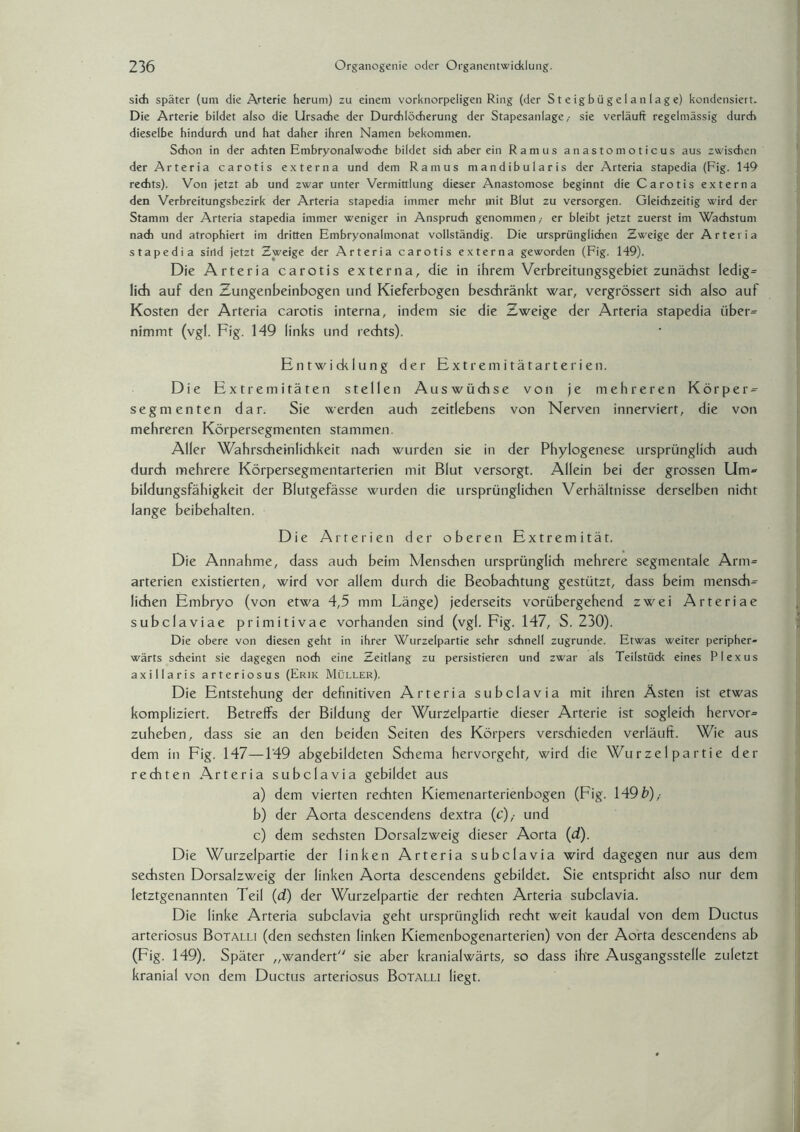sich später (um die Arterie herum) zu einem vorknorpeligen Ring (der Steigbügelanlage) kondensiert. Die Arterie bildet also die Ursache der Durchlöcherung der Stapesanlage; sie verläuft regelmässig durch dieselbe hindurch und hat daher ihren Namen bekommen. Schon in der achten Embryonalwoche bildet sich aber ein Ramus anastomoticus aus zwischen der Arteria carotis externa und dem Ramus mandibularis der Arteria stapedia (Fig. 149 rechts). Von jetzt ab und zwar unter Vermittlung dieser Anastomose beginnt die Carotis externa den Verbreitungsbezirk der Arteria stapedia immer mehr mit Blut zu versorgen. Gleichzeitig wird der Stamm der Arteria stapedia immer weniger in Anspruch genommen ,• er bleibt jetzt zuerst im Wachstum nach und atrophiert im dritten Embryonalmonat vollständig. Die ursprünglichen Zweige der Arteria stapedia siild jetzt Zweige der Arteria carotis externa geworden (Fig. 149). Die Arteria carotis externa, die in ihrem Verbreitungsgebiet zunächst ledig= lieb auf den Zungenbeinbogen und Kieferbogen beschränkt war, vergrössert sich also auf Kosten der Arteria carotis interna, indem sie die Zweige der Arteria stapedia über= nimmt (vgl. Fig. 149 links und rechts). Entwicklung der Extremitätarterien. Die Extremitäten stellen Auswüchse von je mehreren Körper¬ seg menten dar. Sie werden auch zeitlebens von Nerven innerviert, die von mehreren Körpersegmenten stammen. Aller Wahrscheinlichkeit nach wurden sie in der Phylogenese ursprünglich auch durch mehrere Körpersegmentarterien mit Blut versorgt. Allein bei der grossen Um«» bildungsfähigkeit der Blutgefässe wurden die ursprünglichen Verhältnisse derselben nicht lange beibehalten. Die Arterien der oberen Extremität. Die Annahme, dass auch beim Menschen ursprünglich mehrere segmentale Arm» arterien existierten, wird vor allem durch die Beobachtung gestützt, dass beim mensb» liehen Embryo (von etwa 4,5 mm Länge) jederseits vorübergehend zwei Arteriae subclaviae primitivae vorhanden sind (vgl. Fig. 147, S. 230). Die obere von diesen geht in ihrer Wurzelpartie sehr schnell zugrunde. Etwas weiter peripher- wärts scheint sie dagegen noch eine Zeitlang zu persistieren und zwar als Teilstüdc eines Plexus axillaris arteriosus (Erik Müller). Die Entstehung der definitiven Arteria subclavia mit ihren Ästen ist etwas kompliziert. Betreffs der Bildung der Wurzelpartie dieser Arterie ist sogleib hervor» zuheben, dass sie an den beiden Seiten des Körpers versbieden verläuft. Wie aus dem in Fig. 147—149 abgebildeten Sbema hervorgehr, wird die Wurzelpartie der rebten Arteria subclavia gebildet aus a) dem vierten rebten Kiemenarterienbogen (Fig. 149 b) ,■ b) der Aorta descendens dextra (c),- und c) dem sebsten Dorsalzweig dieser Aorta (d). Die Wurzelpartie der linken Arteria subclavia wird dagegen nur aus dem sebsten Dorsalzweig der linken Aorta descendens gebildet. Sie entspribt also nur dem letztgenannten Teil (d) der Wurzelpartie der rebten Arteria subclavia. Die linke Arteria subclavia geht ursprünglib rebt weit kaudal von dem Ductus arteriosus Botalli (den sebsten linken Kiemenbogenarterien) von der Aorta descendens ab (Fig. 149). Später „wandert sie aber kranialwärts, so dass ihre Ausgangsstelle zuletzt kranial von dem Ductus arteriosus Botalli liegt.