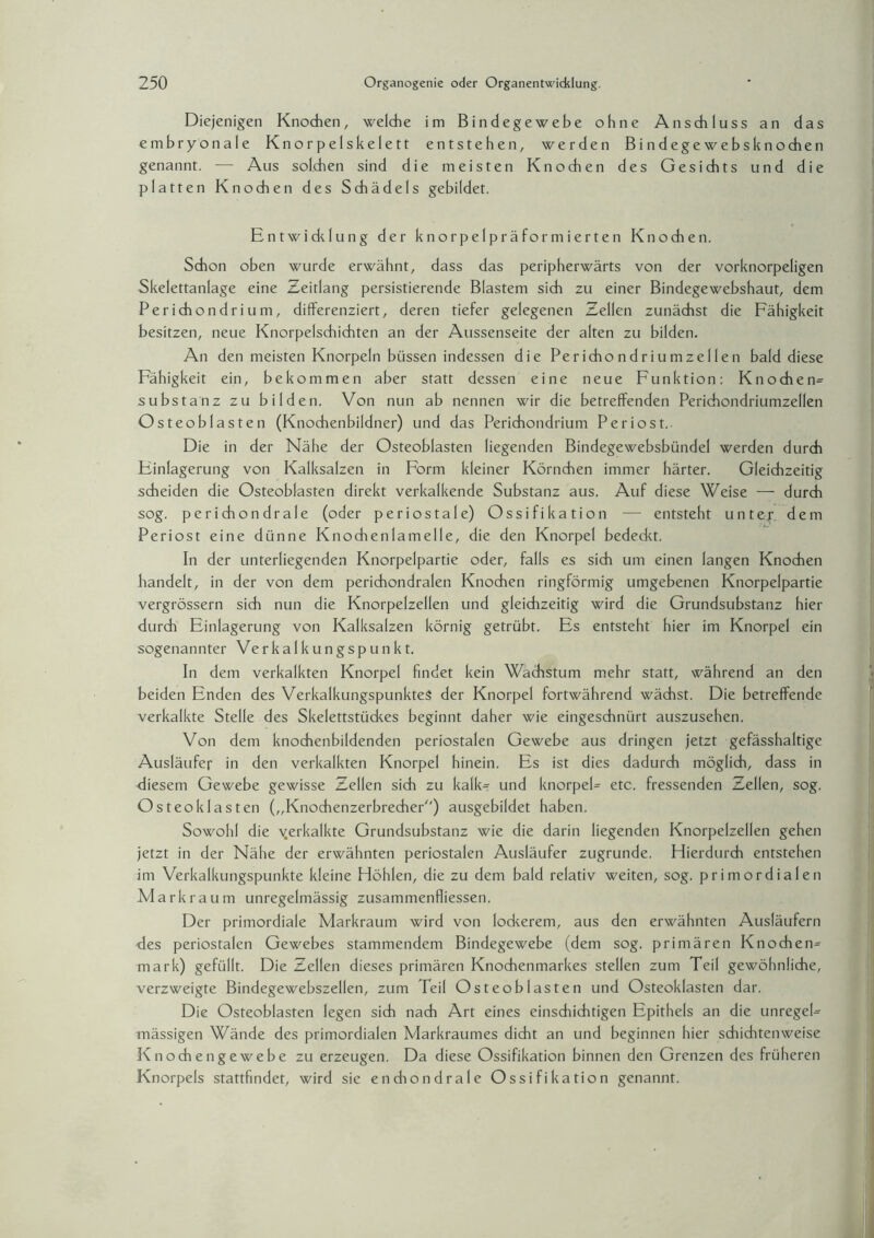 Diejenigen Knochen, welche im Bindegewebe ohne Anschluss an das embryonale Knorpelskelett entstehen, werden Bindegewebsknochen genannt. — Aus solchen sind die meisten Knochen des Gesichts und die platten Knochen des Schädels gebildet. Entwiddung der knorpelpräformierten Knochen. Schon oben wurde erwähnt, dass das peripherwärts von der vorknorpeligen Skelettanlage eine Zeitlang persistierende Blastem sich zu einer Bindegewebshaut, dem Perichondrium, differenziert, deren tiefer gelegenen Zellen zunächst die Fähigkeit besitzen, neue Knorpelschichten an der Aussenseite der alten zu bilden. An den meisten Knorpeln btissen indessen die Per icho ndriumze 11 en bald diese Fähigkeit ein, bekommen aber statt dessen eine neue Funktion: Knochen^ Substanz zu bilden. Von nun ab nennen wir die betreffenden Perichondriumzellen Osteoblasten (Knochenbildner) und das Perichondrium Periost.. Die in der Nähe der Osteoblasten liegenden Bindegewebsbündel werden durch Einlagerung von Kalksalzen in Form kleiner Körnchen immer härter. Gleichzeitig scheiden die Osteoblasten direkt verkalkende Substanz aus. Auf diese Weise — durch sog. perichondrale (oder periostale) Ossifikation — entsteht untejr. dem Periost eine dünne Knochenlamelle, die den Knorpel bededct. In der unterliegenden Knorpelpartie oder, falls es sich um einen langen Knochen handelt, in der von dem perichondralen Knochen ringförmig umgebenen Knorpelpartie vergrössern sich nun die Knorpelzellen und gleichzeitig wird die Grundsubstanz hier durch Einlagerung von Kalksalzen körnig getrübt. Es entsteht hier im Knorpel ein sogenannter Verkalkungspunkt. In dem verkalkten Knorpel findet kein Wachstum mehr statt, während an den beiden Enden des Verkalkungspunktes der Knorpel fortwährend wächst. Die betreffende verkalkte Stelle des Skelettstückes beginnt daher wie eingeschnürt auszusehen. Von dem knochenbildenden periostalen Gewebe aus dringen jetzt gefässhaltige Ausläufer in den verkalkten Knorpel hinein. Es ist dies dadurch möglich, dass in diesem Gewebe gewisse Zellen sich zu kalk? und knorpel- etc. fressenden Zellen, sog. Osteoklasten („Knochenzerbrecher) ausgebildet haben. Sowohl die yerkalkte Grundsubstanz wie die darin liegenden Knorpelzellen gehen jetzt in der Nähe der erwähnten periostalen Ausläufer zugrunde. Hierdurch entstehen im Verkalkungspunkte kleine Höhlen, die zu dem bald relativ weiten, sog. primordialen Mark raum unregelmässig Zusammenflüssen. Der primordiale Markraum wird von lodcerem, aus den erwähnten Ausläufern des periostalen Gewebes stammendem Bindegewebe (dem sog. primären Knoche n= mark) gefüllt. Die Zellen dieses primären Knochenmarkes stellen zum Teil gewöhnliche, verzweigte Bindegewebszellen, zum Teil Osteoblasten und Osteoklasten dar. Die Osteoblasten legen sich nach Art eines einsdiichtigen Epithels an die unregel¬ mässigen Wände des primordialen Markraumes dicht an und beginnen hier schiditenweise Knochengewebe zu erzeugen. Da diese Ossifikation binnen den Grenzen des früheren Knorpels stattfindet, wird sie enchondrale Ossifikation genannt.
