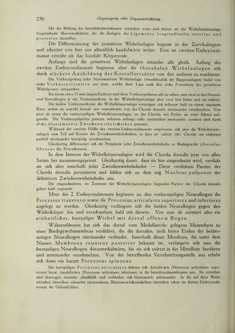 Mit der Bildung der Interdiskalmembranen entstehen vorn und hinten an der Wirbelsäulenanlage longitudinale Blastemschichten, die die Anlagen der Ligamenta longitudinalia anterius und posterius darstellen, Die Differenzierung der primitiven Wirbelanlagen beginnt in der Zervikalregion und schreitet von hier aus allmählich kaudalwärts weiter. Erst im zweiten EmbryonaU monat erreicht sie das kaudale Körperende. Anfangs sind die primitiven Wirbelanlagen einander alle gleich. Anfang des zweiten Embryonalmonats beginnen aber die thorakalen Wirbelanlagen sich durch stärkere Ausbildung der Kos tal fortsätze von den anderen zu markieren. Die Verknorpelung jeder blastematösen Wirbelanlage (einschliesslich der Rippenanlagen) findet von sechs Vorknorpelzentren aus statt, welche ihrer Lage nach den sechs Fortsätzen des primitiven Wirbelpaares entsprechen. Bei einem etwa 13 mm langen Embryo sind diese Vorknorpelkerne alle zu sehen, und zwar in den Neural- und Kostalbogen je ein Vorknorpelkern, in der Wirbelkörperanlage aber zwei (ein linker und ein rechter). Diebeiden Vorknorpelkerne der Wirbelkörperanlage vereinigen sich indessen bald zu einem unpaaren Kern, indem sie sowohl dorsal- wie ventralwärts von der Chorda dorsalis miteinander verschmelzen. Von jetzt ab sitzen die vorknorpeligen Wirbelkörperanlagen an der Chorda wie Perlen an einer Schnur auf- gereiht. Die Vorknorpelperlen grenzen indessen anfangs nicht unmittelbar aneinander, sondern sind durch •dicke blastematöse Zwischen wirbelscheiben getrennt. Während der zweiten Hälfte des zweiten Embryonalmonats vergrössern sich aber die Wirbelkörper¬ anlagen zum Teil auf Kosten der Zwischenwirbelscheiben, so dass sie zuletzt (der Chorda am nächsten) partiell miteinander knorpelig verschmelzen. Gleichzeitig differenziert sich die Peripherie jeder Zwischenwirbelscheibe zu Bindegewebe (Annulus fibrös us des Erwachsenen). In dem Inneren der Wirbelkörperanlagen wird die Chorda dorsalis jetzt von allen Seiten her zusammengepresst. Gleichzeitig damit, dass sie hier eingeschnürt wird, verdickt sie sich aber innerhalb jeder Zwischenwirbelscheibe. — Diese verdidcten Partien der Chorda dorsalis persistieren und bilden sich zu dem sog. Nucleus pulposus der definitiven Zwischenwirbelscheibe aus. Die eingesdhnürten, im Zentrum der Wirbelkörperanlagen liegenden Partien der Chorda dorsalis gehen bald zugrunde. Mitte des 2. Embryonalmonats beginnen an den vorknorpeligen Neuralbogen die Processus transversi sowie die Processus articulares superiores und inferiores angelegt zu werden. Gleichzeitig verlängern sich die beiden Neuralbogen gegen den Wirbelkörper hin und verschmelzen bald mit diesem. Von nun ab existiert also ein einheitlicher, knorpeliger Wirbel mit dorsal offenem Bogen. Währenddessen hat sich das dorsal vom Medullarrohr gelegene Mesenchym zu einer Bindegewebsmembran verdiditet, die die dorsalen, nodi freien Enden der beider^ seitigen Neuralbogen miteinander verbindet. Innerhalb dieser Membran, die unter dem Namen Membrana reuniens posterior bekannt ist, verlängern sich nun die knorpeligen Neuralbogen dorsomedialwärts, bis sie sich zuletzt in der Mittellinie berühren und miteinander verschmelzen. Von der betreffenden Verschmelzungsstelle aus erhebt sich dann ein kurzer Processus spinosus. Die knorpeligen Processus articulares dehnen sich dorsalwärts (Processus articulares supe¬ riores) bezw. kaudalwärts (Processus articulares inferiores) in die Interdorsalmembranen aus. Sie erreichen und überragen einander allmählich und verbinden sich blastematös miteinander. In die auf diese Weise zwischen denselben sekundär entstandenen Blastemzwisdienscheiben entstehen schon im dritten Embryonal» monat die Gelenkhöhlen.