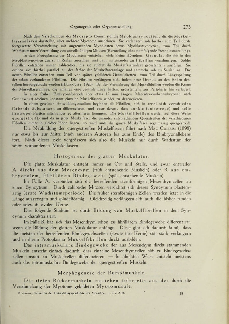 Nach dem Verschwinden der Myosepta können sich die Myoblastsyncytien, die die Muskel^ faseranlagen darstellen, über mehrere Myotome ausdehnen. Sie verlängern sich hierbei zum Teil durch fortgesetzte Verschmelzung mit angrenzenden Myoblasten bezw. Myoblastsyncytien, zum Teil durch Wachstum unter Vermittlung von unvollständigen Mitosen (Kernteilung ohne nachfolgende Protoplasmateilung). In dem Protoplasma der Myoblasten entstehen viele kleine Körnchen, Granula, die sich in den Myoblastsyncytien zuerst in Reihen anordnen und dann miteinander zu Fibrillen verschmelzen. Solche Fibrillen entstehen immer zahlreicher, bis sie zuletzt die Muskelfaseranlage grösstenteils ausfüllen. Sie ordnen sich hierbei parallel zu der Achse der Muskelfaseranlage und sammeln sich zu Säulen an. Die neuen Fibrillen entstehen zum Teil von später gebildeten Granulaketten, zum Teil durch Längsspaltung der schon vorhandenen Fibrillen. Die Fibrillen verlängern sich, indem neue Granula an den Enden der» selben hervorgebracht werden (Häggquist, 1920). Bei der Vermehrung der Muskelfibrillen werden die Kerne der Muskelfaseranlage, die anfangs eine zentrale Lage hatten, grösstenteils zur Peripherie hin verlagert. In einer frühen Embryonalperiode (bei etwa 12 mm langen Meerschweinchenembryonen nach Godlewski) scheinen konstant einzelne Muskelfasern wieder zu degenerieren. In einem gewissen Entwicklungsstadium beginnen die Fibrillen, sich in zwei sich verschieden färbende Substanzen zu differenzieren, und zwar derart, dass dunkle (anisotrope) und helle (isotrope) Partien miteinander zu alternieren kommen. Die Muskelfibrillen werden auf diese Weise quergestreift,- und da in jeder Muskelfaser die einander entsprechenden Querstreifen der verschiedenen Fibrillen immer in gleicher Höhe liegen, so wird auch die ganze Muskelfaser regelmässig quergestreift. Die Neubildung der quergestreiften Muskelfasern fährt nach Mac Callum (1898) nur etwa bis zur Mitte (nach anderen Autoren bis zum Ende) des Embryonallebens fort. Nach dieser Zeit vergrössern sich also die Muskeln nur durch Wachstum der schon vorhandenen Muskelfasern. Histogenese der glatten Muskulatur. Die glatte Muskulatur entsteht immer an Ort und Stelle, und zwar entweder A. direkt aus dem Mesenchym (früh entstehende Muskeln) oder B. aus em = bryonalem, fibrillärem Bindegewebe (spät entstehende Muskeln). Im Falle A. verbinden sich die betreffenden sternförmigen Mesenchymzellen zu einem Syncytium. Durch zahlreiche Mitosen verdichtet sich dieses Syncytium blastem= artig (erste Wachstumsperiode). Die früher sternförmigen Zellen werden jetzt in die Länge ausgezogen und spindelförmig. Gleichzeitig verlängern sich auch die bisher runden oder schwach ovalen Kerne. Das folgende Stadium ist durch Bildung von Muskelfibrillen in dem Syn= cytium charakterisiert. Im Falle B. hat sich das Mesenchym schon zu fibrillärem Bindegewebe differenziert, wenn die Bildung der glatten Muskulatur anfängt. Diese gibt sich dadurch kund, dass die meisten der betreffenden Bindegewebszellen (sowie ihre Kerne) sich stark verlängern und in ihrem Protoplasma Muskelfibrillen direkt ausbilden. Das intramuskuläre Bindegewebe der aus Mesenchym direkt stammenden Muskeln entsteht einfach dadurch, dass einzelne. Mesenchymzellen sich zu Bindegewebs^ zellen anstatt zu Muskelzellen differenzieren. — In ähnlicher Weise entsteht meistens auch das intramuskuläre Bindegewebe der quergestreiften Muskeln. Morphogenese der Rumpfmuskeln. Die tiefen Rückenmuskeln entstehen jederseits aus der durch die Verschmelzung der Myotome gebildeten Myotomsäule. Broman, Grundriss der Entwiddungsgeschidite des Mensdien. 1. u. 2. Aufl. 18
