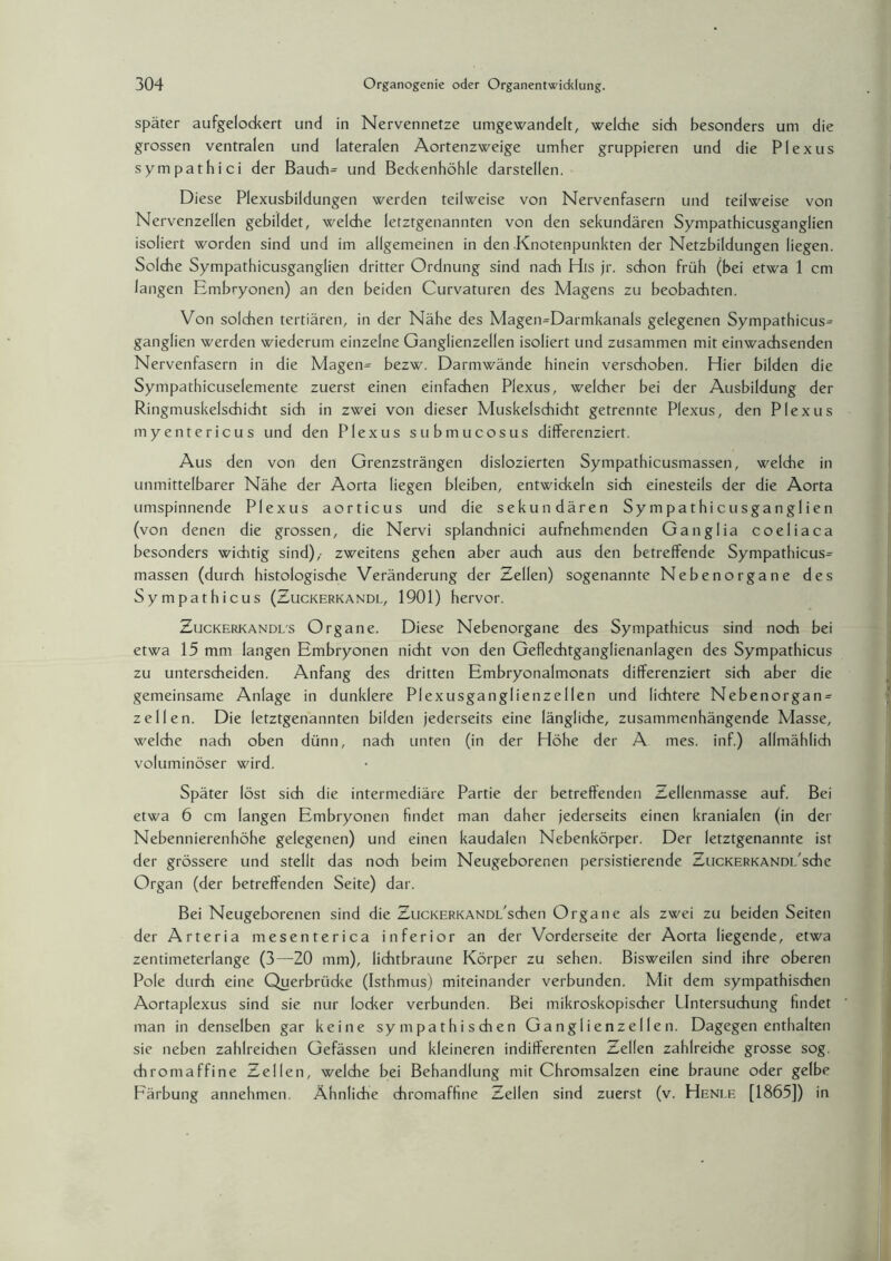 später aufgelockert und in Nervennetze umgewandelt, welche sich besonders um die grossen ventralen und lateralen Aortenzweige umher gruppieren und die Plexus sympathici der Bauch= und Beckenhöhle darstellen. Diese Plexusbildungen werden teilweise von Nervenfasern und teilweise von Nervenzellen gebildet, welche letztgenannten von den sekundären Sympathicusganglien isoliert worden sind und im allgemeinen in den Knotenpunkten der Netzbildungen liegen. Solche Sympathicusganglien dritter Ordnung sind nach His jr. schon früh (bei etwa 1 cm langen Embryonen) an den beiden Curvaturen des Magens zu beobachten. Von solchen tertiären, in der Nähe des Magen=Darmkanals gelegenen Sympathicus^ ganglien werden wiederum einzelne Ganglienzellen isoliert und zusammen mit einwachsenden Nervenfasern in die Magen= bezw. Darmwände hinein verschoben. Hier bilden die Sympathicuselemente zuerst einen einfachen Plexus, welcher bei der Ausbildung der Ringmuskelschicht sich in zwei von dieser Muskelschicht getrennte Plexus, den Plexus myentericus und den Plexus submucosus differenziert. Aus den von den Grenzsträngen dislozierten Sympathicusmassen, welche in unmittelbarer Nähe der Aorta liegen bleiben, entwickeln sich einesteils der die Aorta umspinnende Plexus aorticus und die sekundären Sympathicusganglien (von denen die grossen, die Nervi splanchnici aufnehmenden Ganglia coeliaca besonders wichtig sind),- zweitens gehen aber auch aus den betreffende Sympathicus^ massen (durch histologische Veränderung der Zellen) sogenannte Nebenorgane des Sympathicus (Zuckerkandl, 1901) hervor. Zuckerkandl'S Organe. Diese Nebenorgane des Sympathicus sind noch bei etwa 15 mm langen Embryonen nicht von den Geflechtganglienanlagen des Sympathicus zu unterscheiden. Anfang des dritten Embryonalmonats differenziert sich aber die gemeinsame Anlage in dunklere Plexusganglienzellen und lichtere Nebenorgan = zellen. Die letztgenannten bilden jederseits eine längliche, zusammenhängende Masse, welche nach oben dünn, nach unten (in der Höhe der A mes. inf.) allmählich voluminöser wird. Später löst sich die intermediäre Partie der betreffenden Zellenmasse auf. Bei etwa 6 cm langen Embryonen findet man daher jederseits einen kranialen (in der Nebennierenhöhe gelegenen) und einen kaudalen Nebenkörper. Der letztgenannte ist der grössere und stellt das noch beim Neugeborenen persistierende ZucKERKANDi/sche Organ (der betreffenden Seite) dar. Bei Neugeborenen sind die ZucKERKANDt/schen Organe als zwei zu beiden Seiten der Arteria mesenterica inferior an der Vorderseite der Aorta liegende, etwa zentimeterlange (3—20 mm), lichtbraune Körper zu sehen. Bisweilen sind ihre oberen Pole durch eine Querbrücke (Isthmus) miteinander verbunden. Mit dem sympathischen Aortaplexus sind sie nur locker verbunden. Bei mikroskopischer Untersuchung findet man in denselben gar keine sympathischen Ganglienzellen. Dagegen enthalten sie neben zahlreichen Gefässen und kleineren indifferenten Zellen zahlreiche grosse sog. chromaffine Zellen, welche bei Behandlung mit Chromsalzen eine braune oder gelbe Färbung annehmen. Ähnliche chromaffine Zellen sind zuerst (v. Heni.e [1865]) in