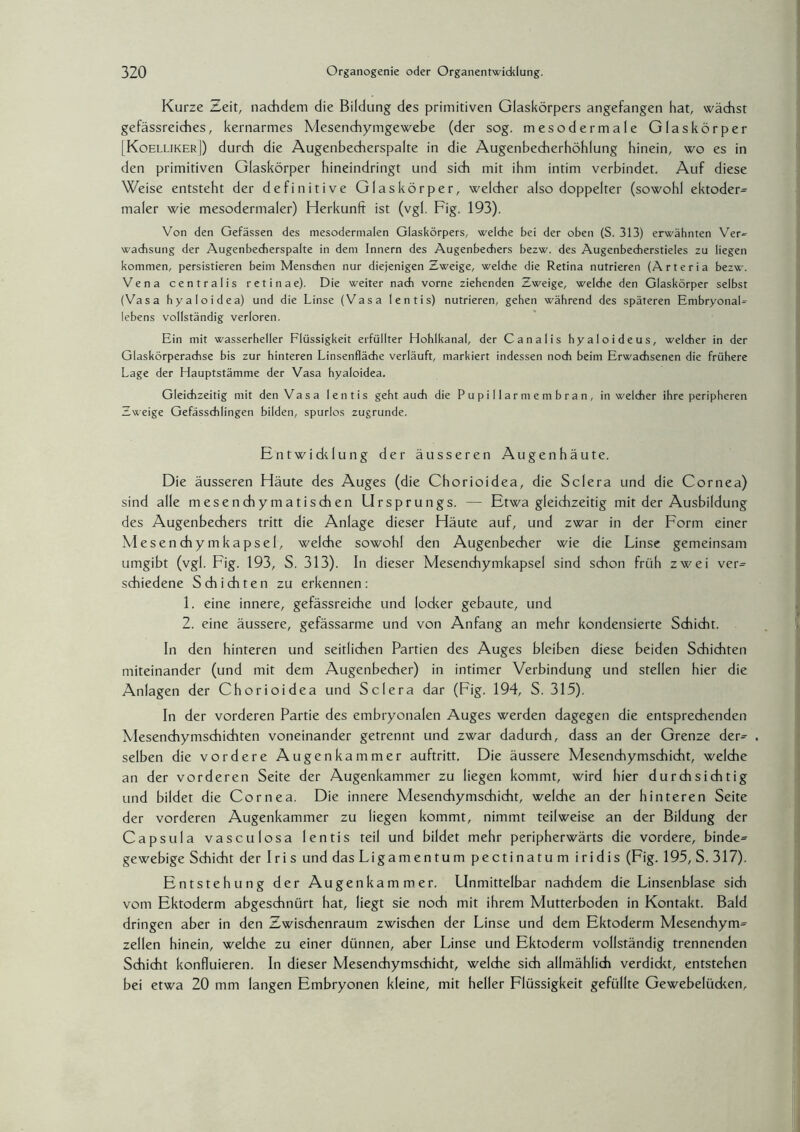 Kurze Zeit, nachdem die Bildung des primitiven Glaskörpers angefangen hat, wächst gefässreiches, kernarmes Mesenchymgewebe (der sog. mesodermale Glaskörper [Koelliker]) durch die Augenbecherspalte in die Augenbecherhöhlung hinein, wo es in den primitiven Glaskörper hineindringt und sich mit ihm intim verbindet. Auf diese Weise entsteht der definitive Glaskörper, welcher also doppelter (sowohl ektoder= maler wie mesodermaler) Herkunft ist (vgl. Fig. 193). Von den Gefässen des mesodermalen Glaskörpers, weldie bei der oben (S. 313) erwähnten Ver~ wadisung der Augenbedierspalte in dem Innern des Augenbediers bezw. des Augenbecherstieles zu liegen kommen, persistieren beim Menschen nur diejenigen Zweige, welche die Retina nutrieren (Arteria bezw. Vena centralis retinae). Die weiter nach vorne ziehenden Zweige, welche den Glaskörper selbst (Vasa hyaloidea) und die Linse (Vasa lentis) nutrieren, gehen während des späteren EmbryonaL lebens vollständig verloren. Ein mit wasserheller Flüssigkeit erfüllter Hohlkanal, der Canalis hyaloideus, welcher in der Glaskörperachse bis zur hinteren Linsenfläche verläuft, markiert indessen noch beim Erwachsenen die frühere Lage der Hauptstämme der Vasa hyaloidea. Gleichzeitig mit den Vasa lentis gehtauch die Pupillarmembran, in welcher ihre peripheren Zweige Gefässchlingen bilden, spurlos zugrunde. Entwicklung der äusseren Augenhäute. Die äusseren Häute des Auges (die Chorioidea, die Sclera und die Cornea) sind alle mesenchymatischen Ursprungs. — Etwa gleichzeitig mit der Ausbildung des Augenbechers tritt die Anlage dieser Häute auf, und zwar in der Form einer Mesenchymkapsel, welche sowohl den Augenbecher wie die Linse gemeinsam umgibt (vgl. Fig. 193, S. 313). In dieser Mesenchymkapsel sind schon früh zwei ver= schiedene Schichten zu erkennen: 1. eine innere, gefässreiche und lodcer gebaute, und 2. eine äussere, gefässarme und von Anfang an mehr kondensierte Schicht. In den hinteren und seitlichen Partien des Auges bleiben diese beiden Schichten miteinander (und mit dem Augenbecher) in intimer Verbindung und stellen hier die Anlagen der Chorioidea und Sclera dar (Fig. 194, S. 315). In der vorderen Partie des embryonalen Auges werden dagegen die entsprechenden Mesenchymschichten voneinander getrennt und zwar dadurch, dass an der Grenze der- , selben die vordere Augenkammer auftritt. Die äussere Mesenchymschicht, welche an der vorderen Seite der Augenkammer zu liegen kommt, wird hier durchsichtig und bildet die Cornea. Die innere Mesenchymschicht, welche an der hinteren Seite der vorderen Augenkammer zu liegen kommt, nimmt teilweise an der Bildung der Capsula vasculosa lentis teil und bildet mehr peripherwärts die vordere, binde= gewebige Schicht der Iris und das Ligamentum pectinatum iridis (Fig. 195, S. 317). Entstehung der Augenkammer. LInmittelbar nachdem die Linsenblase sich vom Ektoderm abgeschnürt hat, liegt sie noch mit ihrem Mutterboden in Kontakt. Bald dringen aber in den Zwischenraum zwischen der Linse und dem Ektoderm Mesenchym^ zellen hinein, welche zu einer dünnen, aber Linse und Ektoderm vollständig trennenden Schicht konfluieren. In dieser Mesenchymschicht, welche sich allmählich verdickt, entstehen bei etwa 20 mm langen Embryonen kleine, mit heller Flüssigkeit gefüllte Gewebelücken,