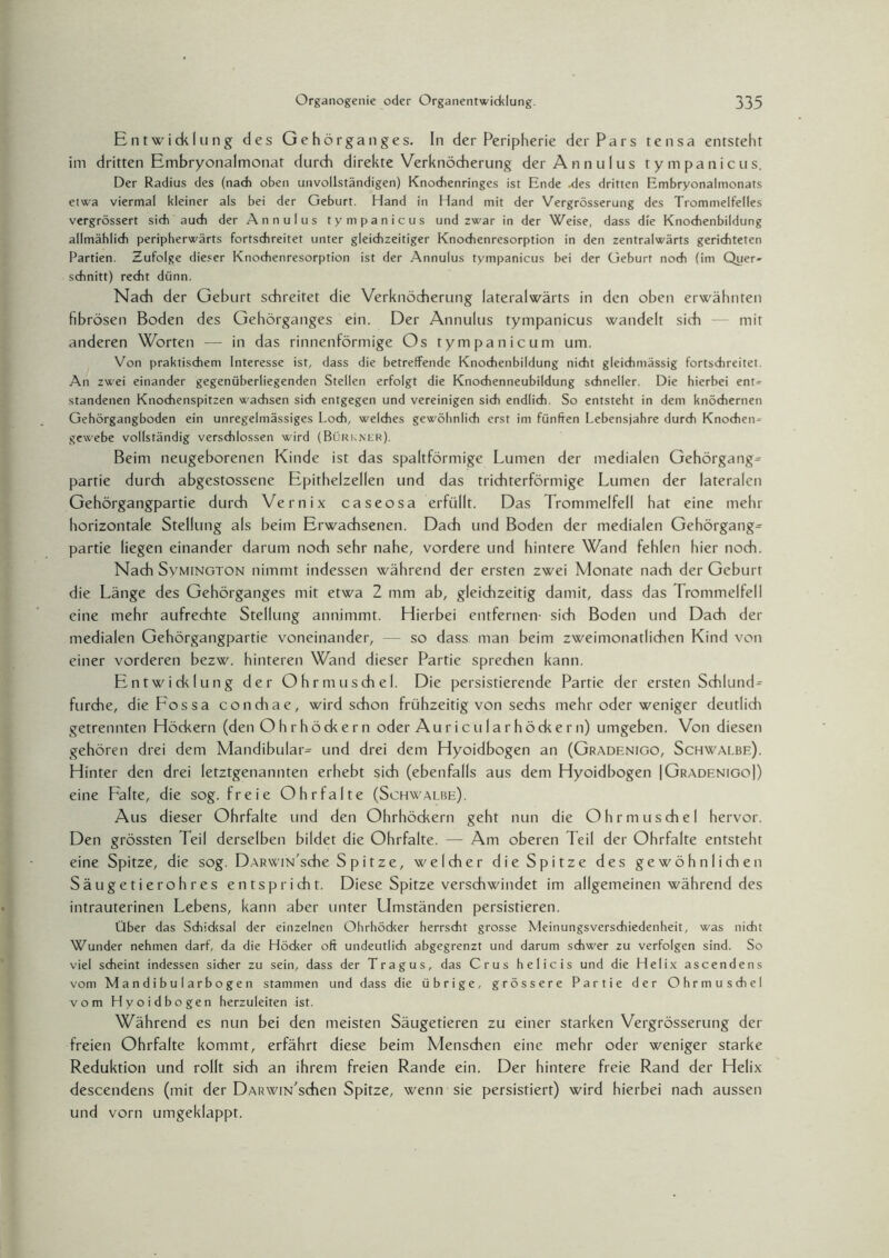 Entwicklung des Gehörganges. In der Peripherie der Pars tensa entsteht im dritten Embryonalmonat durch direkte Verknöcherung der Annulus tympanicus. Der Radius des (nach oben unvollständigen) Knochenringes ist Ende -des dritten Embryonalmonats etwa viermal kleiner als bei der Geburt. Hand in Hand mit der Vergrösserung des Trommelfelles vergrössert sich auch der Annulus tympanicus und zwar in der Weise, dass die Knochenbildung allmählich peripherwärts fortschreitet unter gleichzeitiger Knochenresorption in den zentralwärts gerichteten Partien. Zufolge dieser Knochenresorption ist der Annulus tympanicus bei der Geburt noch (im Quer» schnitt) recht dünn. Nach der Geburt schreitet die Verknöcherung (ateralwärts in den oben erwähnten fibrösen Boden des Gehörganges ein. Der Annulus tympanicus wandelt sich mit anderen Worten — in das rinnenförmige Os tympanicum um. Von praktischem Interesse ist, dass die betreffende Knochenbildung nicht gleichmässig fortschreitet. An zwei einander gegenüberliegenden Stellen erfolgt die Knochenneubildung schneller. Die hierbei ent= standenen Knochenspitzen wachsen sich entgegen und vereinigen sich endlich. So entsteht in dem knöchernen Gehörgangboden ein unregelmässiges Loch, welches gewöhnlich erst im fünften Lebensjahre durch Knochen^ gewebe vollständig verschlossen wird (Bükkner). Beim neugeborenen Kinde ist das spaltförmige Lumen der medialen Gehörgang= partie durch abgestossene Epithelzellen und das trichterförmige Lumen der lateralen Gehörgangpartie durch Vernix caseosa erfüllt. Das Trommelfell hat eine mehr horizontale Stellung als beim Erwachsenen. Dach und Boden der medialen Gehörgang= partie liegen einander darum noch sehr nahe, vordere und hintere Wand fehlen hier noch. Nach Svmington nimmt indessen während der ersten zwei Monate nach der Geburt die Länge des Gehörganges mit etwa 2 mm ab, gleichzeitig damit, dass das Trommelfell eine mehr aufrechte Stellung annimmt. Hierbei entfernen- sich Boden und Dach der medialen Gehörgangpartie voneinander, — so dass man beim zweimonatlichen Kind von einer vorderen bezw. hinteren Wand dieser Partie sprechen kann. Entwicklung der Ohrmuschel. Die persistierende Partie der ersten Schlund= furche, dieFossa conchae, wird schon frühzeitig von sechs mehr oder weniger deutlich getrennten Höckern (den Ohrhöckern oder Auricularhöckern) umgeben. Von diesen gehören drei dem Mandibular^ und drei dem Hyoidbogen an (Gradenigo, Schwalbe). Hinter den drei letztgenannten erhebt sich (ebenfalls aus dem Hyoidbogen |Gradenigo]) eine Falte, die sog. freie Ohrfalte (Schwalbe). Aus dieser Ohrfalte und den Ohrhöckern geht nun die Ohrmuschel hervor. Den grössten Teil derselben bildet die Ohrfalte. — Am oberen Teil der Ohrfalte entsteht eine Spitze, die sog. DARWiN'sche Spitze, welcher die Spitze des gewöhnlichen Säugetieroh res entspricht. Diese Spitze verschwindet im allgemeinen während des intrauterinen Lebens, kann aber unter LImständen persistieren. Über das Schidcsal der einzelnen Ohrhödcer herrscht grosse Meinungsverschiedenheit, was nicht Wunder nehmen darf, da die Höcker oft undeutlich abgegrenzt und darum schwer zu verfolgen sind. So viel scheint indessen sicher zu sein, dass der Tragus, das Crus helicis und die Helix ascendens vom Mandibularbogen stammen und dass die übrige, grössere Partie der Ohrmuschel vom Hyoidbogen herzuleiten ist. Während es nun bei den meisten Säugetieren zu einer starken Vergrösserung der freien Ohrfalte kommt, erfährt diese beim Menschen eine mehr oder weniger starke Reduktion und rollt sich an ihrem freien Rande ein. Der hintere freie Rand der Helix descendens (mit der DARWiN'schen Spitze, wenn sie persistiert) wird hierbei nach aussen und vorn umgeklappt.