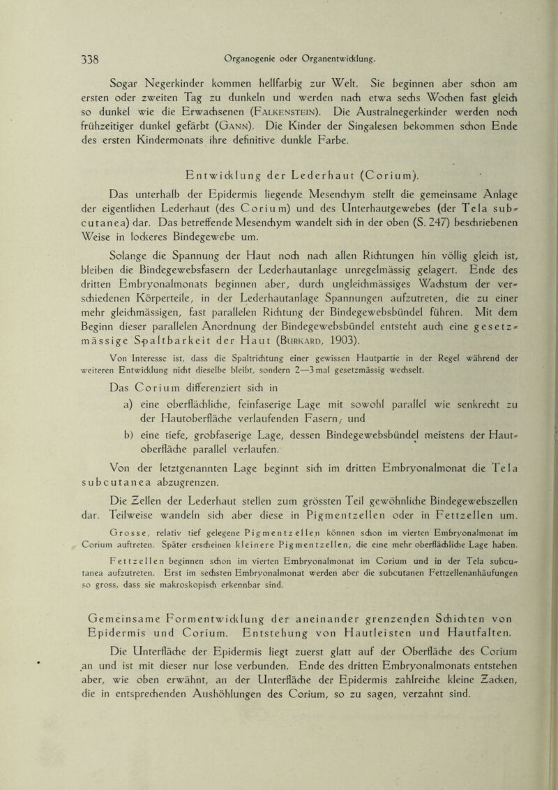 Sogar Negerkinder kommen hellfarbig zur Welt. Sie beginnen aber schon am ersten oder zweiten Tag zu dunkeln und werden nach etwa sechs Wochen fast gleich so dunkel wie die Erwachsenen (Falkenstein). Die Australnegerkinder werden noch frühzeitiger dunkel gefärbt (Gann). Die Kinder der Singalesen bekommen schon Ende des ersten Kindermonats ihre definitive dunkle Farbe. Entwicklung der Lederhaut (Corium). Das unterhalb der Epidermis liegende Mesenchym stellt die gemeinsame Anlage der eigentlichen Lederhaut (des Corium) und des Unterhautgewebes (der Tela sub = cutanea) dar. Das betreffende Mesenchym wandelt sich in der oben (S. 247) beschriebenen Weise in lockeres Bindegewebe um. Solange die Spannung der Haut noch nach allen Richtungen hin völlig gleich ist, bleiben die Bindegewebsfasern der Lederhautanlage unregelmässig gelagert. Ende des dritten Embryonalmonats beginnen aber, durch ungleichmässiges Wachstum der ver= schiedenen Körperteile, in der Lederhautanlage Spannungen aufzutreten, die zu einer mehr gleichmässigen, fast parallelen Richtung der Bindegewebsbtindel führen. Mit dem Beginn dieser parallelen Anordnung der Bindegewebsbündel entsteht auch eine gesetzt mässige Spaltbarkeit der Haut (Burkard, 1903). Von Interesse ist, dass die Spaltrichtung einer gewissen Hautpartie in der Regel während der weiteren Entwicklung nicht dieselbe bleibt, sondern 2—3 mal gesetzmässig wechselt. Das Corium differenziert sich in a) eine oberflächliche, feinfaserige Lage mit sowohl parallel wie senkrecht zu der Hautoberfläche verlaufenden Fasern,- und b) eine tiefe, grobfaserige Lage, dessen Bindegewebsbündel meistens der Haut¬ oberfläche parallel verlaufen. Von der letztgenannten Lage beginnt sich im dritten Embryonalmonat die Tela subcutanea abzugrenzen. Die Zellen der Lederhaut stellen zum grössten Teil gewöhnliche Bindegewebszellen dar. Teilweise wandeln sich aber diese in Pigmentzellen oder in Fettzellen um. Grosse, relativ tief gelegene Pigmentzellen können schon im vierten Embryonalmonat im Corium auftreten. Später erscheinen kleinere Pig men tzellen, die eine mehr oberflächliche Lage haben. Fettzellen beginnen schon im vierten Embryonalmonat im Corium und in der Tela subcu= tanea aufzutreten. Erst im sechsten Embryonalmonat werden aber die subcutanen Fettzellenanhäufungen so gross, dass sie makroskopisch erkennbar sind. Gemeinsame Formentwicklung der aneinander grenzenden Schichten von Epidermis und Corium. Entstehung von Hautleisten und Hautfalten. Die llnterfläche der Epidermis liegt zuerst glatt auf der Oberfläche des Corium an und ist mit dieser nur lose verbunden. Ende des dritten Embryonalmonats entstehen aber, wie oben erwähnt, an der Llnterfläche der Epidermis zahlreiche kleine Zacken, die in entsprechenden Aushöhlungen des Corium, so zu sagen, verzahnt sind.