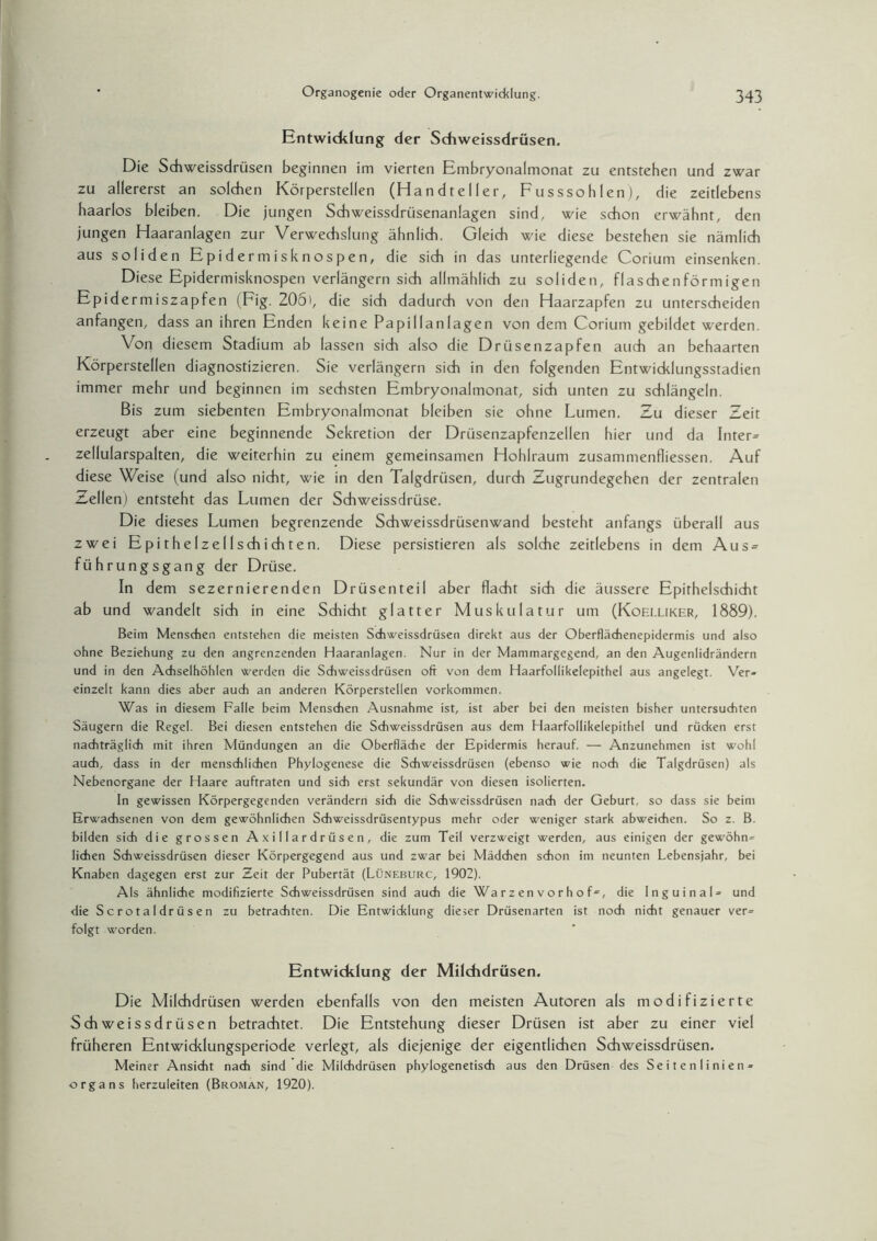 Entwicklung der Schweissdrüsen. Die Schweissdrüsen beginnen im vierten Embryonalmonat zu entstehen und zwar zu allererst an solchen Körperstellen (Handteller, Fusssohlen), die zeitlebens haarlos bleiben. Die jungen Schweissdrüsenanlagen sind, wie schon erwähnt, den jungen Haaranlagen zur Verwechslung ähnlich. Gleich wie diese bestehen sie nämlich aus soliden Epidermis knospen, die sich in das unterliegende Corium einsenken. Diese Epidermisknospen verlängern sich allmählich zu soliden, flaschenförmigen Epidermiszapfen (Fig. 205', die sich dadurch von den Haarzapfen zu unterscheiden anfangen, dass an ihren Enden keine Papillanlagen von dem Corium gebildet werden. Von diesem Stadium ab lassen sich also die Drüsenzapfen auch an behaarten Körperstellen diagnostizieren. Sie verlängern sich in den folgenden Entwicklungsstadien immer mehr und beginnen im sechsten Embryonalmonat, sich unten zu schlängeln. Bis zum siebenten Embryonalmonat bleiben sie ohne Lumen. Zu dieser Zeit erzeugt aber eine beginnende Sekretion der Drüsenzapfenzellen hier und da Inter- zellularspalten, die weiterhin zu einem gemeinsamen Hohlraum zusammenfliessen. Auf diese Weise (und also nicht, wie in den Talgdrüsen, durch Zugrundegehen der zentralen Zellen) entsteht das Lumen der Schweissdrüse. Die dieses Lumen begrenzende Schweissdrüsenwand besteht anfangs überall aus zwei Epithelzellschichten. Diese persistieren als solche zeitlebens in dem Aus = führungsgang der Drüse. In dem sezernierenden Drüsenteil aber flacht sich die äussere Epirhelschicht ab und wandelt sich in eine Sdiicht glatter Muskulatur um (Koelliker, 1889). Beim Menschen entstehen die meisten Schweissdrüsen direkt aus der Oberflächenepidermis und also ohne Beziehung zu den angrenzenden Haaranlagen. Nur in der Mammargegend, an den Augenlidrändern und in den Achselhöhlen werden die Schweissdrüsen oft von dem Haarfollikelepithel aus angelegt. Ver¬ einzelt kann dies aber auch an anderen Körperstellen Vorkommen. Was in diesem Falle beim Menschen Ausnahme ist, ist aber bei den meisten bisher untersuchten Säugern die Regel. Bei diesen entstehen die Schweissdrüsen aus dem Haarfollikelepithel und rücken erst nachträglich mit ihren Mündungen an die Oberfläche der Epidermis herauf. — Anzunehmen ist wohl auch, dass in der menschlichen Phylogenese die Schweissdrüsen (ebenso wie noch die Talgdrüsen) als Nebenorgane der Haare auftraten und sich erst sekundär von diesen isolierten. In gewissen Körpergegenden verändern sich die Schweissdrüsen nach der Geburt, so dass sie beim Erwachsenen von dem gewöhnlichen Schweissdrüsentypus mehr oder weniger stark abweichen. So z. B. bilden sich die grossen Axillardrüsen, die zum Teil verzweigt werden, aus einigen der gewöhn¬ lichen Schweissdrüsen dieser Körpergegend aus und zwar bei Mädchen schon im neunten Lebensjahr, bei Knaben dagegen erst zur Zeit der Pubertät (Lünf.burc, 1902). Als ähnliche modifizierte Schweissdrüsen sind auch die Warzenvorhof', die Inguinal- und die Scrotaldrüsen zu betrachten. Die Entwicklung dieser Drüsenarten ist noch nicht genauer ver¬ folgt worden. Entwicklung der Milchdrüsen. Die Milchdrüsen werden ebenfalls von den meisten Autoren als modifizierte Schweissdrüsen betrachtet. Die Entstehung dieser Drüsen ist aber zu einer viel früheren Entwicklungsperiode verlegt, als diejenige der eigentlichen Schweissdrüsen. Meiner Ansicht nach sind die Milchdrüsen phylogenetisch aus den Drüsen des Seitenlinie n - organs herzuleiten (Broman, 1920).