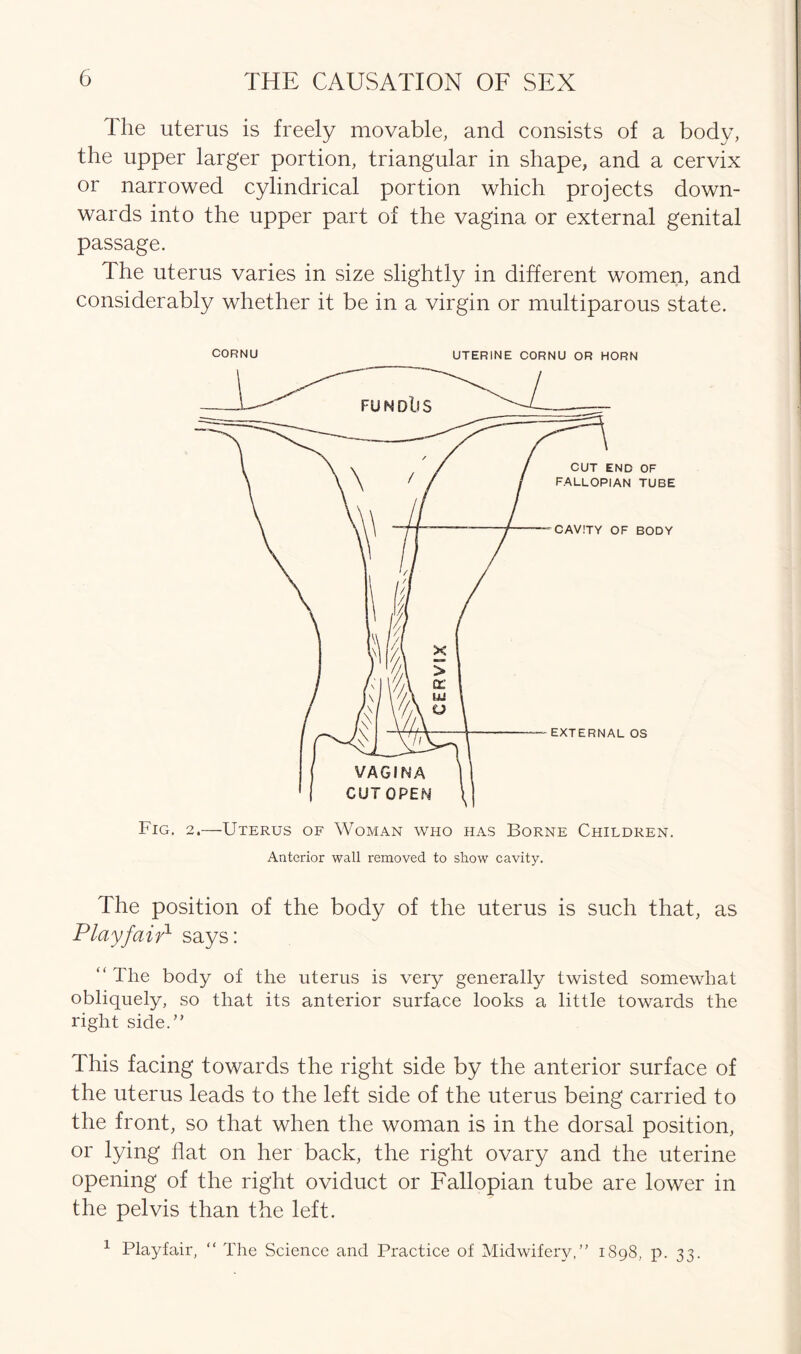 The uterus is freely movable, and consists of a body, the upper larger portion, triangular in shape, and a cervix or narrowed cylindrical portion which projects down- wards into the upper part of the vagina or external genital passage. The uterus varies in size slightly in different women, and considerably whether it be in a virgin or multiparous state. CORNU UTERINE CORNU OR HORN Fig. 2.—Uterus of Woman who has Borne Children. Anterior wall removed to show cavity. The position of the body of the uterus is such that, as Playfair1 says: “ The body of the uterus is very generally twisted somewhat obliquely, so that its anterior surface looks a little towards the right side.” This facing towards the right side by the anterior surface of the uterus leads to the left side of the uterus being carried to the front, so that when the woman is in the dorsal position, or lying flat on her back, the right ovary and the uterine opening of the right oviduct or Fallopian tube are lower in the pelvis than the left. 1 Playfair, “ The Science and Practice of Midwifery,” 1898, p. 33.