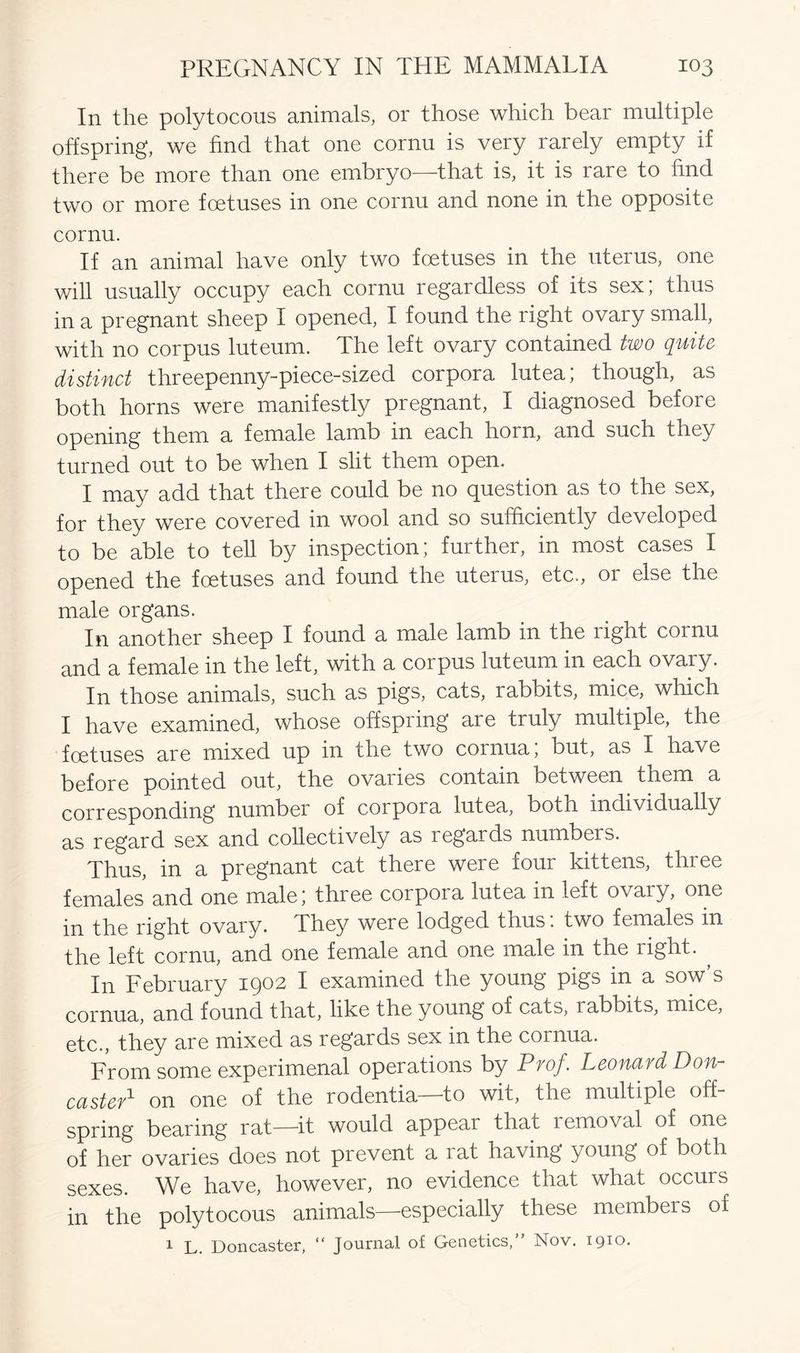 In the polytocous animals, or those which bear multiple offspring, we find that one cornu is very rarely empty if there be more than one embryo—that is, it is rare to find two or more foetuses in one cornu and none in the opposite cornu. If an animal have only two foetuses in the uterus, one will usually occupy each cornu regardless of its sex; thus in a pregnant sheep I opened, I found the right ovary small, with no corpus luteum. The left ovary contained two quite distinct threepenny-piece-sized corpora lutea; though, as both horns were manifestly pregnant, I diagnosed before opening them a female lamb in each horn, and such they turned out to be when I slit them open. I may add that there could be no question as to the sex, for they were covered in wool and so sufficiently developed to be able to tell by inspection; further, in most cases I opened the foetuses and found the uterus, etc., or else the male organs. In another sheep I found a male lamb in the light coinu and a female in the left, with a corpus luteum in each ovary. In those animals, such as pigs, cats, rabbits, mice, which I have examined, whose offspring are truly multiple, the foetuses are mixed up in the two cornua; but, as I have before pointed out, the ovaries contain between them a corresponding number of corpora lutea, both individually as regard sex and collectively as regards numbeis. Thus, in a pregnant cat there were four kittens, three females and one male; three corpora lutea in left ovary, one in the right ovary. They were lodged thus: two females in the left cornu, and one female and one male in the right. In February 1902 I examined the young pigs in a sow’s cornua, and found that, like the young of cats, rabbits, mice, etc., they are mixed as regards sex in the cornua. From some experimenal operations by Prof. Leonard Don- caster1 on one of the rodentia to wit, the multiple off- spring bearing rat—-it would appeal that 1 emoval of one of her ovaries does not prevent a rat having young of both sexes. We have, however, no evidence that what occurs in the polytocous animals—especially these members of 1 L. Doncaster, “ Journal of Genetics,” Nov. 1910.