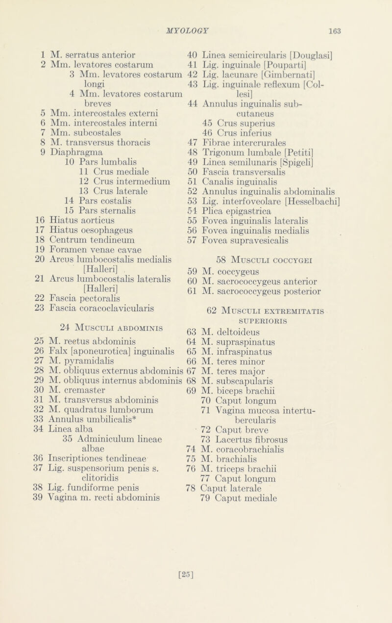 1 M. serratus anterior 2 Mm. levatores costarum 3 Mm. levatores costarum longi 4 Mm. levatores costarum breves 5 Mm. .intercostales externi 6 Mm. intercostales interni 7 Mm. subcostales 8 M. transversus thoracis 9 Diaphragma 10 Pars lumbalis 11 Crus mediale 12 Crus intermedium 13 Crus laterale 14 Pars costalis 15 Pars sternalis 16 Hiatus aorticus 17 Hiatus oesophageus 18 Centrum tendineum 19 Foramen venae cavae 20 Arcus lumbocostalis medialis [Halleri] . 21 Arcus lumbocostalis lateralis [Halleri] 22 Fascia pectoralis 23 Fascia coracoclavicularis 24 Musculi abdominis 25 M. rectus abdominis 26 Falx [aponeurotica] inguinalis 27 M. pyramidalis 28 M. obliquus externus abdominis 29 M. obliquus interims abdominis 30 M. cremaster 31 M. transversus abdominis 32 M. quadratus lumborum 33 Annulus umbilicalis* 34 Linea alba 35 Adminiculum lineae albae 36 Inscriptiones tendineae 37 Lig. suspensorium penis s. clitoridis 38 Lig. fundiforme penis 39 Vagina m. recti abdominis Linea semicircularis [Douglasi] Lig. inguinale [Pouparti] Lig. lacunare [Gimbernati] Lig. inguinale reflexum [Col- lesi] Annulus inguinalis sub- cutaneus 45 Crus superius 46 Crus inferius Fibrae intercrurales Trigonum lumbale [Petiti] Linea semilunaris [Spigeli] Fascia transversalis Canalis inguinalis Annulus inguinalis abdominalis Lig. interfoveolare [Hesselbachi] Plica epigastrica Fovea inguinalis lateralis Fovea inguinalis medialis Fovea supravesicalis 58 Musculi coccygei M. coccygeus M. sacrococcygeus anterior M. sacrococcygeus posterior 62 Musculi extremitatis superioris M. deltoideus M. supraspinatus M. infraspinatus M. teres minor M. teres major M. subscapularis M. biceps brachii 70 Caput longum 71 Vagina mucosa intertu- bercularis 72 Caput breve 73 Lacertus fibrosus M. coracobrachialis M. brachial is M. triceps brachii 77 Caput longum Caput laterale 79 Caput mediale 40 41 42 43 44 47 48 49 50 51 52 53 54 55 56 57 59 60 61 63 64 65 66 67 68 69 74 75 76 78