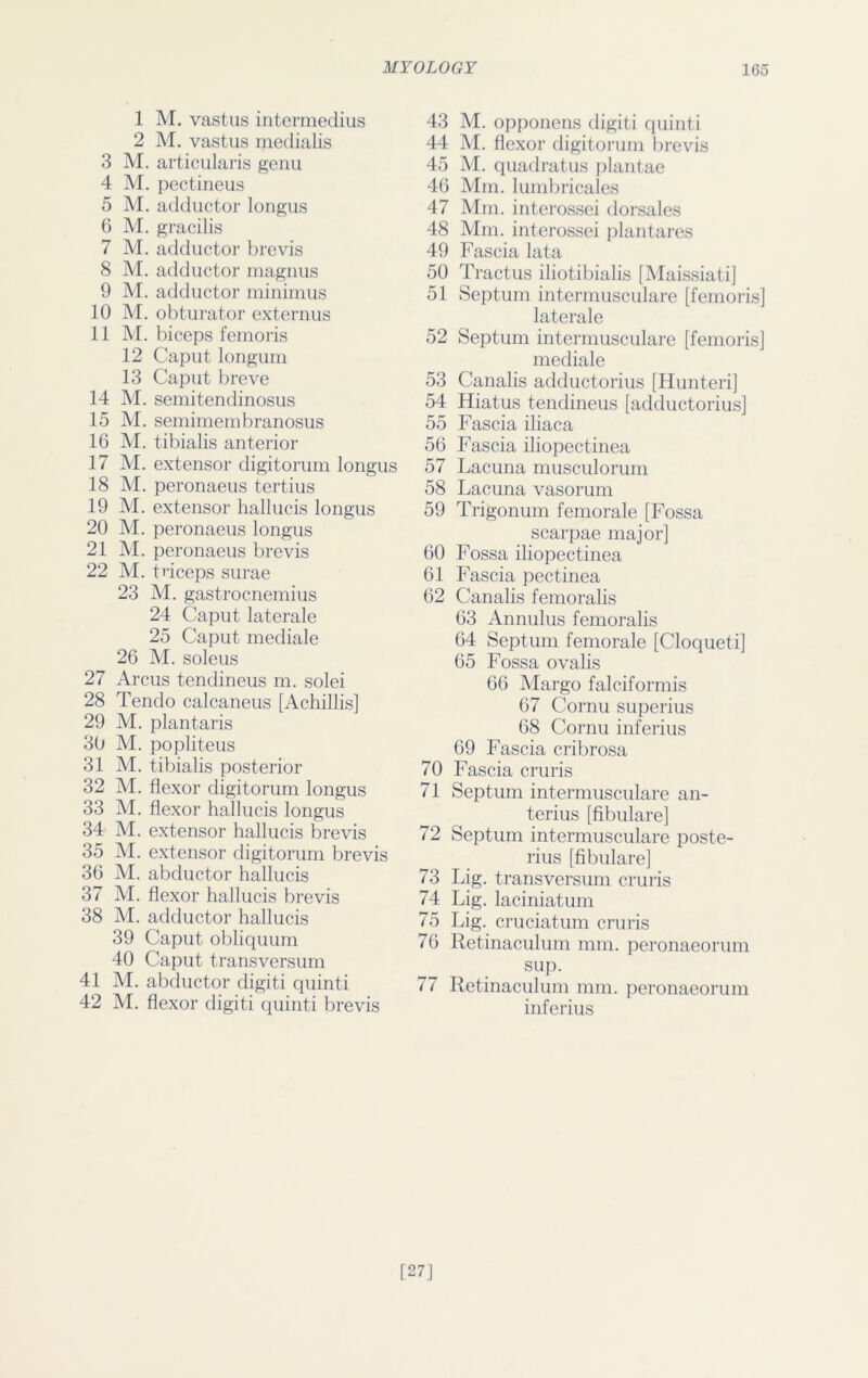 1 M. vastus intermedius 2 M. vastus medialis 3 M. articularis genu 4 M. pectineus 5 M. adductor longus 6 M. gracilis 7 M. adductor brevis 8 M. adductor magnus 9 M. adductor minimus 10 M. obturator externus 11 M. biceps femoris 12 Caput longum 13 Caput breve 14 M. semitendinosus 15 M. semimembranosus 16 M. tibialis anterior 17 M. extensor digitorum longus 18 M. peronaeus tertius 19 M. extensor hallucis longus 20 M. peronaeus longus 21 M. peronaeus brevis 22 M. triceps surae 23 M. gastrocnemius 24 Caput laterale 25 Caput mediale 26 M. soleus 27 Arcus tendineus m. solei 28 Tendo calcaneus [Achillis] 29 M. plantaris 30 M. popliteus 31 M. tibialis posterior 32 M. flexor digitorum longus 33 M. flexor hallucis longus 34 M. extensor hallucis brevis 35 M. extensor digitorum brevis 36 M. abductor hallucis 37 M. flexor hallucis brevis 38 M. adductor hallucis 39 Caput obliquum 40 Caput transversum 41 M. abductor digiti quinti 42 M. flexor digiti quinti brevis 43 M. opponens digiti quinti 44 M. flexor digitorum brevis 45 M. quadratus plantae 46 Mm. lumbricales 47 Mm. interossei dorsales 48 Mm. interossei plantares 49 Fascia lata 50 Tractus iliotibialis [Maissiati] 51 Septum intermusculare [femoris] laterale 52 Septum intermusculare [femoris] mediale 53 Canalis adductorius [Hunteri] 54 Hiatus tendineus [adductorius] 55 Fascia iliaca 56 Fascia iliopectinea 57 Lacuna musculorum 58 Lacuna vasorum 59 Trigonum femorale [Fossa scarpae major] 60 Fossa iliopectinea 61 Fascia pectinea 62 Canalis femoralis 63 Annulus femoralis 64 Septum femorale [Cloqueti] 65 Fossa ovalis 66 Margo falciform is 67 Cornu superius 68 Cornu inferius 69 Fascia cribrosa 70 Fascia cruris 71 Septum intermusculare an- terius [fibulare] 72 Septum intermusculare poste- rius [fibulare] 73 Lig. transversum cruris 74 Lig. laciniatum 75 Lig. cruciatum cruris 76 Retinaculum mm. peronaeorum sup. 77 Retinaculum mm. peronaeorum inferius [27]