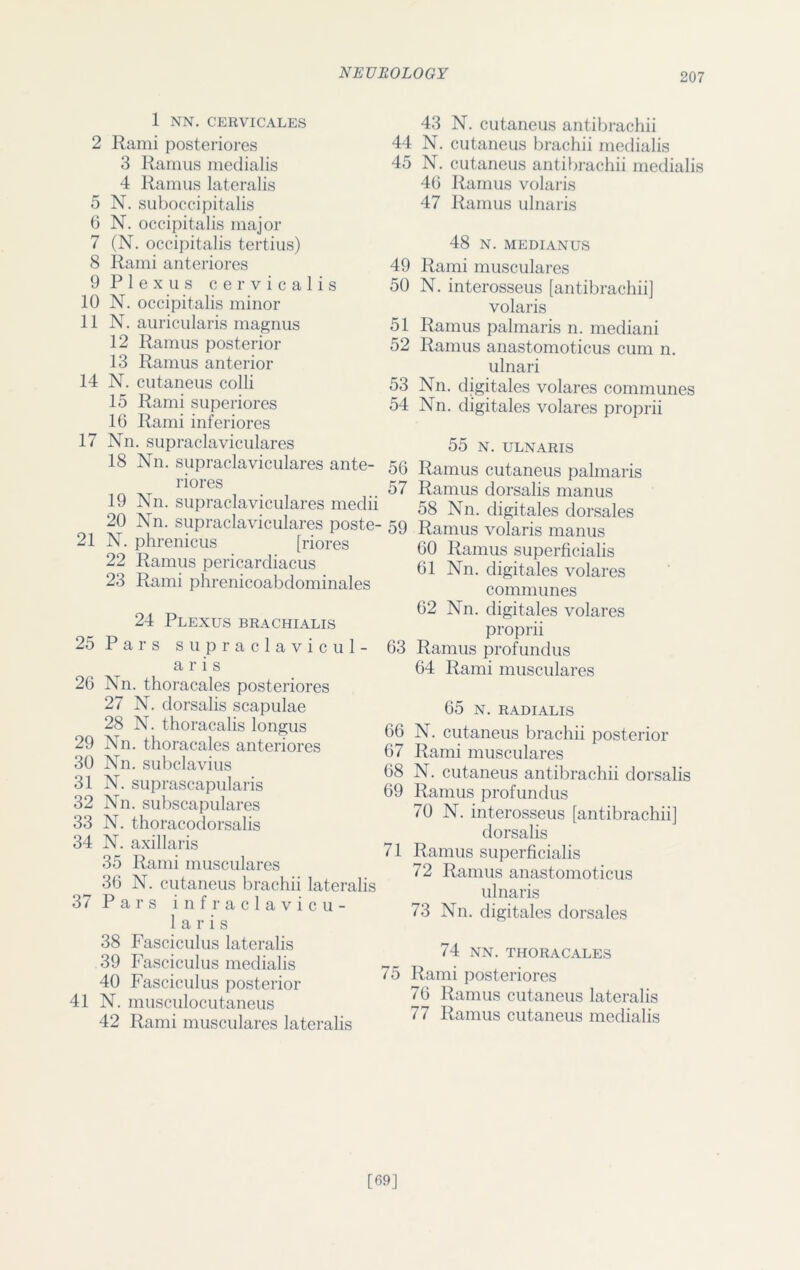 1 NN. CERVICALES 2 Rami posteriores 3 Ramus medialis 4 Ramus lateralis 5 N. suboccipitalis 6 N. occipitalis major 7 (N. occipitalis tertius) 8 Rami anteriores 9 Plexus cervicalis 10 N. occipitalis minor 11 N. auricularis magnus 12 Ramus posterior 13 Ramus anterior 14 N. cutaneus colli 15 Rami superiores 16 Rami inferiores 17 Nn. supraclaviculares 18 Nn. supraclaviculares ante- riores 19 Nn. supraclaviculares meclii 20 Nn. supraclaviculares poste- 21 N. phrenicus [riores 22 Ramus pericardiacus 23 Rami phrenicoabdominales 24 Plexus brachialis 25 Pars supraclavicul- ar i s 26 Nn. thoracales posteriores 27 N. dorsalis scapulae 28 N. thoracalis longus 29 Nn. thoracales anteriores 30 Nn. subclavius 31 N. suprascapularis 32 Nn. subscapulares 33 N. thoracodorsalis 34 N. axillaris 35 Rami musculares 36 N. cutaneus brachii lateralis 37 Pars infraclavicu- laris 38 Fasciculus lateralis 39 Fasciculus medialis 40 Fasciculus posterior 41 N. musculocutaneus 42 Rami musculares lateralis 43 N. cutaneus antibrachii 44 N. cutaneus brachii medialis 45 N. cutaneus antibrachii medialis 46 Ramus volaris 47 Ramus ulnaris 48 N. MEDIANUS 49 Rami musculares 50 N. interosseus [antibrachii] volaris 51 Ramus palmaris n. mediani 52 Ramus anastomoticus cum n. ulnari 53 Nn. digitales volares communes 54 Nn. digitales volares proprii 55 N. ULNARIS 56 Ramus cutaneus palmaris 57 Ramus dorsalis manus 58 Nn. digitales dorsales 59 Ramus volaris manus 60 Ramus superficialis 61 Nn. digitales volares communes 62 Nn. digitales volares proprii 63 Ramus profundus 64 Rami musculares 65 N. RADIALIS 66 N. cutaneus brachii posterior 67 Rami musculares 68 N. cutaneus antibrachii dorsalis 69 Ramus profundus 70 N. interosseus [antibrachii] dorsalis 71 Ramus superficialis 72 Ramus anastomoticus ulnaris 73 Nn. digitales dorsales 74 NN. THORACALES 75 Rami posteriores 76 Ramus cutaneus lateralis 77 Ramus cutaneus medialis [69]