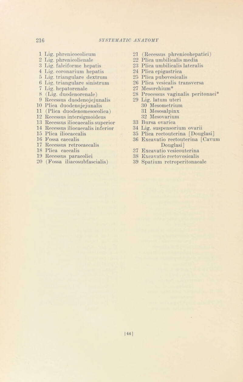 1 Lig. phrenicocolicum 2 Lig. phrenicolienale 3 Lig. falciforme hepatis 4 Lig. coronarium hepatis 5 Lig. triangulare dextrum 6 Lig. triangulare sinistrum 7 Lig. hepatorenale 8 (Lig. duodenorenale) 9 Reeessus duodenojejunalis 10 Plica duodenojejunalis 11 (Plica duodenomesocolica) 12 Reeessus intersigmoideus 13 Reeessus iliocaeealis superior 14 Reeessus iliocaeealis inferior 15 Plica iliocaeealis 16 Fossa caecalis 17 Reeessus retrocaecalis 18 Plica caecalis 19 Reeessus paracolici 20 (Fossa iliacosubfascialis) 21 (Reeessus phrenicohepatici) 22 Plica umbilicalis media 23 Plica umbilicalis lateralis 24 Plica epigastrica 25 Plica pubovesicalis 26 Plica vesicalis transversa 27 Mesorchium* 28 Processus vaginalis peritonaei* 29 Lig. latum uteri 30 Mesometrium 31 Mesosalpinx 32 Mesovarium 33 Bursa ovarica 34 Lig. suspensorium ovarii 35 Plica rectouterina [Douglasi] 36 Excavatio rectouterina [Cavum Douglasi] 37 Excavatio vesicouterina 38 Excavatio rectovesicalis 39 Spatium retroperitonaeale