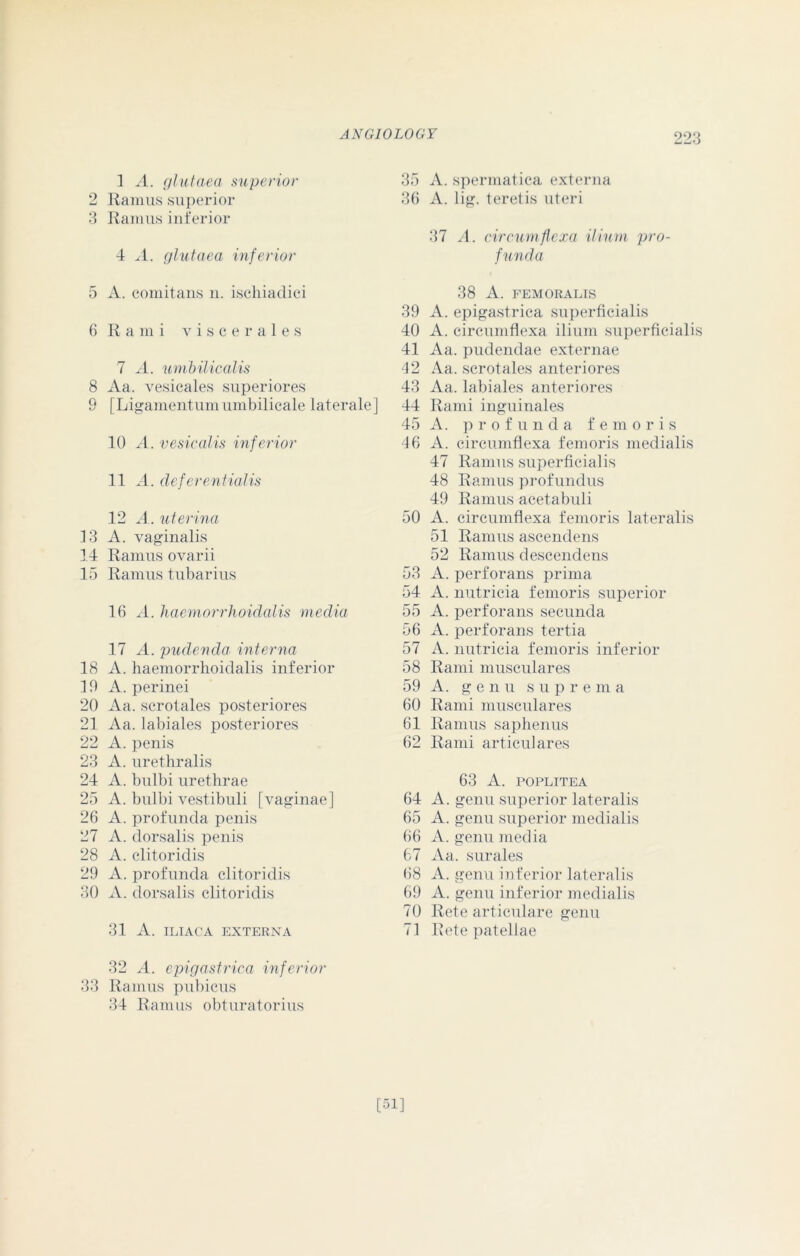 1 A. glutaea superior 2 Ramus superior 3 Ramus inferior 4 A. glutaea inferior 5 A. comitans n. ischiadici 6 Rami viscerales 7 A. umbilicalis 8 Aa. vesicales superiores 9 [Ligamentumumbilicale laterale] 10 A. vesicalis inferior 11 A. deferentialis 12 A. uterina 13 A. vaginalis 14 Ramus ovarii 15 Ramus tubarius 16 A. haemorrhoidalis media 17 A. pudenda interna 18 A. haemorrhoidalis inferior 19 A. perinei 20 Aa. scrotales posteriores 21 Aa. labiales posteriores 22 A. penis 23 A. urethralis 24 A. bulbi urethrae 25 A. bulbi vestibuli [vaginae] 26 A. profunda penis 27 A. dorsalis penis 28 A. clitoridis 29 A. profunda clitoridis 30 A. dorsalis clitoridis 31 A. ILIACA EXTERNA 32 A. epigastrica inferior 33 Ramus pubicus 34 Ramus obturatorius 35 A. spermatica externa 36 A. lig. teretis uteri 37 A. circumfiexa ilium pro- funda 38 A. FEMORALIS 39 A. epigastrica superficialis 40 A. circumfiexa ilium superficialis 41 Aa. pudendae externae 42 Aa. scrotales anteriores 43 Aa. labiales anteriores 44 Rami inguinales 45 A. profunda f e m o r i s 46 A. circumfiexa femoris medialis 47 Ramus superficialis 48 Ramus profundus 49 Ramus acetabuli 50 A. circumfiexa femoris lateralis 51 Ramus ascendens 52 Ramus descendens 53 A. perforans prima 54 A. nutricia femoris superior 55 A. perforans secunda 56 A. perforans tertia 57 A. nutricia femoris inferior 58 Rami musculares 59 A. genu suprema 60 Rami musculares 61 Ramus saphenus 62 Rami articulares 63 A. POPLITEA 64 A. genu superior lateralis 65 A. genu superior medialis 66 A. genu media 67 Aa. surales 68 A. genu inferior lateralis 69 A. genu inferior medialis 70 Rete articulare genu 71 Rete patellae