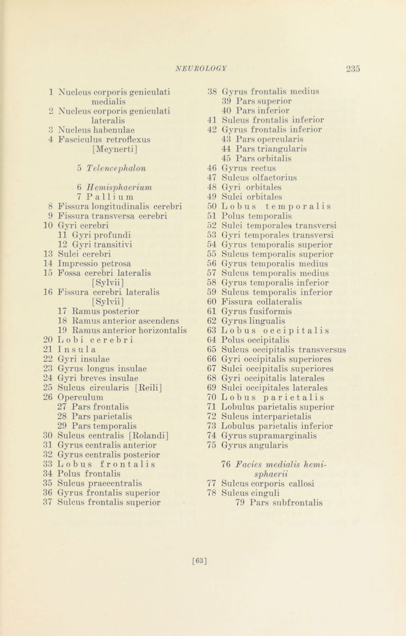 ] Nucleus corporis geniculati medialis 2 Nucleus corporis geniculati lateralis 3 Nucleus habenulae 4 Fasciculus retroflexus [Meynerti] 5 Telencephalon 6 Hemisphaerium 7 Pallium 8 Fissura longitudinalis cerebri 9 Fissura transversa cerebri 10 Gyri cerebri 11 Gyri profundi 12 Gyri transitivi 13 Sulci cerebri 14 Impressio petrosa 15 Fossa cerebri lateralis [Sylvii] 16 Fissura cerebri lateralis [Sylvii] 17 Ramus posterior 18 Ramus anterior ascendens 19 Ramus anterior horizontalis 20Lobi cerebri 21 Insula 22 Gyri insulae 23 Gyrus longus insulae 24 Gyri breves insulae 25 Sulcus circularis [Reili] 26 Operculum 27 Pars frontalis 28 Pars parietalis 29 Pars temporalis 30 Sulcus centralis [Rolandi] 31 Gyrus centralis anterior 32 Gyrus centralis posterior 33 Lob us frontalis 34 Polus frontalis 35 Sulcus praecentralis 36 Gyrus frontalis superior 37 Sulcus frontalis superior 38 Gyrus frontalis medius 39 Pars superior 40 Pars inferior 11 Sulcus frontalis inferior 42 Gyrus frontalis inferior 43 Pars opercularis 44 Pars triangularis 45 Pars orbitalis 46 Gyrus rectus 47 Sulcus olfactorius 48 Gyri orbitales 49 Sulci orbitales 50 Lob us temporalis 51 Polus temporalis 52 Sulci temporales transversi 53 Gyri temporales transversi 54 Gyrus temporalis superior 55 Sulcus temporalis superior 56 Gyrus temporalis medius 57 Sulcus temporalis medius 58 Gyrus temporalis inferior 59 Sulcus temporalis inferior 60 Fissura collateralis 61 Gyrus fusiformis 62 Gyrus lingualis 63 Lobus occipitalis 64 Polus occipitalis 65 Sulcus occipitalis transversus 66 Gyri occipitalis superiores 67 Sulci occipitalis superiores 68 Gyri occipitalis laterales 69 Sulci occipitales laterales 70 Lobus parietalis 71 Lobulus parietalis superior 72 Sulcus interparietalis 73 Lobulus parietalis inferior 74 Gyrus supramarginalis 75 Gyrus angularis 76 Facies medialis hemi- sphaerii 77 Sulcus corporis callosi 78 Sulcus cinguli 79 Pars subfrontalis [63]