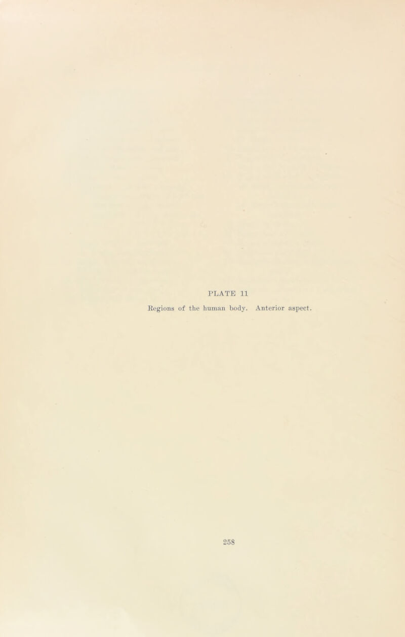 PLATE 11 Regions of the human body. Anterior aspect.