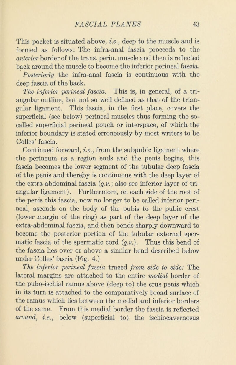 This pocket is situated above, i.e., deep to the muscle and is formed as follows: The infra-anal fascia proceeds to the anterior border of the trans. perin. muscle and then is reflected back around the muscle to become the inferior perineal fascia. Posteriorly the infra-anal fascia is continuous with the deep fascia of the back. The inferior jperineal fascia. This is, in general, of a tri- angular outline, but not so well defined as that of the trian- gular ligament. This fascia, in the first place, covers the superficial (see below) perineal muscles thus forming the so- called superficial perineal pouch or interspace, of which the inferior boundary is stated erroneously by most writers to be Colies’ fascia. Continued forward, i.e., from the subpubic ligament where the perineum as a region ends and the penis begins, this fascia becomes the lower segment of the tubular deep fascia of the penis and thereby is continuous with the deep layer of the extra-abdominal fascia (q.v.; also see inferior layer of tri- angular ligament). Furthermore, on each side of the root of the penis this fascia, now no longer to be called inferior peri- neal, ascends on the body of the pubis to the pubic crest (lower margin of the ring) as part of the deep layer of the extra-abdominal fascia, and then bends sharply downward to become the posterior portion of the tubular external sper- matic fascia of the spermatic cord (q.v.). Thus this bend of the fascia lies over or above a similar bend described below under Colles’ fascia (Fig. 4.) The inferior perineal fascia traced from side to side: The lateral margins are attached to the entire medial border of the pubo-ischial ramus above (deep to) the crus penis which in its turn is attached to the comparatively broad surface of the ramus which lies between the medial and inferior borders of the same. From this medial border the fascia is reflected around, i.e., below (superficial to) the ischiocavernosus