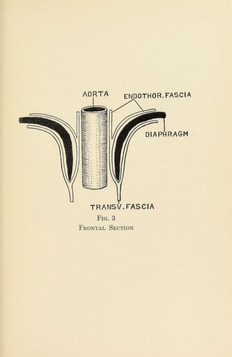 Fig. 3 Frontal Section