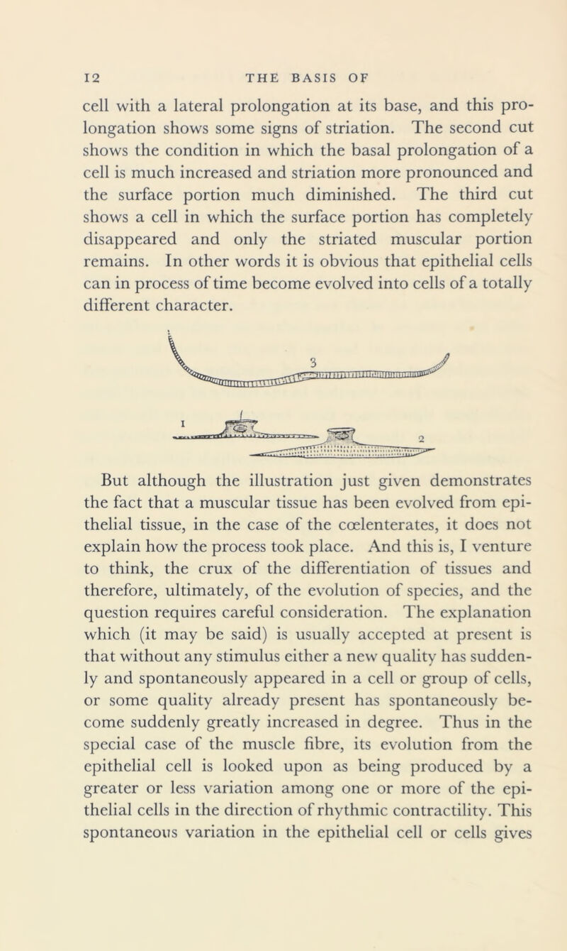 cell with a lateral prolongation at its base, and this pro- longation shows some signs of striation. The second cut shows the condition in which the basal prolongation of a cell is much increased and striation more pronounced and the surface portion much diminished. The third cut shows a cell in which the surface portion has completely disappeared and only the striated muscular portion remains. In other words it is obvious that epithelial cells can in process of time become evolved into cells of a totally different character. But although the illustration just given demonstrates the fact that a muscular tissue has been evolved from epi- thelial tissue, in the case of the coelenterates, it does not explain how the process took place. And this is, I venture to think, the crux of the differentiation of tissues and therefore, ultimately, of the evolution of species, and the question requires careful consideration. The explanation which (it may be said) is usually accepted at present is that without any stimulus either a new quality has sudden- ly and spontaneously appeared in a cell or group of cells, or some quality already present has spontaneously be- come suddenly greatly increased in degree. Thus in the special case of the muscle fibre, its evolution from the epithelial cell is looked upon as being produced by a greater or less variation among one or more of the epi- thelial cells in the direction of rhythmic contractility. This spontaneous variation in the epithelial cell or cells gives